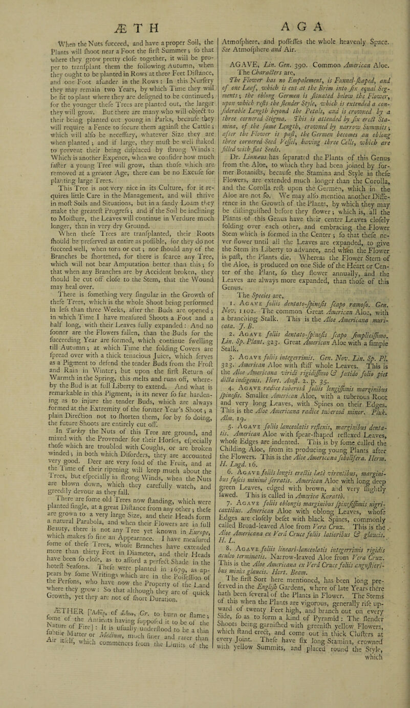 When the Nuts fucceed, and have a proper Soil, the Plants will fhoot near a Foot the firft Summer; fo that where they grow pretty clofe together, it will be pro¬ per to tranfplant them the following Autumn, when they ought to be planted in Rows at three Feet Diftance, and one Foot afunder in the Rows : In this Nurlery they may remain two Years, by which Time they will be fit to plant where they are defigned to be continued; for the younger thefe Trees are planted out, the larger they will grow. But there are many who will objeift to their being planted out young in Parks, becaufe they will require a Fence to fecure them againft the Cattle ; which v/ill alfo be neceffary, whatever Size they are when planted ; and if large, they muft be well flaked to' prevent their being ciifpiaced by ftrong Vv inds : Which is another Expence, when we confider how much fafler a young Tree will grow, than thofe which are removed at a greater Age, there can be no Excufe. lor planting large Trees. This Tree is not very nice in its Culture, for it re¬ quires little Care in the Management, and will thrive in molt Soils and Situations, but in a fandy Loam they make the greateft Progrefs ; and if the Soil be inclining to Moifture, the Leaves will continue in Verdure much longer, than in very dry Ground. When thefe Trees are tranfplanted, their Roots fhould be preferved as entire as poffible, for they do not fucceed well, when torn or cut; nor fhould any of the Branches be fhortened, for there is fcarce any Tree, which will not bear Amputation better than this; fo that when any Branches are by Accident broken, they fhould be cut off clofe to the Stem, that the Wound may heal over. There is fomething very fingular in the Growth of thefe Trees, which is the whole Shoot being performed in lefs than three Weeks, after the Buds are opened ; in which Time I have meafured Shoots a Foot and a half long, with their Leaves fully expanded : And no fooner are the Flowers fallen, than the Buds for the fucceeding Year are formed, which continue fwelling till Autumn; at which Time the folding Covers are fpread over with a thick tenacious J uice, which ferves as a Pigment to defend the tender Buds from the Froft and Rain in Winter; but upon the firft Return of Warmth in the Spring, this melts and runs off, where¬ by the Bud is at full Liberty to extend. And what is remarkable in this Pigment, is its never fo far harden¬ ing as to injure the tender Buds, which are always formed at the Extremity of the former Year’s Shoot; a plain Direction not to fhorten them, for by fo doing, the future Shoots are entirely cut off. In Turkey the Nuts of this Tree are ground, and mixed with the Provender for their ITorfes, efpecially thofe which are troubled with Coughs, or are broken winded; in both wnich Diforders, they are accounted very good. Deer are very fond of the Fruit, and at the Time of their ripening will keep much about the ir.es, but efpecially in llrong Winds, when the Nuts 21 e blown down, which they carefully v/atch, and greedily devour as they fall. There are fome old Trees now Handing, which were planted angle, at a great Diftance from any other ; thefe are grown to a very large Size, and their Heads form a natural Parabola, and when their Flowers are in full beauty, there is not any Tree yet known in Europe, winch makes fo fine an Appearance. I have meafured ome of thefe i rees, whole Branches have extended more than thirty Feet in Diameter, and their Heads have been fo dole, as to afford a perfetf: Shade in the hoteft Seafons. Thefe were planted in 1679, as ap¬ pears by iome Writings which are in the Poffdtfon of the Perfons, who have now the Property of the Land where they grow : So that although they are of quick Growth, yet they are not of fhort Duration. 4 ^TIrIE,R r’A‘% of **e«v, Gr. to burn or flame • NW of F- AimiintS harVin,g fupP°lki k Lo be the fuS Fir(?J : h IS Uluallf tmderftood to be a thin Sir ikuattT-T much «*» rarer than ■r itlclf, which commences from the Limits of the Atmofphere, and poffeffes the whole heavenly Space. See Atmofphere and Air. AGAVE, Lin. Gen. 390. Common American Aloe. The Characters are, Ehe Flower has no Empalement, is Funnel-fjaped, and of one Leaf, which is cut at the Brim into fix equal Seg¬ ments ; the oblong Germen is fituated below the Flower, upon which refs the flender Style, which is extended a con- Jiderable Length beyond the Petals, and is crowned by a three cornered Stigma. This is attended by fix ere ft Sta¬ mina, of the fame Length, crowned by narrow Summits; after the Flower is pafi, the Germen becomes an oblong three cornered Seed Vefi'el, having three Cells, which are filled with flat Seeds. Dr. Linneeus-has feparated the Plants of this Genus from the Aloe, to which they had been joined by for¬ mer Botanifts, becaufe the Stamina and Style in thefe Flowers, are extended much longer than the Corolla, and the Corolla reft upon the Germen, which in the Aloe are not fo. We may alfo mention another Diffe¬ rence in the Growth of the Plants, by which they may be diftinguifhed before they flower; which is, all the Plants of this Genus have their center Leaves clofely folding over each other, and embracing the Flower Stem which is formed in the Center ; fo that thefe ne¬ ver flower until ail the Leaves are expanded, to give the Stem its I.iberty to advance, and when the Flower is pall, the Plants die. Whereas the Flower Stem of the Aloe, is produced on one Side of the Heart or Cen¬ ter of the Plant, fo they flower annually, and the Leaves are always more expanded, than thofe of this Genus. The Species are, 1. Agave folds dentalo-fpincjis fcapo ramofo. Gen. Nov. 1102. The common Great American Aloe, with a branening Stalk. 1 his is the Aloe Americana muri- cata. J. B. 2. Agave folds dentato-fpinqfis fcapo fmpliciffimo. Lin. Sp. Plant. 323. Great American Aloe with a Ample Stalk. 3. Ac ave folds integerrimis. Gen. Nov. Lin. Sp. PI. 323. American Aloe with ftiff whole Leaves. This is the Aloe Americana viridi rigidiffmo CP festido folio piet dicta indigenis. Hort. Amft. 2. p. 35. 4. Agave radice tuber osd folds longiffimis mar fnil us fpinofis. Smaller American Aloe, with a tuberous Root and very long Leaves, with Spines on their Edges. This is the Aloe Americana radice tuber osd minor. Pluk. Aim. 19. _ 5- Agave folds lanceolatis reflexis, marginibus dent a- tis. American Aloe with fpear-fhaped reflexed Leaves, whofe Edges are indented. This is by fome called the Childing Aloe, from its producing young Plants after the Flowers. 1 his is the Aloe Americana fobolifera. Herm. H. Lugd. 16. 6. Agave folds longis ereCIis late viren tibus, margini¬ bus fufcis minime ferratis. American Aloe with long deep green Leaves, edged with brown, and very (lightly (awed. This is called in America Karatto. 7. Agave folds oblongis marginibus fpincfijjimis nigri- cantibus. American Aloe with oblong Leaves, whofe Edges are clofely befet with black Spines, commonly called Broad-leaved Aloe from Vera Cruz. This is the Aloe Americana ex Vera Cruce folds laticribus CP r lauds. H. L. & 8. Agave folds lineari-lanceolatis integerrimis rigidis aculeo terminatis. Narrow-leaved Aloe from Vera Cruz. Tnis is the Aloe Americana ex Vera Cruce folds anguf icri- bus minus glaucis. Hcrt. Beam. r d he firft Sort here mentioned, has been long pre¬ served in the Englifh Gardens, where of late Years there hath been feveral of the Plants in Flower. The Stems of this when the Plants are vigorous, generally rife up- waid of twenty Feet high, and branch out on every Hue, fo as to iorm a kind of Pyramid : The (lender Shoots being garnifhed with greenifli yellow Flowers, which (land elect, and come out in thick Clufters at eveiy Joint. Thefe have fix long Stamina, crowned with yellow Summits, and placed round the Style, . which