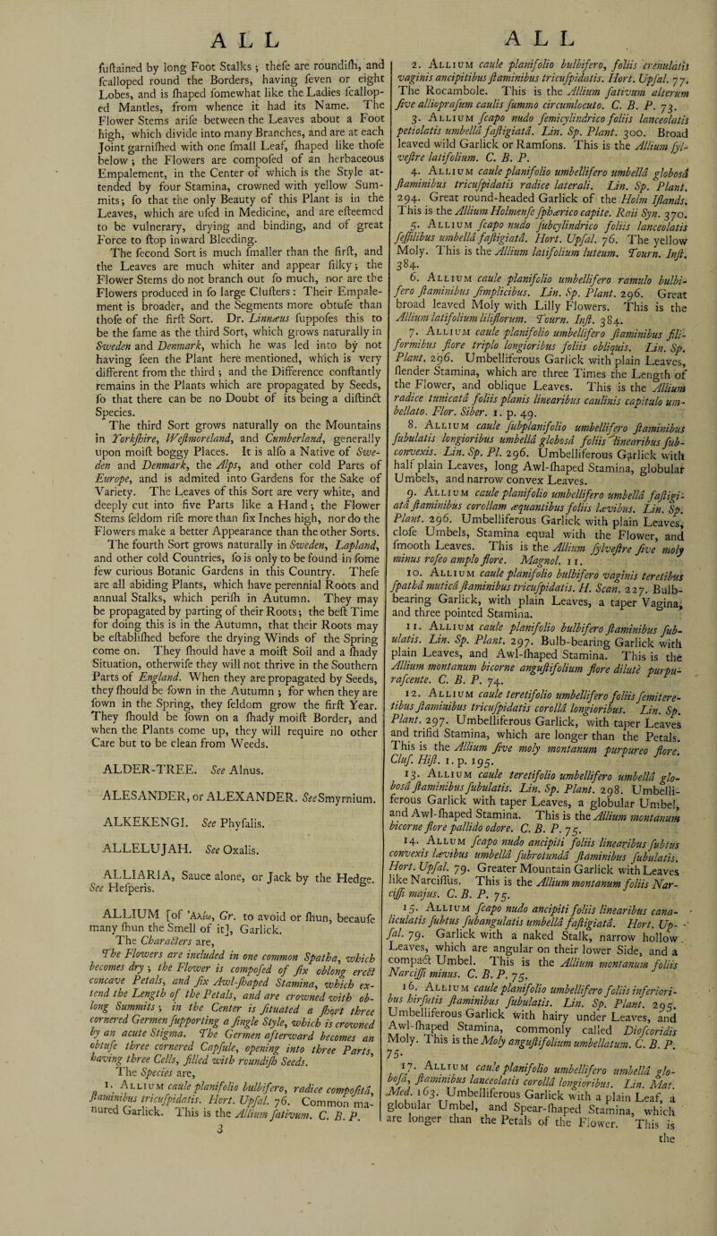 fuftained by long Foot Stalks; thefe are roundifh, and fc all oped round the Borders, having feven or eight Lobes, and is fhaped fomewhat like the Ladies fcallop- ed Mantles, from whence it had its Name. The Flower Stems arife between the Leaves about a Foot high, which divide into many Branches, and are at each Joint garnifhed with one fmall Leaf, fhaped like thofe below •, the Flowers are compofed of an herbaceous Empalement, in the Center of which is the Style at¬ tended by four Stamina, crowned with yellow Sum¬ mits ; fo that the only Beauty of this Plant is in the Leaves, which are ufed in Medicine, and are effeemcd to be vulnerary, drying and binding, and of great Force to flop inward Bleeding. The fecond Sort is much fmaller than the firft, and the Leaves are much whiter and appear filky; the Flower Stems do not branch out fo much, nor are the Flowers produced in fo large Clufters : Their Empale¬ ment is broader, and the Segments more obtufe than thofe of the firft Sort. Dr. Linnaus fuppofes this to be the fame as the third Sort, which grows naturally in Sweden and Denmark, which he was led into by not having feen the Plant here mentioned, which is very different from the third ; and the Difference conftantly remains in the Plants which are propagated by Seeds, fo that there can be no Doubt of its being a diftintft Species. The third Sort grows naturally on the Mountains in Torkjhire, Wefimor eland, and Cumberland, generally upon moift boggy Places. It is alfo a Native of Swe¬ den and Denmark, the Alps, and other cold Parts of Europe, and is admited into Gardens for the Sake of Variety. The Leaves of this Sort are very white, and deeply cut into five Parts like a Hand; the Flower Stems feldom rife more than fix Inches high, nor do the Flowers make a better Appearance than the other Sorts. The fourth Sort grows naturally in Sweden, Lapland, and other cold Countries, fo is only to be found in fome few curious Botanic Gardens in this Country. Thefe are all abiding Plants, which have perennial Roots and annual Stalks, which perilh in Autumn. They may be propagated by parting of their Roots; the beft Time for doing this is in the Autumn, that their Roots may be eftablilhed before the drying Winds of the Spring come on. They fhould have a moift Soil and a lhady Situation, otherwife they will not thrive in the Southern Parts of England. When they are propagated by Seeds, they fhould be fown in the Autumn ; for when they are fown in the Spring, they feldom grow the firft Year. They fhould be fown on a fhady moift Border, and when the Plants come up, they will require no other Care but to be clean from Weeds. ALDER-TREE. See Alnus. ALESANDER, or ALEXANDER. iSV^Smyrnium. ALKEKENGI. See Phvfalis. ALLELUJAH. See Oxalis. ALLIARIA, Sauce alone, or Jack by the Hedge. See Helperis. \ ALLIUM [of ’AaA, Gr. to avoid or fhun, becaufe many fhun the Smell of it], Garlick. The Characters are, The Flowers are included in one common Spatha, which becomes dry ; the Flower is compofed of fix oblong ereft concave Petals, and fix Awl-Jhaped Stamina, which ex¬ tend the Length of the Petals, and are crowned with ob¬ long Summits ; in the Center is fituated a ftoort three cornered Germen fupporting a Jingle Style, which is crowned by an acute Stigma. The Germen afterward becomes an obtufe three cornered Capfule, opening into three Parts having three Cells, filled with roundijh Seeds. The Species are, 1 • Allium cauleplanifolio bulbifero, radice compofitd ftaminibus tricufpidatis. Hort. Upfil. 76. Common ma¬ nured Garlick. 1 his is the Allium fativum. C. B. P. 3 2. Allium caule planifolio bulbifero, foliis crenuldth vaginis ancipitibusftaminibus tricufpidatis. Hort. Upfil. yy. The Rocambole. This is the Allium fativum alterum five allioprafim caulis fimmo circumlocuto. C. B. P. 73. 3. Allium fcapo nuclo femicylindrico foliis lanceolatis petiolatis umbelld fajligiat a. Lin. Sp. Plant. 300. Broad leaved wild Garlick or Ramfons. This is the Allium fyU v eft re latifolium. C. B. P. 4. Allium caule planifolio umbellifero umbelld globosd ftaminibus tricufpidatis radice laterali. Lin. Sp. Plant, 294. Great round-headed Garlick of the Holm IJlands. This is the Allium Holmenfe fphterico capite. Raii Syn. 370. 5. Allium fcapo nudo fibcylindrico foliis lanceolatis fefiilibus umbelld faftigiata. Hort. Upfil. y6. The yellow Moly. This is the Allium latifolium luteum. Tourn. Inft. 384- 6. Allium caule planifolio umbellifero ramulo bulbi¬ fero ftaminibus fimplicibus. Lin. Sp. Plant. 296. Great broad leaved Moly with Lilly Flowers. This is the Allium latifolium liliflorum. I’cum. Inft. 384. 7. Allium caule planifolio umbellifero ftaminibus fili- formibus flore triplo longioribus foliis obliquis. Lin. Sp. Plant. 296. Umbelliferous Garlick withplain Leaves, flender Stamina, which are three Times the Length of the Flower, and oblique Leaves. This is the ^Allium radice tunicata foliis planis linearibus caulinis capitulo um- bellato. Flor. Siber. 1. p. 49. 8. Allium caule fibplanifolio umbellifero ftaminibus fubulatis longioribus umbella globosd foliis linearibus fub- convexis. Lin. Sp. PI. 296. Umbelliferous Garlick with half plain Leaves, long Awl-lhaped Stamina, globular Umbels, and narrow convex Leaves. 9. Allium caule planifolio umbellifero umbelld faftigi- atd ftaminibus corollam xquantibus foliis H-vibus. Lin. Sp. Plant. 296. Umbelliferous Garlick with plain Leaves, clofe Umbels, Stamina equal with the Flower, and imooth Leaves. This is the Allium fylveftre five moly minus rofeo amplo flore. Magnol. 11. 10. Allium caule planifolio bulbifero vaginis teretibus fpathd muticd ftaminibus tricufpidatis. H. Scan. 227. Bulb¬ bearing Garlick, with plain Leaves, a taper Vagina, and three pointed Stamina. 11. Allium caule planifolio bulbifero ftaminibus fib- ulatis. Lin. Sp. Plant. 297. Bulb-bearing Garlick with plain Leaves, and Awl-fhaped Stamina. This is the Allium montanum bicorne anguftfolium flore dilute DurDu- rafcente. C. B. P. 74. 12. Allium caule t ere tifolio umbellifero foliis femitere- tibus ftaminibus tricufpidatis corolla longioribus. Lin. Sp. Plant. 297. Umbelliferous Garlick, with taper Leaves and trifid Stamina, which are longer than the Petals. This is the Allium five moly montanum purpureo flore. Cluf. Hift. 1. p. 195. 13. Allium caule t ere tif olio umbellifero umbelld glo¬ bosd ftaminibus fubulatis. Lin. Sp. Plant. 298. Umbelli¬ ferous Garlick with taper Leaves, a globular Umbel, and Awl-fhaped Stamina. This is that Allium montanum bicorne flore pallido odore. C. B. P. 75. 14* Allum fcapo nudo ancipiti foliis linearibus fibtus convexis Uvtbus umbelld fibrotundd ftaminibus fubulatis. Hort. Upfil. 79. Greater Mountain Garlick with Leaves like Narcifius. This is the Allium montanum foliis Nar- cijfi majus. C. B. P. 75. 15' Allium fcapo nudo ancipiti foliis linearibus cana- liculatis fubtus fubangulatis umbelld faftigiata. Hort. Up- ** fil. 79. Garlick with a naked Stalk, narrow hollow Leaves, which are angular on their lower Side, and a compact Umbel. This is the Allium montanum foliis Narcijfi minus. C. B. P. 75. 16. Allium caule planifolio umbellifero foliis inferiori- bus hirfitis ftaminibus fubulatis. Lin. Sp. Plant. 2 ay. Vmi^n!^^er°US ^ar^ck with hairy under Leaves, and Awl-fhaped . Stamina, commonly called Diofcoridis Moly. This is the Moly anguft folium umbella turn. C. B. P. 75- I?- Allivm caule planifolio umbellifero umbelld glo- boja, ftaminibus lanceolatis corolla longioribus. Lin. Mat Med 163 Umbelfiferous Garlick with a plain Leaf, a globular Umbel, and Spear-fhaped Stamina, which are longer than the Petals of the Flower. This is the