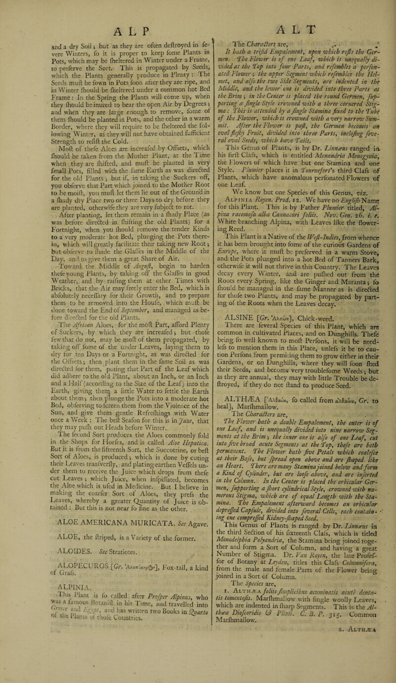 ALP ( t and a dry Soil; but as they are often deftroyed in fe- vere Winters, fo it is proper to keep fome Plants in Pots, which may be fheltered in Winter under a Frame, to preferve the Sort. This is propagated by Seeds, which the Plants generally produce in Plenty : The Seeds muft be fown in Pots loon after they are ripe, and in Winter fhould be fheltered under a common hot Bed Frame: In the Spring the Plants will come up,, when they fhould be inured to bear the open Air by Degrees; and when they are large enough to remove, fome of them fhould be planted in Pots, and the other in a warm Border, where they will require to be fheltered the fol¬ lowing Winter, as they will not have obtained fufficient Strength to refift the Cold. Moft of thefe Aloes are increafed by Offsets, which fhould be taken from the Mother Plant, at the I ime when they are fhifted, and muft be planted in very finall Pots, filled with the fame Earth as was directed for the old Plants •, but if, in taking the Suckers off, you obferve that Part which joined to the Mother Root to be moift, you muft let them lie out of the Ground in a fhady dry Place two or three Days to dry before they are planted, otherwife they are very fubjeft to rot. After planting, let them remain in a fhady Place (as was before directed in flail ting the old Plants) for a Fortnight, when you fhould remove the tender Kinds to a very moderate hot Bed, plunging the Pots there¬ in, which will greatly facilitate their taking new Root; but oblerve to fhade the Glafles in the Middle of the Day, and to give them a great Share of Air. Toward the Middle of Auguft, begin to harden thefe young Plants, by taking off the Glafles in good WVather, and by railing them at other Times with Bricks, that the Air may freely enter the Bed, which is abfolutely neceflary for their Growth, and to prepare them to be removed into the Houfe, whicn muft be done toward the End of September, and managed as be¬ fore diredled for the old Plants. The African Aloes, for the moft Part, afford Plenty of Suckers, by which they are increafed; but thofe few that do not, may be moft of them propagated, by taking off fome of the under Leave?, laying them to dry for ten Days or a Fortnight, as was directed for the Offsets; then plant them in the fame Soil as was directed for them, pitting that Part of the Leaf which did adhere to the old Plant, about an Inch, or an Inch and a Half (according to the Size of the Leaf) into the Earth, giving then} a little Water to fettle the Earth about them; then plunge the Pots into a moderate hot Bed, obferving to fereen them from the Violence of the Sun, and give them gentle Refrefliings with Water once a Week : The belt Seafon for this is in June, that they may pulh out Heads before Winter.. ft he fecond Sort produces the Aloes commonly fold in the Shops for Horfes, and is called Aloe Hepatica. But it is from the fifteenth Sort, the Succotrine, or belt Sort of Aloes, is produced; which is done by cutino- their Leaves traniverfly, and plating earthen Veffels un° der them to receive the Juice which drops from thefe cut Leaves ; which Juice, when infpiffated, becomes the Aloe which is ufed in Medicine. But I believe in making the coarfer Sort of Aloes, they prefs the Leaves, whereby a greater Quantity of Juice is ob¬ tained : But this is not near fo fine as the other. ALOE AMERICANA MURICATA. See A gave. ALOE, the ftriped, is a Variety of the former. ALOIDES. See Stratiotes. ALOPECUROS [Gr. ’Axo^ics^], F’ox-tail, a kind of Grafs. ALPINIA. This Plant is fo called after Profper Alpinus, who was a famous Botanift in his Time, and travelled into irLeu.e rajul Egypt* and has written two Books in Quarto 01 1 Luts of thofe Countries. ALT The Characters are, v« • J It hath a trifid Ernpalement, upon which rejls the Gcr- men. The Flower is of one Leaf which is unequally di¬ vided at the Top into four Parts, and refembles a perfon- ated Flower ; the upper Segment which refembles the Hel¬ met, and alfo the two Side Segments, are indented in the Middle, and the lewer one is divided into three Parts at the Brim ; in the Center is placed the round Germen, fup¬ per ting a Jingle Style crowned with a three cornered Stig¬ ma : This is attended by a Jingle Stamina fixed to the Tube of the Flower, which is crowned with a very narrow Sum¬ mit. After the Flower is paft, the Germen becomes an oval flejhy Fruit, divided into three Parts, incloftng feve- ral oval Seeds, which have Tails. This Genus of Plants, is by Dr. Linn'aus ranged irv his firft Clafs, which is entitled Monandria Monogynia, the Flowers of which have but one Stamina and one Style. Plumier places it in Tourneforfs third Clafs of Plants, which have anomalous perfonated Flowers of one Leaf. We know but one Species of this Genus, viz. Alpinia Royen. Prod. 12. We have no EnglijhName for this Plant. This is by Father Plumier titled. Al¬ pha racemofa alba C-annacori foliis. Nov. Gen. 26. i. e. White branching Alpina, with Leaves like the flower¬ ing Reed. I his Plant is a Native of the hVefl-Indies, from whence it has been brought into fome of the curious Gardens of Europe, where it muft be preferved in a warm Stove, and the Pots plunged into a hot Bed of Tanners Bark, otherwife it will not thrive in this Country. The Leaves decay every Winter, and are pufhed out from the Roots every Spring, like the Ginger and Maranta; fo fhould be managed in the lame Manner as is directed for thofe two Plants, and may be propagated by part¬ ing of the Roots when the Leaves decay. ALSINE [Gr. ’AAo-iV], Chick-weed. There are feveral Species of this Plant, which are common in cultivated Places, and on Dunghills. Thefe being fo well known to moft Perfons, it will be need- lefs to mention them in this Place, unlefs it be to cau¬ tion Perfons from permking them to grow either in their Gardens, or on Dunghills, where they will foon Ihed their Seeds, and become very troublefome Weeds ; but as they are annual, they may with little Trouble be de¬ ftroyed, if they do not ftand to produce Seed. AIM HfEA [’AaW«, fo called from dxQAvie, Gr. to heal], Marlhmallow. The Characters are, The Blower hath a double Ernpalement, the outer is of one Leaf, and is unequally divided into nine narrow Seg¬ ments at the Brim; the inner one is alfo of one Leaf, cut into five broad acute Segments at the Top, thefe are both permanent. The Flower hath five Petals which coalefce at their Bafe, but fpread open above and are Jhaped like an Heart. There are many Stamina joined below and form a Kind of Cylinder, but are loofe above, and are inferted in the Column. In the Center is placed the orbicular Ger¬ men, fupporting a fhort cylindrical Style, crowned with nu¬ merous Stigma, which are of equal Length with the Sta¬ mina. The Ernpalement afterward becomes an orbicular deprejjed Capfule, divided into feveral Cells, each contain- ' ing one comprejfed Kidney-Jhaped Seed. This Genus of Plants is ranged by Dr. Linnaeus in the third Section of his fixteenth Clafs, which is titled Monodelphia Polyandria, the Stamina being joined toge¬ ther and form a Sort of Column, and having a great Number of Stigma. Dr. Van Royen, the late Profef- for of Botany at Leyden, titles this Clafs Columnifera, from the male and female Parts of the F lower being joined in a Sort of Column. The Species are, 1. Althaea foliis Jimplicibus acuminatis acute denta- tis tomentofis. Marfhmaliow with Angle woolly Leaves, which are indented in ftiarp Segments. This is the Al- th*a Diofcoridis & Plinii. C. B. P. q k. Common Marfhmaliow.