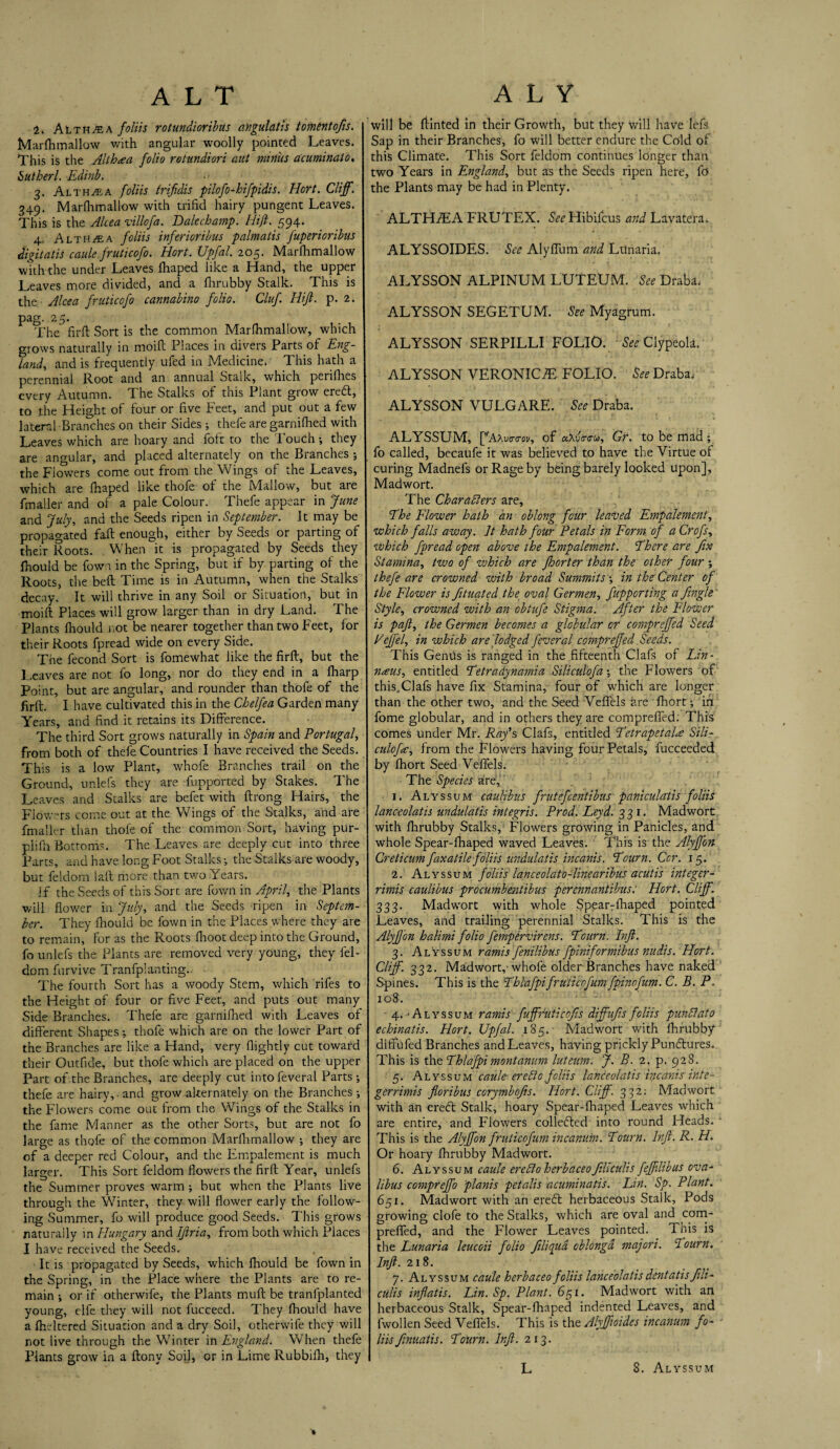 ALT Althaea foliis rotundioribus angulatis tomintofis. Marfhmallow with angular woolly pointed Leaves. This is the Althea folio rotundiori aut minus acuminata, but her l. Edinb. 3. Althaea foliis trifidis pilofo-hifpidis. Hort. Cliff. 349. Marfhmallow with trifid hairy pungent Leaves. This is the Alcea villofa. Balechamp. Hift. 594. 4 Althea foliis inferioribus palmatis fuperioribus digitalis caule. fruticofo. Hort. Upfal. 205. Marfhmallow withthe under Leaves fhaped like a Hand, the upper Leaves more divided, and a fhrubby Stalk. This is the Alcea fruticofo cannabino folio. Cluf. Hift. p. 2. pag. 25. The fir ft Sort is the common Marfhmallow, which grows naturally in moift Places in divers Parts of Eng¬ land, and is frequently ufed in Medicine. This hath a perennial Root and an annual Stalk, which perifhes every Autumn. The Stalks of this Plant grow eredl, to the Height of four or five Feet, and put out a few lateral Branches on their Sides; thefe are garnifhed with Leaves which are hoary and loft to the 1 ouch; they are angular, and placed alternately on the Branches ; the Flowers come out from the Wings of the Leaves, which are fhaped like thofe of the Mallow, but are fmaller and of a pale Colour. Thefe appear in June and July, and the Seeds ripen in September. It may be propagated faft enough, either by Seeds or parting of their Roots. , When it is propagated by Seeds they fhould be fown in the Spring, but if by parting of the Roots, the beft Time is in Autumn, when the Stalks decay. It will thrive in any Soil or Situation, but in moift Places will grow larger than in dry Land. The Plants fhould not be nearer together than two Feet, for their Roots fpread wide on every Side. The fecond Sort is fomewhat like the firft, but the Leaves are not fo long, nor do they end in a fharp Point, but are angular, and rounder than thofe of the firft. I have cultivated this in the Chelfea Garden many Years, and find it retains its Difference. The third Sort grows naturally in Spain and Portugal, from both of thefe Countries I have received the Seeds. This is a low Plant, whofe Branches trail on the Ground, unlefs they are fupported by Stakes. The Leaves and Stalks are befet with ftrong Hairs, the Flowers come out at the Wings of the Stalks, and are fmaller than thofe of the common Sort, having pur- plifh Bottoms. The Leaves are deeply cut into three Parts, and have long Foot Stalks; the Stalks are woody, but feldom laft more than two Years. If the Seeds of this Sort are fown in April, the Plants will flower in July, and the Seeds ripen in Septem¬ ber. They fhould be fown in the Places where they are to remain, for as the Roots fhoot deep into the Ground, fo unlefs the Plants are removed very young, they fel¬ dom furvive Tranfpianting.. The fourth Sort has a woody Stem, which rifes to the Height of four or five Feet, and puts out many Side Branches. Thefe are garnifhed with Leaves of different Shapes; thofe which are on the lower Part of the Branches are like a Hand, very (lightly cut toward their Outfide, but thofe which are placed on the upper Part of the Branches, are deeply cut into feveral Parts ; thefe are hairy,, and grow alternately on the Branches ; the Flowers come out from the Wings of the Stalks in the fame Manner as the other Sorts, but are not fo large as thofe of the common Marfhmallow •, they are of a deeper red Colour, and the Empalement is much larger. This Sort feldom flowers the firft Year, unlefs the Summer proves warm ; but when the Plants live through the Winter, they will flower early the follow¬ ing Summer, fo will produce good Seeds. This grows naturally in Hungary and Iftria, from both which Places I have received the Seeds. It is propagated by Seeds, which fhould be fown in the Spring, in the Place where the Plants are to re¬ main ; or if otherwife, the Plants muft be tranfplanted young, elfe they will not fucceed. They fhould have a fheltered Situation and a dry Soil, otherwife they will not live through the Winter in England. When thefe Plants grow in a ftonv Soil, or in Lime Rubbifh, they A L Y will be ftinted in their Growth, but they will have Iefs Sap in their Branches, fo will better endure the Cold of this Climate. This Sort feldom continues longer than two Years in England, but as the Seeds ripen here, fo the Plants may be had in Plenty. ALTHAiA FRUTEX. See Hibifcus and Lavatera. ALYSSOIDES. See Alyffum and Ltfnaria. ALYSSON ALPINUM LUTEUM. See Draba. ALYSSON SEGETUM. See Myagrum. ALYSSON SERPILLI FOLIO. See Clypeola. ALYSSON VERONICAS FOLIO. See Draba, ALYSSON VULGARE. See Draba. ALYSSUM, [’'Aauc-o-o!/, of aXvirirco, Gr. to be mad; fo called, becaufe it was believed to have the Virtue of curing Madnefs or Rage by being barely looked upon], Madwort. The Characters are, The Flower hath an oblong four leaved Empalement, which falls away. Jt hath four Petals in Form of a Crofs, which fpread open above the Empalement. There are fix Stamina, two of which are fhorter than the other four ; thefe are crowned with broad Summits; in the Center of the Flower is fituated the oval Germen, fupperting a fingle' Style, crowned with an obtufe Stigma. After the Flower is paft, the Germen becomes a globular or compreffed Seed Pejfel, in which are [lodged feveral compreffed .Seeds. This Genhs is ranged in the fifteenth Clafs of Lin¬ naeus, entitled Tetradynamia Siliculofa; the Flowers of this,Clafs have fix Stamina, four of which are longer than the other two, and the Seed Veflels are 'fhort; in fome globular, and in others they are compreffed. This comes under Mr. Ray’s Clafs, entitled Tetrapetala Sili¬ culofa, from the Flowers having four Petals, fucceeded by fhort Seed Veflels. The Species are, 1. Alyssum caulibus frutefeentibus paniculatis foliis lanceolatis undulatis integris. Prod. Leyd. 331. Madwort with fhrubby Stalks, Flowers growing in Panicles, and whole Spear-fhaped waved Leaves. This is the Alyffon Creiicum faxatile foliis undulatis incanis. Tourn. Ccr. 15. 2. Alyssum foliis lanceolato-linearibus acutis integer - rimis caulibus procumbentibus perennantibus: Hort. Cliff. 333. Madwort with whole Spear7fhaped pointed Leaves, and trailing perennial Stalks. This is the Alyffon halimi folio fempervirens. Tourn. lift. 3. Alyssum ramis fenilibus fpiniformibus nudis. Hort. Cliff 332. Madwort,-whofe older Branches have naked Spines. This is the Thlafpifruticofum fpinofum. C. B. P. 108. 4. 'Alyssum ramis fuffruticofis diffufis foliis pun Cl at 0 echinatis. Hort. Upfal. 185. Madwort with fhrubby diffufed Branches and Leaves, having prickly Pundtures. This is the Thlafpimontanum luteum. J. B. 2. p. 928. 5. Alyssum caule- ereCic foliis lanceolatis incanis inte- gerrimis floribus corymbofis. Hort. Cliff. 332: Madwort with an eredt Stalk, hoary Spear-fhaped Leaves which are entire, and Flowers colledted into round Heads. * This is the Alyffon fruticofum incanum. Tourn. lift. R. H. Or hoary fhrubby Madwort. 6. Alyssum caule ereClo herbaceofihculis feffilibus ova- libus compreffo planis petalis acuminatis. Lin. Sp. Plant. 65x. Madwort with an eredt herbaceous Stalk, Pods growing clofe to the Stalks, which are oval and com¬ preffed, and the Flower Leaves pointed. Tnis is the Lunaria leucoii folio filiqud oblongd majori. Tourn. Inft. 218. 7. Alyssum caule herbaceo foliis lanceolatis dent atis Jili- culis inflatis. Lin. Sp. Plant. 651. Madwort with an herbaceous Stalk, Spear-fhaped indented Leaves, and fwollen Seed Veflels. This is the Alyffioides incanum fo¬ liis fmnatis. ToUrn. Irft. 213. L 8. Alyssum