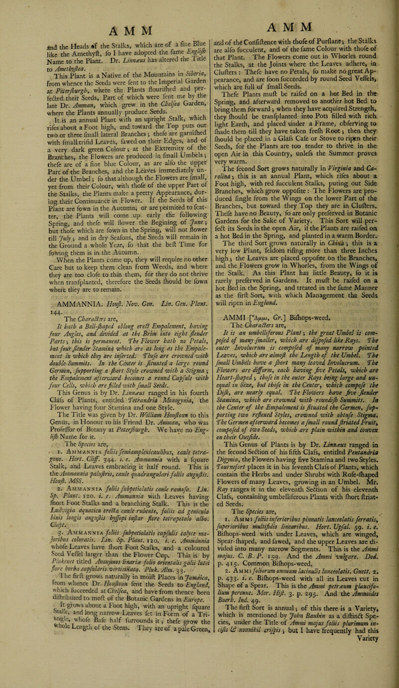 AMM and the Heads «f the Stalks, which are of a fine Blue like the Amethyft, lb I have adopted the fame Engiijh Name to the Plant. Dr. Limtaus has altered the Title to Amethyfiea. ...... This Plant is a Native of the Mountains in Liberia, from whence the Seeds were fent to the Imperial Garden at Peterjburgh, where the Plants flourifhed and per- fetted their Seeds, Part of which were fent me by the late Dr. Amman, which grew in the Chelfea Garden, where the Plants annually produce Seeds. It is an annual Plant with an upright Stalk, which rifes about a Foot high, and toward the T. op puts out two or three fmall lateral Branches ; thefe are garnifhed with fmall trifid Leaves, fawed on their Edges, and of a very dark green Colour * at the Extremity of the Branches, the Flowers are produced in fmall Umbels; thefe are of a fine blue Colour, as are all'o the upper Part of the Branches, and the Leaves immediately un¬ der the Umbel; fo that although the Flowers are fmall, yet from their Colour, with thofe of the upper Part of the Stalks, the Plants make a pretty Appearance, dur¬ ing their Continuance in Flower. If the Seeds of this Plant are fown in the Autumn, or are permited to fcat- ter, the Plants will come up early the following Spring, and thefe will flower the Begining of June \ but thofe which are fown in the Spring, will not flower till July \ and in dry Seafons, the Seeds will remain in the Ground a whole Year, fo that the belt Time for fowing them is in.the Autumn. When the Plants come up, they will require no other Care but to keep them clean From Weeds, and where they are too clofe to thin them, for they do not thrive when tranfplanted, therefore the Seeds fhould be fown where they are to remain. AMMANNIA. Houjl. Nov. Gen. Lin. Gen. Plant. 144. The Characters are. It hath a Bell-Jhaped oblong ere Cl Empalement, having four Angles, and divided at the Brim into eight Jlender Parts •, this is permanent. The Flower hath no Petals, but four f lender Stamina which are as long as the Empale¬ ment in which they are inferted. Thefe are crowned with double• Summits. In the Center is fituated a large round Germen, fupporting a jhort Style crowned with a Stigma the Empalement afterward becomes a round Capfule with four Cells, which are filled with fmall Seeds. This Genus is by Dr. Linnaeus ranged in his fourth Clafs of Plants, entitled Tetrandria Monogynia, the Flower having four Stamina and one Style. The Title was given by Dr. William Houftoun to this Genus, in Honour to his Friend Dr. Amman, who was Profefior of Botany at Peierfburgh. We have no Eng- lifh Name for it. The Species are, 1. Ammannia foliis femiamplexicaulibus, caule tetra- gono. Hart. Cliff. 344. i. e. Ammannia with a fquare Stalk, and Leaves embracing it half round. This is the Ammannia paluftris, caule quadrangulari foliis angufis. IIouJl. MSS. 2. Ammannia foliis fubpetiolatis caule ramofa. Lin. Sp. Plant. 120. i. e. Ammannia with Leaves having fhort Foot Stalks and a branching Stalk. This is the Ludvigia aquatica ereda cattle rubente, foliis ad genicula binis longis angujlis hyffopi injiar fiore tetrapetalo albo. Clayt. 3- Ammannia foliis fubpetiolatis capfulis calyce ma- joribus coloratis. Lin. Sp. Plant. 120. i. e. Ammannia whofe Leaves have fhort Foot Stalks, and a coloured Seed Veflel larger than the Flower Cup. This is by Ptukenet titled Anonymos linariat polio orient alls ''■alii lutei fiore herba capjularis. verticiUata. Pluk. Aim. 33? The firft: grows naturally in moift Places in Jamaica, from whence Dr. Houftoun fent the Seeds to England, which lucceeded at Chelfea, and have from thence been diftributed to moll of the Botanic Gardens in Europe. It grows about a hoot high, with an upright fquare btalk, and long narrow Leaves fet in Form of a Tri- fmgle, whofe Bale half lurrounds it; thefe grow the * 10 e length of the Stem. They are of a pale Green* AMM and of the Confidence with thofe of Purflane *, the Stalks are alfo fucculent, and of the fame Colour with thofe of that Plant. The Flowers come out in Whorles round the Stalks, at the Joints where the Leaves adhere, in Clufters : Thefe have no Petals, fo make no great Ap¬ pearance, and are foon fucceeded by round Seed Veffels, which are full of fmall Seeds. Thefe Plants mult be raifed on a hot Bed in the Spring, and afterward removed to another hot Bed to bring them forward ; when they have acquired Strength, they fhould be tranfplanted into Pots filled with rich light Earth, and placed Under a Frame, obferving to fliade them till they have taken frelh Root 5 then they fhould be placed in a Glafs Cafe or Stove to ripen their Seeds, for the Plants are too tender to thrive in the open Air in this Country, unlefs the Summer proves very warm. The lecond Sort grows naturally in Virginia and Ca¬ rolina \ this is an annual Plant, which rifes about a Foot high, with red fucculent Stalks, puting out Side Branches, which grow oppofite : The Flowers are pro¬ duced fingle from the Wings on the lower Part of the Branches, but toward they Top they are in Clufters. Thefe have no Beauty, fo are only preferved in Botanic Gardens for the Sake of Variety. This Sort will per¬ fect its Seeds in the open Air, if the Plants are raifed on a hot Bed in the Spring, and planted in a warm Border. The third Sort grows naturally in China ; this is a very low Plant, feldom riling more than three Inches high | the Leaves are placed oppofite on the ‘Branches, and the Flowers grow in Whorles, from the Wings of the Stalk. As this Plant has little Beauty, fo it is rarely preferved in Gardens. It muflr be raifed on a hot Bed in the Spring, and treated in the fame Manner as the firft Sort, with which Management the Seeds will ripen in England. AMMI [Wju-p, Gr.] Bifhops-weed. The Characters are, It is an umbelliferous Plant; the great XJmbel is com- pofed of many fmaller, which are difpofed like Rays. The outer Involucrum is compofed of many narrow pointed Leaves, which are almofi the Length of the Umbel. The fmall Umbels have a floort many leaved Involucrum. The Flowers are difform, each having five Petals, which are Heart-fhaped thofe in the outer Rays being large and un¬ equal in Size, but thofe in the Center, which compofe the JDiJk, are nearly equal. The Flowers have five Jlender Stamina, which are crowned with rottndijh Summits. In the Center of the Empalement is fituated the Germen, fup¬ porting two reflexed Styles, crowned with obtufe Stigma. The Germen afterward becomes a fmall round Jlriated Fruit, compofed of two Seeds, which are plain within and convex on their Outfide. This Genus of Plants is by Dr. Linnaeus ranged in the fecond Section of his fifth Clafs, entitled Pentandria Digynia, the Flowers having five Stamina and two Styles. Tournefort places it in his feventh Clafs of Plants, which contain the Herbs and under Shrubs with Rofe-fliaped Flowers of many Leaves, growing in an Umbel. Mr. Ray ranges it in the eleventh Sedition of his eleventh Clafs, containing umbelliferous Plants with fhort ftriat- ed Seeds. The Species are, 1. Am mi foliis inferioribus pinnatis lanceolatis ferr at is, fuperioribus multifdis linearibus. Hort. Upfal. 59. i. el Bifhops-weed with under Leaves, which are winged, Spear-fhaped, andfawed, and the upper Leaves are di¬ vided into many narrow Segments. This is the Ammi majus. C. B. P. 159. And the Ammi vulgare. Dod. p. 415. Common Bifhops-weed. 2. Ammi foliorum omnium lacinulis lanceolatis. Guett. 2. P* 433* *• e- Bifhops-weed with all its Leaves cut in Shape of a Spear. This is the Ammi petraum glaucifo- lium perenne. Mor. Hift. 3. p. 295. And the Ammoides Boerh. Ind. 49. 1 he firft Sort is annual •, of this there is a Variety, which is mentioned by John Bauhin as a diftindt Spe¬ cies, under the Title of Ammi majus foliis plurimum in- cifis & nomihil crifpis; but I have frequently had this Variety