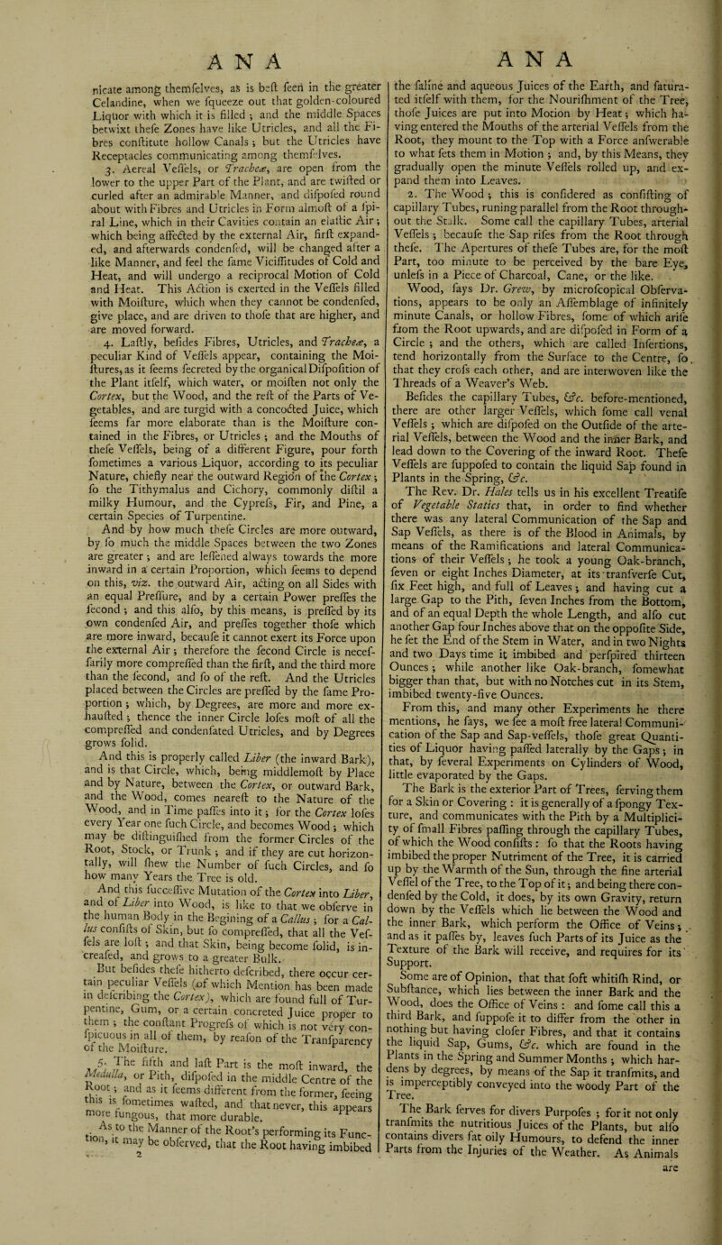 nicate among themfelves, aS is bed feeri in the greater Celandine, when we fqueeze out that golden-coloured LiqUor with which it is filled ; and the middle Spaces betwixt thefe Zones have like Utricles, and all the Fi¬ bres conftitute hollow Canals; but the Utricles have Receptacles communicating among themfelves. 3. Aereal Veffels, or ‘Trachea, are open irom the lower to the upper Part of the Plant, and are twilled or curled after an admirable Manner, and clifpofed round about with Fibres and Utricles in Form almoft ot a Spi¬ ral Line, which in their Cavities contain an elaftic Air; which being affedled by the external Air, fil'd expand¬ ed, and afterwards condenfed, will be changed alter a like Manner, and feel the fame Viciditudes ot Cold and Pleat, and will undergo a reciprocal Motion of Cold and Heat. This Adtion is exerted in the Veffels filled with Moidure, which when they cannot be condenfed, give place, and are driven to thole that are higher, and are moved forward. 4. Ladly, betides Fibres, Utricles, and Trachea, a peculiar Kind of Veffels appear, containing the Moi- ftures,as it feems fecreted by the organicalDifpofition of the Plant itfelf, which water, or moiden not only the Cortex, but the Wood, and the red of the Parts of Ve¬ getables, and are turgid with a concodted Juice, which feems far more elaborate than is the Moidure con¬ tained in the Fibres, or Utricles ; and the Mouths of thefe Veffels, being of a different Figure, pour forth fometimes a various Liquor, according to its peculiar Nature, chiefly near the outward Regio'n of the Cortex \ fo the Tithymalus and Cichory, commonly didil a milky Humour, and the Cyprefs, Fir, and Pine, a certain Species of Turpentine. And by how much thefe Circles are more outward, by fo much the middle Spaces between the two Zones are greater ; and are lelfened always towards the more inward in a certain Proportion, which feems to depend on this, viz. the outward Air, acting on all Sides with an equal Preffure, and by a certain Power preffes the fecond and this alfo, by this means, is preffed by its own condenfed Air, and preffes together thofe which are more inward, becaufe it cannot exert its Force upon the external Air ; therefore the fecond Circle is necef- farily more compreffed than the firft, and the third more than the fecond, and fo of the reft. And the Utricles placed between the Circles are preffed by the fame Pro¬ portion ; which, by Degrees, are more and more ex- haufted ; thence the inner Circle lofes moft of all the compreffed and condenfated Utricles, and by Decrees grows folid. 0 And this is properly called Liber (the inward Bark), and is that Circle, which, being middlemoft by Place and by Nature, between the Cortex, or outward Bark, and the Wood, comes neareft to the Nature of the Wood,^ and in Time paffes into it; for the Cortex lofes every 1 ear one fuch Circle, and becomes Wood ; which may be diftinguifhed from the former Circles of the Root, Stock, or Trunk ; and if they are cut horizon¬ tally, will fhew the Number of fuch Circles, and fo how many Years the Tree is old. And this lucceflive Mutation of the Cortex into Liber, and of Liber into Wood, is like to that we obferve in the human Body in the Begining of a Callus ; for a Cal¬ lus confifts of Skin, but fo compreffed, that all the Vef¬ fels are loft •, and that Skin, being become folid, is in- creafed, and grows to a greater Bulk. Lut befides thefe hitherto defcribed, there occur cer¬ tain peculiar Veffels (of which Mention has been made m defcribing the Cortex), which are found full of Tur¬ pentine, Gum, or a certain concreted Juice proper to them ; the conftant Progrefs of which is not very con- fpicuous in all of them, by reafon of the Tranfparency of the Moifture. r ] 5- ft be nfth and laft Part is the moft inward, t Medulla, or Pith, difpofed in the middle Centre of t Root; and as it feems different from the former, feeii this is fometimes wafted, and that never, this appea more fungous, that more durable. As to the Manner of the Root’s performing its Fun 0.1, it may be obferved, that the Root having imbib< the faline and aqueous Juices of the Earth, and fatura- ted itfelf with them, for the Nourifhment of the Tree, thofe Juices are put into Motion by Heat; which ha¬ ving entered the Mouths of the arterial Veffels from the Root, they mount to the Top with a Force anfwerable to what fets them in Motion ; and, by this Means, they gradually open the minute Veffels rolled up, and ex¬ pand them into Leaves. 2. The Wood ; this is confidered as confifting of capillary Tubes, runing parallel from the Root through¬ out the Stalk. Some call the capillary Tubes, arterial Veffels •, becaufe the Sap rifes from the Root through thefe. The Apertures of thefe Tubes are, for the moft Part, too minute to be perceived by the bare Eye, unlefs in a Piece of Charcoal, Cane, or the like. Wood, fays Dr. Grew, by microfcopical Obferva- tions, appears to be only an Affemblage of infinitely minute Canals, or hollow Fibres, fome of which arife from the Root upwards, and are difpofed in Form of a Circle ; and the others, which are called Infertions, tend horizontally from the Surface to the Centre, fo, that they crofs each other, and are interwoven like the Threads of a Weaver’s Web. Befides the capillary Tubes, C?c. before-mentioned, there are other larger Veffels, which fome call venal Veffels ; which are difpofed on the Outfide of the arte¬ rial Veffels, between the Wood and the inner Bark, and lead down to the Covering of the inward Root. Thefe Veffels are fuppofed to contain the liquid Sap found in Plants in the Spring, Cfc. The Rev. Dr. Hales tells us in his excellent Treatife of Vege table Statics that, in order to find whether there was any lateral Communication of the Sap and Sap Veffels, as there is of the Blood in Animals, by means of the Ramifications and lateral Communica¬ tions of their Veffels; fie took a young Oak-branch, feven or eight Inches Diameter, at its tranfverfe Cut, fix Feet high, and full of Leaves; and having cut a large Gap to the Pith, feven Inches from the Bottom, and of an equal Depth the whole Length, and alfo cut another Gap four Inches above that on the oppofite Side, he fet the End of the Stem in Water, and in two Nights and two Days time it imbibed and perfpired thirteen Ounces; while another like Oak-branch, fomewhat bigger than that, but with no Notches cut in its Stem, imbibed twenty-five Ounces. From this, and many other Experiments he there mentions, he fays, we fee a moft free lateral Communi¬ cation of the Sap and Sap-veffels, thofe great Quanti¬ ties of Liquor having paffed laterally by the Gaps ; in that, by feveral Experiments on Cylinders of Wood, little evaporated by the Gaps. The Bark is the exterior Part of Trees, ferving them for a Skin or Covering : it is generally of a fpongy Tex¬ ture, and communicates with the Pith by a Multiplici¬ ty of fmall Fibres paffing through the capillary Tubes, of which the Wood confifts : fo that the Roots having imbibed the proper Nutriment of the Tree, it is carried up by the Warmth of the Sun, through the fine arterial Veffel of the Tree, to the Top of it; and being there con¬ denfed by the Cold, it does, by its own Gravity, return down by the Veffels which lie between the Wood and the inner Bark, which perform the Office of Veins; and as it paffes by, leaves fuch Parts of its Juice as the Texture of the Bark will receive, and requires for its' Support. Some are of Opinion, that that foft whitifh Rind, or Subftance, which lies between the inner Bark and the Wood, does the Office of Veins : and fome call this a third Bark, and fuppofe it to differ from the other in nothing but having clofer Fibres, and that it contains the liquid Sap, Gums, Cfc. which are found in the I lants in the Spring and Summer Months ; which har¬ dens by degrees, by means of the Sap it tranfmits, and is impelceptibly conveyed into the woody Part of the Tree. The Baik ferves for divers Purpofes ; for it not only tranfmits the nutritious Juices of the Plants, but alfo contains divers fat oily Humours, to defend the inner Parts from the Injuries of the Weather, As Animals are