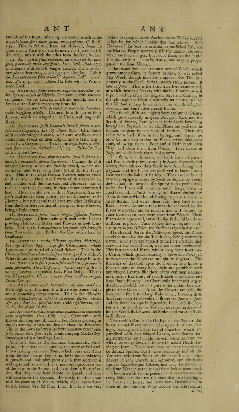 Outfide of the Rays, of a purple Colour, which is the Buphthalmum flore luteo fubtus purpurafcente. C. B. P. 134. This fo far as I have yet obferyed, feems no other than a Variety of the former; for I have had it rife twice, mixed with the other from the fame Seeds. 13. Anthemis foliis bipinnalis laciniis linearibus inte- gris, pedunculis nudis longiffimis. Flor. Leyd. Prod. 171. Chamomile with double winged Leaves, cut into nar¬ row whole Segments, and long naked Stalks. This is the Leucanthemum folio abfvnthii Alpinum Caffii. Boerh. Ind. Alt. 1. p. 107. Alpine Ox Eye with a Worm¬ wood Leaf. 14. An the mis foliis pinnat 0-compcfdis linearibus gla- bris fquamis calycis nitidiffimis. Chamomile with narrow, compound, winged Leaves, which are fmooth, and the Scales of the Empalement very beautiful. 15. An themis foliis pinnatifidis linearibus brevibus, radiis longiffimis trifidis. Chamomile with narrow fhort Leaves, which are winged at the Ends, and long trifid Rays. 16. Anthemis foliis bipinnatisferratis'fubtus tomen- tofis caule Corymbofo. Lin. Sp. Plant. 896. Chamomile with double winged Leaves, which are woolly on their under Side, fawed on their Edges, and a Stalk termi¬ nated by a Corymbus. This is the Buphthalmum Alpi¬ num fore candido. Triumfet. Obf 79. Alpine Ox Eye with a white Flower. 17. Anthemis foliis pinnatis acute ferratis fubtus fo¬ ment ojis, pedunculis forum longiffimis. Chamomile with winged Leaves, which are fharply fawed, woolly un¬ derneath, and very long Foot Stalks to the Flow¬ ers. This is the Buphthalmum Tanaceti minoris foliis. C. B. P. 134. There is a Variety of this with white, and another with Sulphur-coloured Flowers ; but as thefe change their Colours, fo they are not enumerated here. There are alfo two or three Varieties of Tourne- fort’s Ealtern Ox Eye, differing in the Colour of their Flowers ; but neither of thefe have any other Difference from the Sort here mentioned, except in their Flowers, being a little larger. 18. Anthemis foliis ovatis integris feffilibus floribus umbellatis fparfis. Chamomile with oval entire Leaves growing clofe to the Stalks, and Flowers in loofe Um¬ bels. This is the Leucanthemum Orientale cofii hortenfts folio. Tourn. Cor. 37. Eaflern Ox Eye with a L.eaf of Coaftmary. 19. Anthemis ere A a foliar urn apicibus fubfpinojis. Lin. Sp. Plant. 893. Upright Chamomile, whofe Leaves are terminated with fmall Spines. This is the Chamamelum leucanthemum Hifpanicwmmagno flore. C. B. P. White flowering SpanifhChamomile with a large Flower. 20. Anthemis foliis pinnatifidis laciniatis, pedunculis nudis fubvillojis. Hort. Cliff. 415- Chamomile with cut winged Leaves, and naked hairy Foot Stalks. This is the Chamamelum Chium vernum folio crafficre magno. Tourn, Cor. 37. 21. Anthemis caule decompofito calycibus ramiferis. Hort. Cliff. 413. Chamomile with a decompound Stalk, and a branching Empalement. This is the Afterifcus annuus trianthophorus Craffas Arabibus diilus. Shaw. Afr. 58. Annual Afterifcus with childing Flowers, cal¬ led by the Arabs Craffas. 22. Anthemis foliis trinernatis pedunculis terniinalilus ramo longioribus. Hort. Cliff. 414. Chamomile with Leaves dividing into threes, the Foot Stalks growing at the Extremity, which are longer than the Branches. This is the Chryfanihemwn paluflre minimum repens Apii folio. Sloan. Cat. Jam. 126. Lead creeping Marfh Chry- fanthemum with a Smallage Leaf. The Aril Sort is the common Chamomile, which grows in Plenty upon Commons, and other wafte Land., It is a trailing perennial Plant, which puts out Roots from the Branches as they lie on the Ground, whereby it fpreads and multiplies greatly ; fo that whoever is willing to cultivate this Plant, need only procure a few of the Slips in the Spring, and plant them a Foot afun- der, that they may have Room to fpread, and they will foon cover the Ground. Formerly this Plant was tiled for planting of Walks, which, when mowed and rolled, looked well for feme Time, but as it was very f fubjeft to decay in large Patches, fo the Walks became unfightly, for which Reafon this was dilulecl The Flowers of this Sort are ordered for medicinal Ufe, but the Market People generally fell the double Flowers, which are much larger, but not fo ftrong as the Angle. The double Sort is equally hardy, and may be propa- gatedin the fame Manner. The fecond Sort is a common annual Weed, which grows among Corn, it flowers in May, fo was called May Weed, though feme have applied that Title im¬ properly to the Cotula feetida, which rarely flowers till late in June. This is the third Sort here enumerated, of which there is a Variety with double Flowers, which is preferved by often planting the Slips and Cutings, fo that although the Plant is naturally an annual, yet by this Method it may be continued, as are the Cbryfan- themums, and feme other annual Plants. The fourth, fifth, and eighth Sorts are annual Plant?, which grow naturally in Spain, Portugal, Italy, and the South of France, from whence their Seeds have been brought to England, where the Plants are preferved in Botanic Gardens for the Sake of Variety. They rife eafily from Seeds fown in the Spring, and require no other Culture, but to thin the Plants, where they grow clofe, allowing them a Foot and a Half room each Way, and clean them from Weeds. They flower in July, and their Seeds ripen in September. The lixth, feventh, ninth, and tenth Sorts are peren¬ nial Plants, thefe grow naturally in Spain, Portugal, and Greece, from whence their Seeds have been brought to England, and the Plants are preferved in feme curious Gardens for the Sake of Variety. They are hardy and may be propagated either by Seeds or Slips, if by Seeds, they fhould be fown in the Spring upon poor Land, where the Plants will continue much longer than in good Ground. The Slips may be planted during any of the Summer Months, obferving to plant them in a fhady Border, and water them until they have taken Root. In the Autumn they may be removed to the Places where they are to remain, and will require no other Care but to keep them clean from Weeds. Thefe Plants do not grow tall,but are bufhy, fo fliould be allow¬ ed Room to grow. Their Flowers are white, and conti¬ nue from July to OElober, and the Seeds ripen in Autumn. The eleventh Sort is the Pellitory oi Spain, the Roots of which are ufed for the Tooth-ach, being extremely warm ; when they are applied to thePart affected, they draw out the cold Rheum, and are often ferviceable. This is a perennial Plant, with a long taper Root like a Carrot, which grows naturally in Spain and Portugal, from whence the Roots are brought to England. The Branches of this trail upon the Ground, and fpread a Foot or more on every Side, thefe are garnifhed with fine winged Leaves, like thofe of the common Chamo¬ mile, at the Extremity of each Branch is produced one large Angle Flov/er, like Chamomile but much larger, the Rays of which are ot a pure white within, but pur¬ ple on their Outfide. After the Flowers are paft, the Receptacle fwells to a large fcaly Cone ; between thefe Scales are lodged the Seeds ; it flowers in June and July, and the Seeds are ripe in September, but unlefs the Sea- fon is warm and dry, the Seeds do not ripen in England, for the Wet falls between the Scales, and rots the Seeds in Embryo. The twelfth Sort is the Ox Eye of the Shops; this is an annual Plant, which rifes upwards of two Feet high, fending out many iateral Branches, which are garnifhed with fine winged Leaves, each Branch be¬ ing terminated by a Angle Flower, which in feme are white, others yellow, and feme with naked Heads, ha¬ ving no Rays. Thefe have been by many fuppofed to be diftinCt Species, but I have frequently had all the Varieties arife from Seeds of the fame Plant. This flowers in July, Auguft, and September, and the Seeds ripen in September and October, and may be treated in the fame Manner as the annual Sorts before mentioned. The thirteenth Sort is perennial; it brandies out on every Side, but doth not rife more than two Feet high, the Leaves are hoary, and have feme Refemblancp to thofe of the common Wormwood ; the Flowers .ate U white.