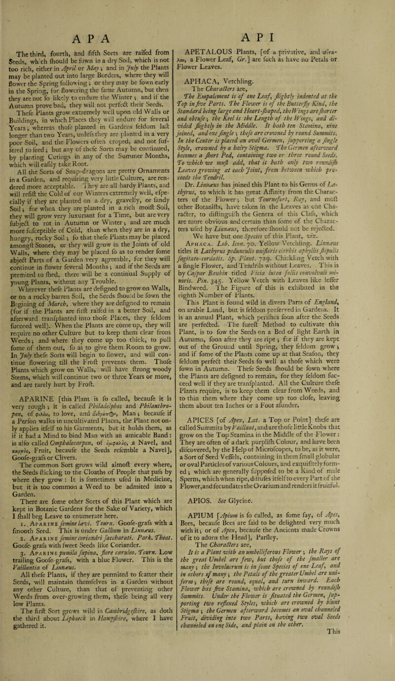 The third, fourth, and fifth Sorts are raifed from Seeds, wh'ch fhouid be fown in a dry Soil, which is not too rich, either in April or May ; and in July the Plants may be planted out into large Borders, where they will flower the Spring following ; or they may be fown early in the Spring, for flowering the fame Autumn, but then they are not fo likely to endure the Winter •, and it the Autumn prove bad, they will not perfed their Seeds. Thefe Plants grow extremely well upon old Walls or Buildings, in which Places they will endure for feveral Years j whereas thofe planted in Gardens feldom laft longer than two Years, unfels they are planted in a very poor Soil, and the Flowers often croped, and not buf¬ fered to feed ; but any of thefe Sorts may be continued, by planting Cutings in any of the Summer Months, which will eafily take Root. All the Sorts of Snap-dragons are pretty Ornaments in a Garden, and requiring very little Culture, are ren¬ dered more acceptable. They are all hardy Plants, and will refill the Cold of our Winters extremely well, efpe- cially if they are planted on a-dry, gravelly, or fandy Soil; for when they are planted in a rich moift Soil, they will grow very luxuriant for a Time, but are very fubjed to rot in Autumn or Winter; and are much more fufceptible of Cold, than when they are in a dry, hungry, rocky Soil ; fo that thefe Plants may be placed amongll Stones, or they will grow in the Joints of old Walls^ where they may be placed fo as to render fome abjed Parts of a Garden very agreeable, for they will continue in fiower feveral Months ; and if the Seeds are permited to filed, there will be a continual Supply of young Plants, without any Trouble. Wherever thefe Plants are defigned to grow on Walls, or on a rocky barren Soil, the Seeds fhouid be fown the Begining of March, where they are defigned to remain (for if the Plants are firft raifed in a better Soil, and afterward tranfplanted into thofe Places, they feldom fucceed well). When the Plants are come up, they will require no other Culture but to keep them clear from Weeds •, and where they come up too thick, to pull fome of them out, fo as to give them Room to grow. In July thefe Sorts will begin to flower, and will con¬ tinue flowering till the Froft prevents them. Thofe Plants which grow on Walls, will have ilrong woody Stems, which will continue two or three Years or more, and are rarely hurt by Froft. APAR1NE [this Plant is fo called, becaufe it is very rough ; it is called Philadelphos and Philanthro- pon, of pWco, to love, and Man ; becaufe if a Perfon walks in uncultivated Places, the Plant not on¬ ly applies itfelf to his Garments, but it holds them, as if it had a Mind to bind Man with an amicable Band: is alfo called Omphalocarpon, oi o^tpxXo^, a Navel, and xxpTrct, Fruit, becaufe the Seeds refemble a Navel], Goofe-grafs or Clivers. The common Sort grows wild almoft every where, the Seeds flicking to the Cloaths of People that pals by where they grow : It is lometimes ufed in Medicine, but it is too common a Weed to be admited into a Garden. There are fome other Sorts of this Plant which are kept in Botanic Gardens for the Sake of Variety, which I fhall beg Leave to enumerate here. 1. ^ApARINE faminelavi. Pourn. Goofe-grafs with a fmooth Seed. This is under Gallium in Linnceus. 2. Aparine femine coriandri faccharati. Park. Pheat. Goofe- grafs with fweet Seeds like Coriander. 3. Aparine pumila fupina, flore cceruleo. Pourn. Low trailing Goofe-grafs, with a blue Flower. This is the Vaillantia of Linnaeus. All thefe Plants, if they are permited to flatter their Seeds, will maintain themfelves in a Garden without any other Culture, than that of preventing other Weeds from over-growing them, thefe being all very low Plants. The firft Sort grows wild in Cambridgejkire, as doth the third about Liphoeck in Hampfhire, where I have gathered it. APETALOUS Plants, [of « privative, and rshx- tov, a Flower Leaf, Gr.] are fuch as have no Petals or Flower Leaves. APHACA, Vetchling. The Characters are, The Empalement is of one Leaf, Jlightly indented at the Pop in five Parts. Phe Flower is of the Butterfly Kind, the Standard being large and Heart-floaped, theWings arefhorter and obtufe ; the Keel is the Length of the Wings, and di¬ vided Jlightly in the Middle. It hath ten Staynina, vine joined, und one Jingle ; thefe are crowned by round Summits. In the Center is placed an oval Germen, J'upporting a fingle Style, crowned by a hairy Stigma. Phe Germen afterward becomes a Jhort Pod, containing two or three round Seeds. P0 which we yyiuft add, that it hath only two roundifh Leaves gr Giving at each Joint, from between which pro¬ ceeds the Pendril. Dr. Limueus has joined this Plant to his Genus of La- thyrus, to which it has great Affinity from the Charac¬ ters of the Flower; but Pournefort, Ray, and molt other Botanifts, have taken in the Leaves as one Cha¬ racter, to diftinguith the Genera of this Clafs, which are more obvious and certain than fome of the Charac¬ ters ufed by Linnaeus, therefore fhouid not be rejected. We have but one Species of this Plant, viz. Aphaca, Lob. Icon. 70. Yellow Vetchling. Linn<eus titles it Lathyrus pedunculis unifioris cirrhis aphyllis ftipulis fagitato-cordatis. Sp. Plant. 729. Chickling Vetch with a fingle Flower, and Tendrils without Leaves. This is by Cafpar Bauhin titled Vicia lutea foliis convolvuli mi¬ nor is. Pin. 345. Yellow Vetch with Leaves like lefier Bindweed. The Figure of this is exhibited in the eighth Number of Plants. This Plant is found wild in divers Parts of England, on arable Land, but is feldom preferved in Gardens. It is an annual Plant, which perifhes foon after the Seeds are perfected. The fureft Method to cultivate this Plant, is to fow the Seeds on a Bed of light Earth in Autumn, foon after they are ripe ; for if they are kept out of the Ground until Spring, they feldom grow ; and if fome of the Plants come up at that Seafon, they feldom perfect their Seeds fo well as thofe which were fown in Autumn. Thefe Seeds fhouid be fown where the Plants are defigned to remain, for they feldom fuc¬ ceed well if they are tranfplanted. All the Culture thefe Plants require, is to keep them clear from Weeds, and to thin them where they come up too dole, leaving them about ten Inches or a Foot afunder. APICES [of Apex, Lat. a Top or Point] the.fe are calledSummits by Vaillant, and are thofe little Knobs that grow on the Top Stamina in the Middle of the Flower : They are often of a dark purplifh Colour, and have been difcovered, by the Help of Microftopes, to be, as it were, a Sort of Seed Veffels, containing in them fmall globular or oval Particles of various Colours, and exquifitely form¬ ed ; which are generally fuppofed to be a Kind of male Sperm, which when ripe, diflufes itfelf to every Part of the Flower,andfecundates the Ovarium and renders it fruitful. APIOS. See Glycine. APIUM [.Apinm is fo called, as fome fay, of Apes, Bees, becaufe Bees are faid to be delighted very much with it; or of Apex, becaufe the Ancients made Crowns of it to adorn the Head], Parfley. The Characters are, It is a Plant with an umbelliferous Flower ; the Rays of the great Umbel are few, but thofe of the fmaller are many ; the Bivolucruyn is in fo'me Species of one Leaf, and in others of many ; the Petals of the greater Umbel are uni¬ form ; thefe are round, equal, and turn inward. Each Flower has five Stamina, which are crowned by roundifh Summits. Under the Flower is fituated the Gerynen, Jup- porting two reflexed Styles, which are crowned by blunt Stigyna ; the Germen afterward becornes an oval channeled Fruit, dividing into two Parts, having two oval Seeds channeled on one Side, and plain on the other. This