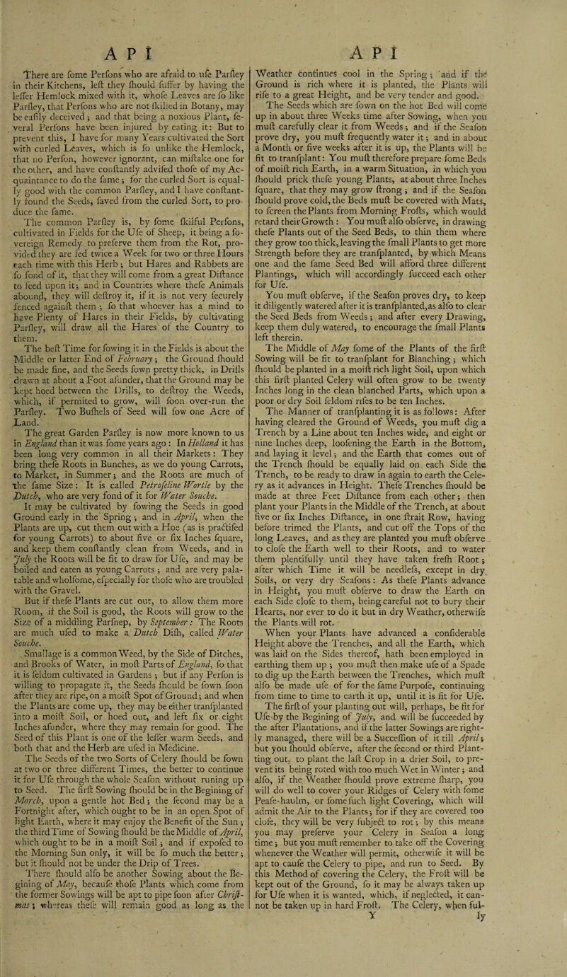 There are fome Perfons who are afraid to ufe Parfley in their Kitchens, left they fhould fuffer by, having the lefter Hemlock mixed with it, whofe Leaves are fo like Parfley, that Perfons who are not lkihed in Botany, may be eafily deceived ; and that being a noxious Plant, fe- veral Perfons have been injured by eating it: But to prevent this, I have for many Years cultivated the Sort with curled Leaves, which is fo unlike the Hemlock, that no Perfon, however ignorant, can miftake one for the other, and have conftantly advifed thofe of my Ac¬ quaintance to do the fame ; for the curled Sort is equal¬ ly good with the common Parfley, and I have conftant¬ ly found the Seeds, faved from the curled Sort, to pro¬ duce the fame. The common Parfley is, by fome fkilful Perfons, cultivated in Fields for the Life of Sheep, it being a fo- vereign Remedy to preferve them from the Rot, pro¬ vided they are fed twice a Week for two or three Flours each time with this Herb ; but Hares and Rabbets are fo fond, of it, that they will come from a great Diftance to feed upon it-, and in Countries where thefe Animals abound, they will deftroy it, if it is not very fecurely fenced againft them ; fo that whoever has a mind to h?.ve Plenty of Hares in their Fields, by cultivating Parfley, will draw all the Hares of the Country to them. The beft Time for fowing it in the Fields is about the Middle or latter End of February; the Ground fhould be made fine, and the Seeds fown pretty thick, in Drills drawn at about a Foot afunder, that the Ground may be kept hoed between the Drills, to deftroy the Weeds, which, if permited to grow, will foon over-run the Parfley. Two Bufhels of Seed will fow one Acre of .Land. The great Garden Parfley is now more known to us in England than it was fome years ago : In Holland it has been long very common in all their Markets: They bring thefe Roots in Bunches, as we do young Carrots, to Market, in Summer -, and the Roots are much of the fame Size : It is called Peirofeline Wor tie by the Hutch, who are very fond of it for Water Seuche. It may be cultivated by fowing the Seeds in good Ground early in the Spring ; and in April, when the Plants are up, cut them out with a Hoe fas is pradtifed for young Carrots) to about five or fix Inches fquare, and keep them conftantly clean from Weeds, and in July the Roots will be fit to draw for Ufe, and may be boiled and eaten as young Carrots and are very pala¬ table and wholfome, efpecially for thofe who are troubled with the Gravel. But if thefe Plants are cut out, to allow them more Room, if the Soil is good, the Roots will grow to the Size of a middling Parfnep, by September: The Roots are much ufed to make a Hutch Difh, called Water Souche. . Smaflage is a common Weed, by the Side of Ditches, and Brooks of Water, in moft Parts of England, fo that it is feldom cultivated in Gardens -, but if any Perfon is willing to propagate it, the Seeds fhould be fown foon after they are ripe, on a moift Spot of Ground; and when the Plants are come up, they may be either tranfplanted into a moift Soil, or hoed out, and left fix or eight Inches afunder, where they may remain for good. The Seed of this Plant is one of the lefter warm Seeds, and both that and the Herb are ufed in Medicine. The Seeds of the two Sorts of Celery fhould be fown at two or three different Times, the better to continue it for Ufe through the whole Seafon without runing up to Seed. The ftrft Sowing fhould be in the Begining of March, upon a gentle hot Bed; the fecond may be a Fortnight after, which ought to be in an open Spot of light Earth, where it may enjoy the Benefit of the Sun ; the third Time of Sowing fhould be the Middle of April, which ought to be in a moift Soil ; and if expofed to the Morning Sun only, it will be fo much the better; but it fhould not be under the Drip of Trees. There fhould alfo be another Sowing about the Be¬ gining of May, becaufe thofe Plants which come from the former Sowings will be apt to pipe foon after Chrift- mas i whereas thefe will remain good as long as the Weather continues cool in the Spring ; 'and if the Ground is rich where it is planted, the Plants will rife to a great Height, and be very tender and good. The Seeds which are fown on the hot Bed will come up in about three Weeks time after Sowing, when you muft carefully clear it from Weeds and if the Seafon prove dry, you muft frequently water it; and in about a Month or five weeks after it is up, the Plants will be fit to tranfplant: You muft therefore prepare fome Beds of moift rich Earth, in a warm Situation, in which you fhould prick thefe young Plants, at about three Inches fquare, that they may grow ftrong ; and if the Seafon fhould prove cold, the Beds muft be covered with Mats, to fereen the Plants from Morning Frofts, which would retard their Growth : You muft alfo obferve, in drawing thefe Plants out of the Seed Beds, to thin them where they grow too thick, leaving the fmall Plants to get more Strength before they are tranfplanted, by which Means one and the fame Seed Bed will afford three different Plantings, which will accordingly fueceed each other for Ufe. You muft obferve, if the Seafon proves dry, to keep it diligently watered after it is tranfplanted,as alfo to clear the Seed Beds from Weeds ; and after every Drawing, keep them duly watered, to encourage the fmall Plants left therein. The Middle of May fome of the Plants of the firft Sowing will be fit to tranfplant for Blanching ; which fhould be planted in a moift rich light Soil, upon which this firft planted Celery will often grow to be twenty Inches long in the clean blanched Parts, which upon a poor or dry Soil feldom riles to be ten Inches. The Manner of tranfplanting it is as follows: After having cleared the Ground of Weeds, you muft dig a Trench by a Line about ten Inches wide, and eight or nine Inches deep, loofening the Earth in the Bottom, and laying it level; and the Earth that comes out of the Trench fhould be equally laid on each Side the Trench, to be ready to draw in again to earth the Cele¬ ry as it advances in Height. Thefe Trenches fhould be made at three Feet Diftance from each other; then plant your Plants in the Middle of the Trench, at about five or fix Inches Diftance, in one ftrait Row, having before trimed the Plants, and cut off the Tops of the long Leaves, and as they are planted you muft obferve to clofe the Earth well to their Roots, and to water them plentifully until they have taken frefh Root; alter which Time it will be needlefs, except in dry Soils, or very dry Seafons: As thefe Plants advance in Fleight, you muft obferve to draw the Earth on each Side clofe to them, being careful not to bury their Hearts, nor ever to do it but in dry Weather, otherwife the Plants will rot. When your Plants have advanced a confiderable Fleight above the Trenches, and all the Earth, which was laid on the Sides thereof, hath been employed in earthing them up ; you muft then make ufe of a Spade to dig up the Earth between the Trenches, which muft alfo be made ufe of for the fame Purpofe, continuing from time to time to earth it up, until it is fit for Ufe. The firft of your planting out will, perhaps, be fit for Ufe by the Begining of July, and will be fucceeded by the after Plantations, and if the latter Sowings are right¬ ly managed, there will be a Succeflion of it till April; but you fhould obferve, after the fecond or third Plant- ting out. to plant the laft Crop in a drier Soil, to pre¬ vent its being roted with too much Wet in Winter; and alfo, if the Weather fhould prove extreme fharp, you will do well to cover your Ridges of Celery with fome Peafe-haulm, or fomefuch light Covering, which will admit the Air to the Plants; for if they are covered too clofe, they will be very fubjedt to rot; by this means you may preferve your Celery in Seafon a long time; but you muft remember to take off the Covering whenever the Weather will permit, otherwife it will be apt to caufe the Celery to pipe, and run to Seed. By this Method of covering the Celery, the Froft will be kept out of the Ground, fo it may be always taken up for Ufe when it is wanted, which, if negledted, it can¬ not be taken up in hard Froft. The Celery, when ful- Y ly