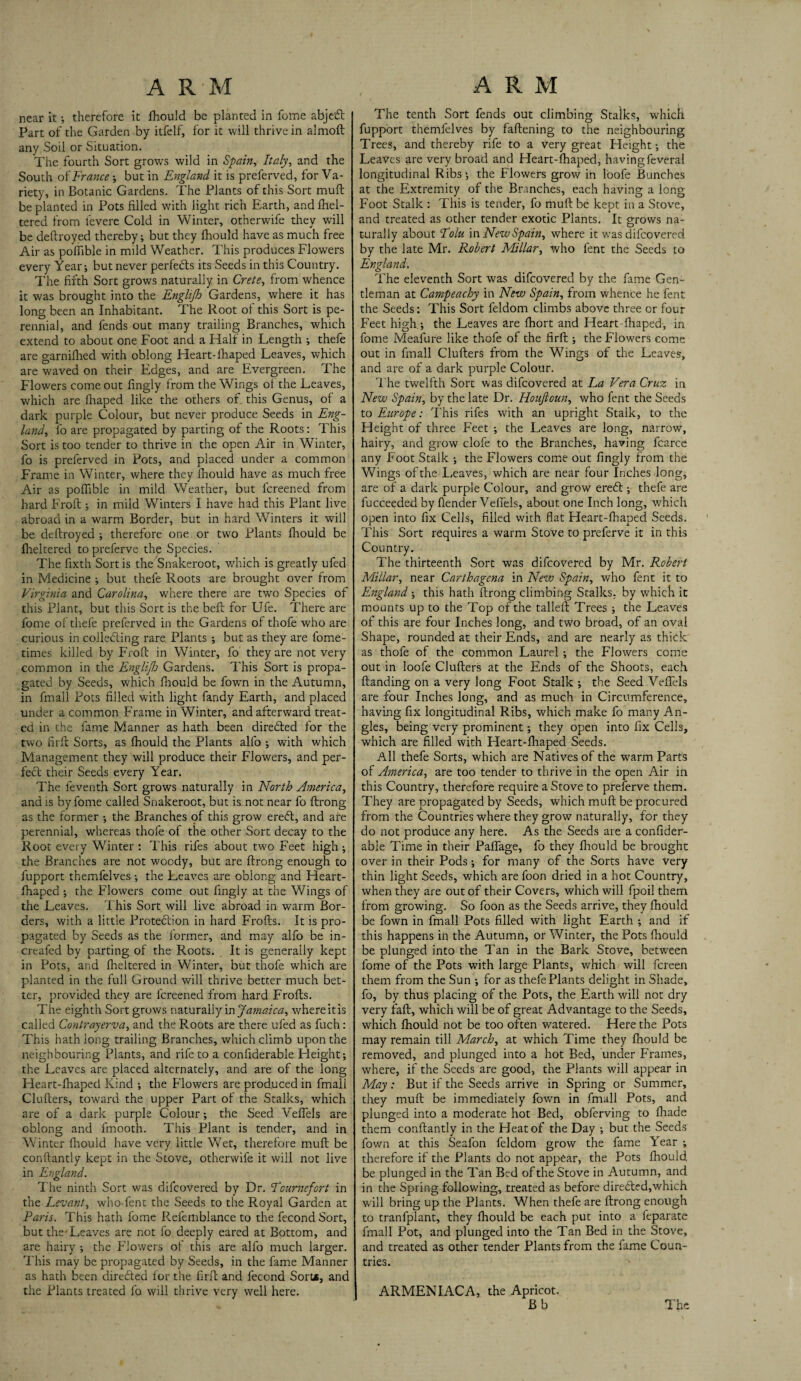 A RM near it; therefore it fhould be planted in fome abject Part of the Garden by itfelf, for it will thrive in almoft any Soil or Situation. The fourth Sort grows wild in Spain, Italy, and the South of France ; but in England it is preferved, for Va¬ riety, in Botanic Gardens. The Plants of this Sort muft be planted in Pots filled with light rich Earth, and fhel- tered from levere Cold in Winter, otherwife they will be deftroyed thereby; but they fhould have as much free Air as poffible in mild Weather. This produces Flowers every Year; but never perfects its Seeds in this Country. The firth Sort grows naturally in Crete, from whence it was brought into the Englijh Gardens, where it has long been an Inhabitant. The Root of this Sort is pe¬ rennial, and fends out many trailing Branches, which extend to about one Foot and a Half in Length ; thefe are garnifhed with oblong Heart-lhaped Leaves, which are waved on their Edges, and are Evergreen. The Flowers come out fingly from the Wings oi the Leaves, which are firaped like the others of this Genus, of a dark purple Colour, but never produce Seeds in Eng¬ land, fo are propagated by parting of the Roots: This Sort is too tender to thrive in the open Air in Winter, fo is preferved in Pots, and placed under a common Frame in Winter, where they fhould have as much free Air as poflible in mild Weather, but fcreened from hard Froft ; in mild Winters I have had this Plant live abroad in a warm Border, but in hard Winters it will be deftroyed ; therefore one or two Plants fhould be flickered topreferve the Species. The fixth Sort is the Snakeroot, which is greatly ufed in Medicine ; but thefe Roots are brought over from Virginia and Carolina, where there are two Species of this Plant, but this Sort is the beft for Ufe. There are fome of thefe preferved in the Gardens of thofe who are curious in colleding rare. Plants ; but as they are fome- times killed by Froft in Winter, fo they are not very common in the Englijh Gardens. This Sort is propa¬ gated by Seeds, which fhould be fown in the Autumn, in fmall Pots filled with light fandy Earth, and placed under a common Frame in Winter, and afterward treat¬ ed in the fame Manner as hath been directed for the two firft Sorts, as fhould the Plants alfo ; with which Management they will produce their Flowers, and per¬ fect their Seeds every Year. The feventh Sort grows naturally in North America, and is by fome called Snakeroot, but is not near fo ftrong as the former ; the Branches pf this grow eredt, and are perennial, whereas thofe of the other Sort decay to the Root every Winter : This rifes about two Feet high; the Branches are not woody, but are ftrong enough to fupport themfelves ; the Leaves are oblong and Heart- fhaped ; the Flowers come out fingly at the Wings of the Leaves. This Sort will live abroad in warm Bor¬ ders, with a little Protection in hard Frofts. It is pro¬ pagated by Seeds as the former, and may alfo be in- creafed by parting of the Roots. It is generally kept in Pots, and fheltered in Winter, but thofe which are planted in the full Ground will thrive better much bet¬ ter, provided they are lcreened from hard Frofts. The eighth Sort grows naturally in Jamaica, whereitis called Contrayerva, and the R.oots are there ufed as fuch: This hath long trailing Branches, which climb upon the neighbouring Plants, and rife to a confiderable Height; the Leaves are placed alternately, and are of the long Heart-fhaped Kind ; the Flowers are produced in fmall Clufters, toward the upper Part of the Stalks, which are of a dark purple Colour; the Seed VefTels are oblong and fmooth. This Plant is tender, and in Winter fhould have very little Wet, therefore muft be conftantly kept in the Stove, otherwife it will not live in England. The ninth Sort was difcovered by Dr. Four nefort in the Levant, who-fent the Seeds to the Royal Garden at Paris. This hath fome Refemblance to the fecondSort, but the-Leaves are not fo deeply eared at Bottom, and are hairy ; the Flowers of this are alfo much larger. This may be propagated by Seeds, in the fame Manner as hath been diredled for the firft and fecond Sort*, and the Plants treated fo will thrive very well here. A R M The tenth Sort fends out climbing Stalks, which fupport themfelves by faftening to the neighbouring Trees, and thereby rife to a very great Height; the Leaves are very broad and Heart-fhaped, havingfeveral longitudinal Ribs; the Flowers grow in loofe Bunches at the Extremity of the Branches, each having a long Foot Stalk : This is tender, fo muft be kept in a Stove, and treated as other tender exotic Plants. It grows na¬ turally about Folu in New Spain, where it was difcovered by the late Mr. Robert Millar, who fent the Seeds to England. The eleventh Sort was difcovered by the fame Gen¬ tleman at Campeachy in New Spain, from whence he fent the Seeds: This Sort feldom climbs above three or four Feet high ; the Leaves are fhort and Heart-fhaped, in fome Meafure like thofe of the firft ; the Flowers come out in fmall Clufters from the Wings of the Leaves, and are of a dark purple Colour. The twelfth Sort was difcovered at La Vera Cruz in New Spain, by the late Dr. Houftoun, who fent the Seeds to Europe: This rifes with an upright Stalk, to the Height of three Feet ; the Leaves are long, narrow, hairy, and grow clofe to the Branches, having fcarce any Foot Stalk ; the Flowers come out fingly from the Wings of the Leaves, which are near four Inches long, are of a dark purple Colour, and grow eredt ; thefe are fucceeded by flender Veffels, about one Inch long, which open into fix Cells, filled with flat Heart-fhaped Seeds. This Sort requires a warm Stove to preferve it in this Country. The thirteenth Sort was difcovered by Mr. Robert Millar, near Carthagena in New Spain, who fent it to England ; this hath ftrong climbing Stalks, by which it mounts up to the Top of the tailed: Trees ; the Leaves of this are four Inches long, and two broad, of an oval Shape, rounded at their Ends, and are nearly as thick as thofe of the common Laurel; the Flowers come out in loofe Clufters at the Ends of the Shoots, each ftanding on a very long Foot Stalk ; the Seed VefTels are four Inches long, and as much in Circumference, having fix longitudinal Ribs, which make fo many An¬ gles, being very prominent *, they open into fix Cells, which are filled with Heart-fhaped Seeds. All thefe Sorts, which are Natives of the warm Parts of America, are too tender to thrive in the open Air in this Country, therefore require a Stove to preferve them. They are propagated by Seeds, which muft be procured from the Countries where they grow naturally, for they do not produce any here. As the Seeds are a confider¬ able Time in their PafTage, fo they fhould be brought over in their Pods; for many of the Sorts have very thin light Seeds, which are foon dried in a hot Country, when they are out of their Covers, which will fpoil them from growing. So foon as the Seeds arrive, they fhould be fown in fmall Pots filled with light Earth ; and if this happens in the Autumn, or Winter, the Pots fhould be plunged into the Tan in the Bark Stove, between fome of the Pots with large Plants, which will fcreen them from the Sun ; for as thefe Plants delight in Shade, fo, by thus placing of the Pots, the Earth will not dry very faft, which will be of great Advantage to the Seeds, which fhould not be too often watered. Here the Pots may remain till March, at which Time they fhould be removed, and plunged into a hot Bed, under Frames, where, if the Seeds are good, the Plants will appear in May: But if the Seeds arrive in Spring or Summer, they muft be immediately fown in fmall Pots, and plunged into a moderate hot Bed, obferving to fhade them conftantly in the Heat of the Day ; but the Seeds fown at this Seafon feldom grow the fame Year ; therefore if the Plants do not appear, the Pots fhould be plunged in the Tan Bed of the Stove in Autumn, and in the Spring following, treated as before diredled,which will bring up the Plants. When thefe are ftrong enough to tranfplant, they fhould be each put into a feparate fmall Pot, and plunged into the Tan Bed in the Stove, and treated as other tender Plants from the fame Coun¬ tries. ARMEN I AC A, the Apricot. Bb The