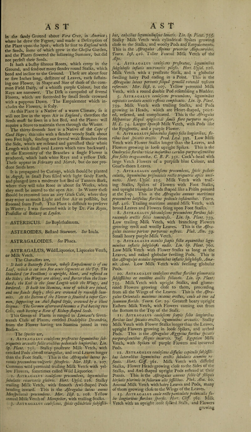 In the fandy Ground about Vera Cruz, in America ; where he drew the Figure, and made a Defcription of the Plant upon the Spot •, which he fent to England with the Seeds, fome of which grew in the Chelfea Garden, and the Plants flowered the following Summer, but did not perfect their Seeds. It hath a bufhy fibrous Roots, which creep in the Ground, and fend out many flender round Stalks, which bend and incline to the Ground. Thefe are about four or five Inches long, deftitute of Leaves, each fuftain- ing one Flower, in Shape and Size of thofe of the com¬ mon Field Daify, of a whitifh purple Colour, but the Rays are narrower. The Difk is compofed of feveral Florets, which are fucceeded by fmall Seeds crowned with a pappous Down. . The Empalement which in¬ cludes the Flowers, is fcaly. As this Plant is a Native of a warm Climate, fo it will not live in the open Air in England ; therefore the Seeds muft be fown in a hot Bed, and the Plants will require a Stove to maintain them through the Winter. The thirty-feventh Sort is a Native of the Cape of Good Hope; this rifes with a flender woody Stalk about two Feet high, fending out feveral weak Branches from the Side, which are reflexed and garniffied their whole Length with fmall oval Leaves which turn backward •, at the Extremity of the Branches a Angle Flower is produced, which hath white Rays and a yellow Difk. Thefe appear in February and March, but do not pro¬ duce Seeds here. It is propagated by Cutings, which fhouldbe planted in Augujl, in fmall Pots filled with light fandy Earth, and plunged into a moderate hot Bed of Tanners Bark, where they will take Root in about fix Weeks, when they muft be inured to the open Air. In Winter thefe fhould be removed into an airy Glafs Cafe, where they may enjoy as much Light and free Air as poflible, but fcreened from Froft. This Plant is difficult to preferve in Winter; I was favoured with it by Dr. Van Royen, Profefior of Botany at Leyden. ASTERISCUS. See Buphthalmum. ASTEROIDES, Baftard Starwort. See Inula. ASTRAGALOIDES. See Phaca. ASTRAGALUS, Wild Liquorice, Liquorice Vetch, or Milk Vetch. The Char aiders are. It hath a Butterfly Flower, whofe Empalement is of one Leafy which is cut into jive acute Segments at the Top. The Standard (or Vexillum) is upright, blunt, and reflexed on the Sides; the Wings are oblong, and Jhorter than the Stan¬ dard ; the Keel is the fame Length -with the Wings, and bordered. It hath ten Stamina, nine of which are joined, and one flands fingly; thefe are crowned by roundijh Sum¬ mits. At the Bottom of the Flower is fituated a taper Ger- men, fupporting an Awl-fhaped Style, crowned by a blunt Stigma. The Germen afterward becomes a Pod having two Cells, each having a Row of Kidney-jhaped Seeds. This Genus of Plants is ranged in Linnaeus's feven- teenth Clafs of Plants, entitled Biadelphia Decandria, from the Flower having ten Stamina joined in two Bodies. The Species are, 1. Astragalus caulefcens projiratus leguminibus ftub- triquetris arcuatis foliis ovalibuspedunculo longioribus. Lin. Sp. Plant. 758. Stalky proftrate Milk Vetch, with crooked Pods almoft triangular, and oval Leaves longer than the Foot Stalk. This is the Aftragalus luteus pe- rennis procumbens vulgaris fylveflris. Mor.Hift. 2. 10 7. Common wild perennial trailing Milk Vetch with yel¬ low Flowers, lometimes called Wild Liquorice. 2. Astragalus caulefcens procumbens, leguminibus fubulatis recurvntis glabris. Hort. Upfal. 226. Stalky trailing Milk Vetch, with fmooth Awl-fhaped Pods bending inward. This is the Aftragalus luteus annus Monfpeliacus procumbens. Mor. Hift. 2. 108. Yellow annual Milk Vetch of Montpelier, with trailing Stalks. 3. Astragalus caulefcens, fpicis cylindricis fubfefftli- bus, calycibus leguminibufqiie lanatis. Lin. Sp. Plant. 7'5'jh Stalky Milk Vetch with Cylindrical Spikes growing clofe to the Stalks, and woolly Pods and Empalements. This is the Aftragalus Alpinus procerior Alopecuroides. Tourn. Inft. 416. Taller Foxtail Milk Vetch of the ' Alps. 4. Astragalus caulefcens projiratus, leguminibus fubglobofis infiatis mucronatis pilcfts. Hort. Upfal. 22 6. Milk Vetch with a proftrate Stalk, and a globular fwelling hairy Pod ending in a Point. This is the Aftragalus luteus perennis filiqua gemella rotunda veftcam referente. Mor. Hift. 2. 107. Yellow perennial Milk Vetch, with a round double Pod refembling a Bladder* 5. Astragalus caulefcens procumbens, leguminibus capitatis cordatis acutis reflexis complicatis. Lin. Sp. Plant. 759. Milk Vetch with trailing Stalks, and Pods growing in Heads, which are Heart-fhaped, point¬ ed, reflexed, and complicated. This is the Aflragalus Hifpanicus filiqua epiglottidi fimili flore purpureo major. H. L. 74. Larger Spanifh Milk Vetch, with Pods like the Epiglottis, and a purple Flower. 6. Astragalus fubacaulos fcapis folio longioribus, flo- ribus laxe fpicatis eretlis. Prod. Leyd. 392. Low Milk Vetch with Flower Stalks longer than the Leaves, and Flowers growing in loofe upright Spikes. This is the Onobrychis floribus vici<e majoribus CcerUleo-purpurafcentibus Jive foliis tragacantha. C. B. P. 351. Cock’s-head with large Vetch Flowers of a purplifh blue Colour, and Goat’s-thorn Leaves. 7. Astragalus caulefcens procumbens, fpicis pcdmi- culatis, leguminibus prifmaticis retlis triquetris apice unci- natis. Hort. Upfal. 225. Milk Vetch with trail¬ ing Stalks, Spikes of Flowers with Foot Stalks* and upright triangular Pods fhaped like aPrifm pointed at the Top. This is the Aftragalus annuus maritimus procumbens latifolius floribus pediculo infidentibus. Tourn. Inft. 416. Trailing maritime annual Milk Vetch, with broad Leaves and Flowers fiting upon Foot Stalks. 8. Astragalus fub caulefcens procumbens floribus fub- racemofis eretlis foliis tomentofis. Lin. Sp. Plant. 759. Low trailing Milk Vetch, with branching Flowers growing ereft and woolly Leaves. This is the Aftra¬ galus incanus parvus purpureus noftras. Pluk. Aim, 59. Small hoary purple Milk Vetch. * 9. Astragalus acaulos fcapis folia sequantibus legu¬ minibus infiatis fubglobofis nudis. Lin. Sp. Plant. j6o. Low Milk Vetch with Flower Stalks as long as the Leaves, and naked globular fwelling Pods. This L the Aftragalus acaulos leguminibus infiatis fubglobofis. Ama- nit. Acad. Low Milk Vetch with fwelling globular Pods. 10. Astr.acalus caulefcens ere Slut floribus glomeratis fubfefftlibus ex omnibus axillis foliaceis. Lin. Sp. Plant. 755. Milk Vetch with upright Stalks, and glome¬ rated Flowers growing clofe to them, proceeding from all the Wings of the Leaves. This is the Aftra¬ galus Orientalis maximus incanus cretlus, caule ab imo ad fummum florido. Tourn. Cor. 29. Greateft hoary upright Eaftern Milk Vetch, with Flowers coming out from the Bottom to the Top of the Stalk. 11. Astragalus caulefcens fcapis folio longioribus ft-oribus laxe fpicatis eretlis, leguminibus arcuatis. Stalky Milk Vetch with Flower Stalks longer than the Leaves, upright Flowers growing in loofe Spikes, and arched Pods. This is the Aftragalus Adgyptius floribus fpicatis purpurafcentibus filiquis incurvis. JuJf. Egyptian Milk Vetch, with Spikes of purple Flowers and incurved Pods. 12. Astragalus caulefcens dijfufus capitulisfubfejftli- bus lateralibus leguminibus eretlis fubulatis acumine re- flexis. Hort. Cliff. 361. Milk Vetch with diffufed Stalks, Flower Heads growing clofe to the Sides of the Stalks, and Awl-fhaped upright Pods reflexed at their Points. This is the Aftragalus annuus foliis (A filiquis hirfutis plurimis in foliorum alis Jeffilibus. Pluk. Aim. 60. Annual Milk Vetch with hairy Leaves and Pods, many of them growing clofe to the Wings of the Leaves. 13. Astragalus caule retlo paniculato pedunculis fo¬ lio longioribus floribus fparfis. Hort. Clift. 362. Milk Vetch with an upright loofe fpiked Stalk, and Flowers growing