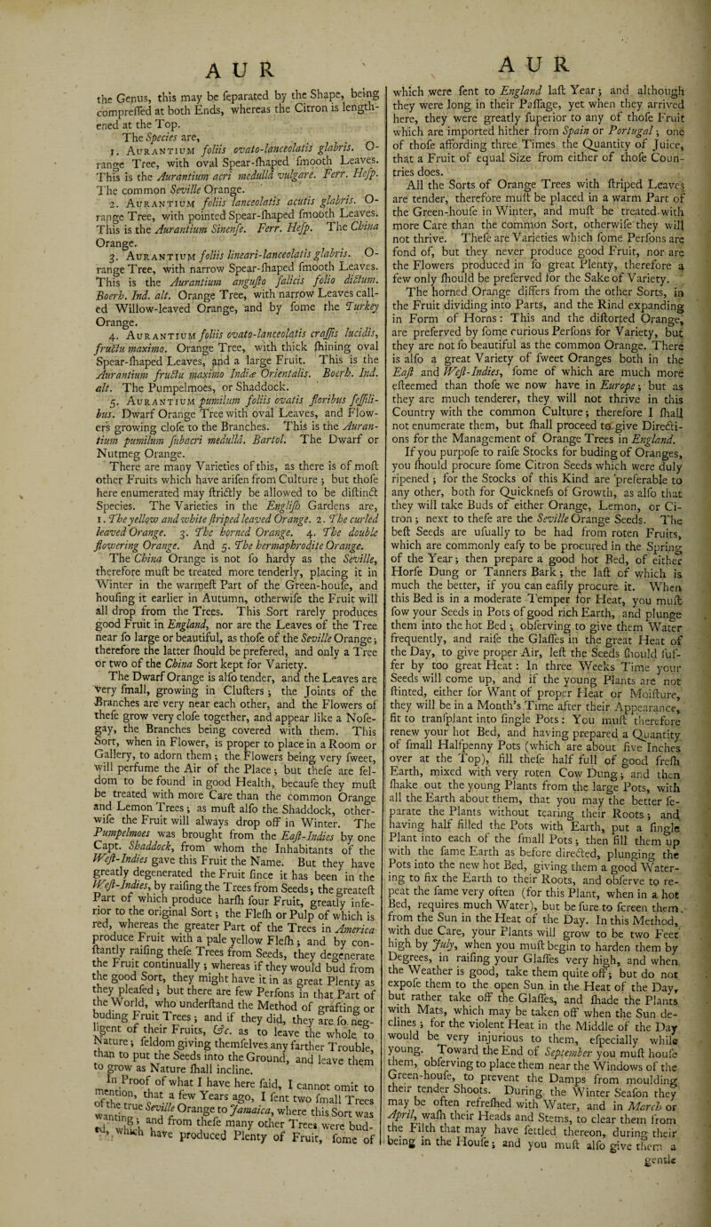 the Genus, this may be feparated by the Shape, being comprefled at both Ends, whereas the Citron is length¬ ened at the Top. The Species are, _ . 1. Aurantium foliis ovato-lanceolatis glabris. O- range Tree, with oval Spear-lhaped fmooth Leaves. This is the Aurantium acri medulla vulgare. Ferr. Hefp. The common Seville Orange. 2. Aurantium foliis lanceolati's acutis glabris. O- range Tree, with pointed Spear-lhaped fmooth Leaves. This is the Aurantium Sinenfe. Ferr. Hefp. The China Orange. 3. Aurantium foliis lineari-lanceolatis glabris. O- rangeTree, with narrow Spear-lhaped fmooth Leaves. This is the Aurantium angufto falicis folio diFtum. Boerh. Ind. alt. Orange Tree, with narrow Leaves call¬ ed Willow-leaved Orange, and by fome the Turkey Orange. 4. Aurantium foliis ovato-lanceolatis craffis lucidis, fruhlu maxima. Orange Tree, with thick fhining oval Spear-fhaped Leaves, and a large Fruit. This is the Aurantium fruhtu maxima Indite Orientalis. Boerh. Ind. alt. The Pumpelmoes, or Shaddock. 5. Aurantium pumilum foliis ovatis floribus fejfili- bus. Dwarf Orange Tree with oval Leaves, and Flow¬ ers growing clofe to the Branches. This is the Auran¬ tium pumilum fubacri medulla. Bartol. The Dwarf or Nutmeg Orange. There are many Varieties of this, as there is of moft other Fruits which have arifen from Culture ; but thofe here enumerated may ftridly be allowed to be diftinft Species. The Varieties in the Englifh Gardens are, l. The yellow and white ftriped leaved Orange. 1. The curled leaved Orange. 3. The horned Orange. 4. The double flowering Orange. And 5. The hermaphrodite Orange. The China Orange is not fo hardy as the Seville, therefore mull: be treated more tenderly, placing it in Winter in the warmed: Part of the Green-houfe, and houfing it earlier in Autumn, otherwife the Fruit will all drop from the Trees. This Sort rarely produces good Fruit in England, nor are the Leaves of the Tree near fo large or beautiful, as thofe of the Seville Orange ; therefore the latter Ihould be prefered, and only a Tree or two of the China Sort kept for Variety. The Dwarf Orange is alfo tender, and the Leaves are Very fmall, growing in Clufters ; the Joints of the •Branches are very near each other, and the Flowers of thefe grow very clofe together, and appear like a Nofe- gay, the Branches being covered with them. This Sort, when in Flower, is proper to place in a Room or Gallery, to adorn them ; the Flowers being very fweet, will perfume the Air of the Place •, but thefe are fel- dom to be found in good Health, becaufe they mull be treated with more Care than the common Orano-e and Lemon Trees; as mull alfo the Shaddock, other- wife the Fruit will always drop off in Winter. The Pumpelmoes was brought from the Eaft-Indies by one Capt. Shaddock, from whom the Inhabitants of the Weft-Indies gave this Fruit the Name. But they have greatly degenerated the Fruit fince it has been in the Wft-lndies, by railing the Trees from Seeds; the greatefl Part of which produce harlh four Fruit, greatly infe¬ rior to the original Sort; the Flelh or Pulp of which is red, whereas the greater Part of the Trees in America produce Fruit with a pale yellow Flelh; and by con- llantly railing thefe Trees from Seeds, they degenerate the Fruit continually ; whereas if they would bud from the good Sort, they might have it in as great Plenty as 1 ey P e^ed ’ but there are few Perfons in that Part of the World, who underhand the Method of grafting or buding Fruit Trees; and if they did, they ?re fo neg¬ ligent of their Fruits, (Ac. as to leave the whole ?o ^ture; feldom giving themfelves any farther Trouble than to put the Seeds into the Ground, and leave them to grow as Nature lhall incline. m, nVPr00fu0f What 1 have here faid’ 1 cannot omit to Skh tohat,f few Years a8°’ 1 fent two fmall Trees wan^n^ °raiFrt0 where this Sort was td whih\ °m tJhefeJraany other T*es were bud- > vh*h have produced Plenty of Fruit, fome of which were fent to England lafl Year; and although they were long in their Paffage, yet when they arrived here, they were greatly fuperior to any of thofe Fruit which are imported hither from Spain or Portugal ; one of thofe affording three Times the Quantity of Juice, that a Fruit of equal Size from either of thofe Coun¬ tries does. All the Sorts of Orange Trees with flriped Leaves are tender, therefore mult be placed in a warm Part of the Green-houfe in Winter, and mufl be treated-with more Care than the common Sort, otherwife they will not thrive. Thefe are Varieties which fome Perfons are fond of, but they never produce good Fruit, nor are the Flowers produced in fo great Plenty, therefore a few only flhould be preferved for the Sake of Variety. The horned Orange differs from the other Sorts, in the Fruit dividing into Parts, and the Rind expanding in Form of Horns: This and the diftorted Orange, are preferved by fome curious Perfons for Variety, but they are not fo beautiful as the common Orange. There is alfo a great Variety of fweet Oranges both in the Eaft and Weft-Indies, fome of which are much more efteemed than thofe we now have in Europe; but as they are much tenderer, they will not thrive in this Country with the common Culture ; therefore I (hall not enumerate them, but lhall proceed to give Directi¬ ons for the Management of Orange Trees in England. If you purpofe to raife Stocks for buding of Oranges, you Ihould procure fome Citron Seeds which were duly ripened ; for the Stocks of this Kind are preferable to any other, both for Quicknefs of Growth, as alfo that they will take Buds of either Orange, Lemon, or Ci¬ tron ; next to thefe are the Seville Orange Seeds. The bell Seeds are ufually to be had from roten Fruits, which are commonly eafy to be procured in the Spring of the Year; then prepare a good hot Bed, of either Horfe Dung or Tanners Bark; the lafb of which is much the better, if you can eafily procure it. When this Bed is in a moderate Temper lor Pleat, you mult fow your Seeds in Pots of good rich Earth, and plunge them into the hot Bed ; obferving to give them Water frequently, and raife the Glalfes in the great Heat of the Day, to give proper Air, left the Seeds Ihould fuf- fer by too great Heat: In three Weeks Time your Seeds will come up, and if the young Plants are not Hinted, either for Want of proper Heat or Moifture, they will be in a Month’s Time after their Appearance, fit to tranfplant into fingle Pots : You mull therefore renew your hot Bed, and having prepared a Quantity of fmall Halfpenny Pots (which are about five Inches over at the Top), fill thefe half full of good frelh Earth, mixed with very roten Cow Dung; and then fhake out the young Plants from the larg” Pots, with all the Earth about them, that you may the better fe- parate the Plants without tearing their Roots ; and having half filled the Pots with Earth, put a fingle Plant into each of the fmall Pots; then fill them up with the fame Earth as before direfled, plunging the Pots into the new hot Bed, giving them a good Water¬ ing to fix the Earth to their Roots, and obferve to re¬ peat the fame very often (for this Plant, when in a hot Bed, requires much Water), but befure to fcreen them, from the Sun in the Heat of the Day. In this Method, with due Care, your Plants will grow to be two Feet high by July, when you mufl begin to harden them by Degrees, in raifing your Glaffes very high, and when the Weather is good, take them quite off; but do not expofe them to the open Sun in the Heat of the Day, but rather take off the Glaffes, and fhade the Plants with Mats, which may be taken off when the Sun de¬ clines ; for the violent Heat in the Middle of the Day would be very injurious to them, efpecially while young. Toward the End of September you mufl houfe them, obferving to place them near the Windows of the Green-houfe, to prevent the Damps from moulding then tender Shoots. During the Winter Seafon they may be often refrefhed with Water, and in March or fpwg.wafh their Heads and Stems, to clear them from the filth that may have fettled thereon, during their being in the Houfe; and you mufl alfo give them a gentle