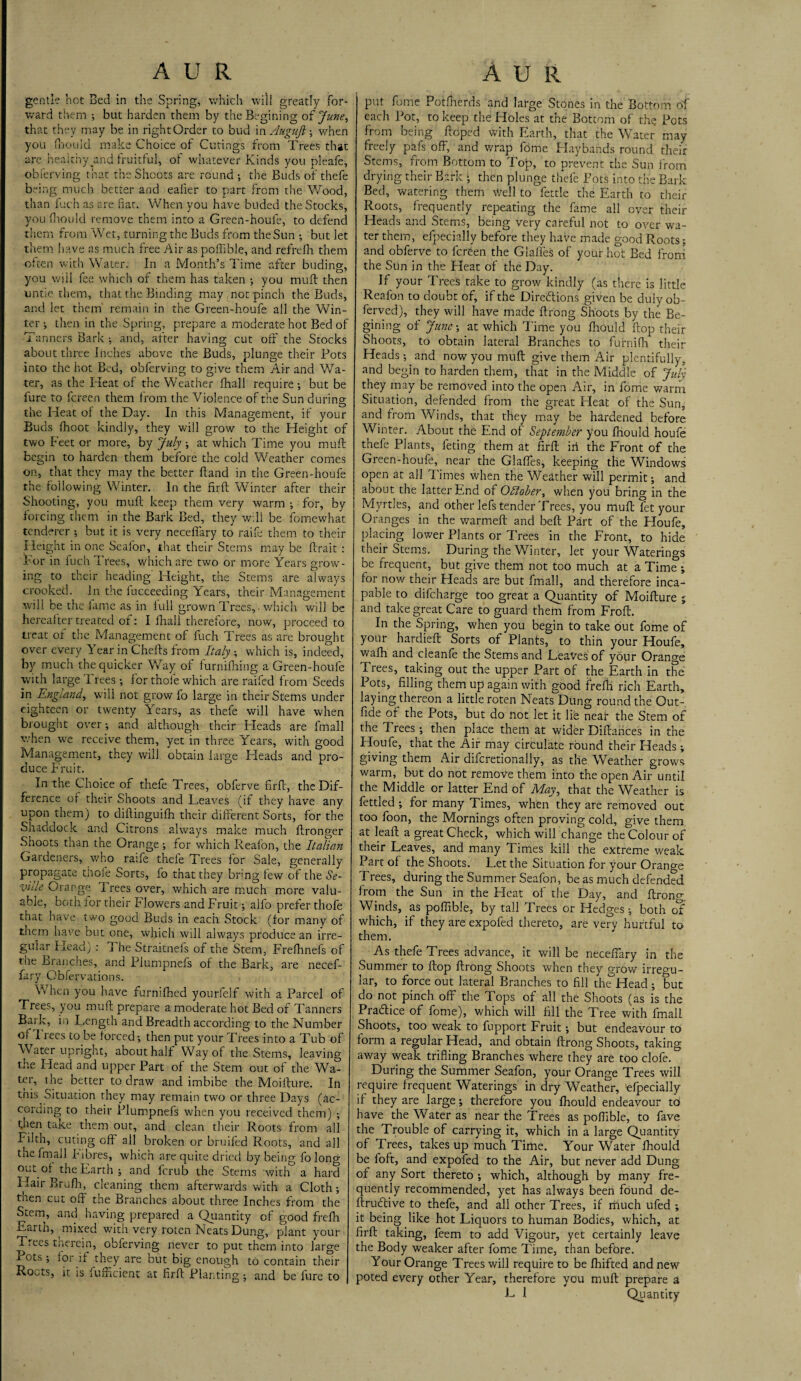gentle hot Bed in the Spring, which will greatly for¬ ward them ; but harden them by theBegining of June, that they may be in right Order to bud in Augujt; when you fhould make Choice of Curings from Trees that arc healthyjind fruitful, of whatever Kinds you pleafe, obferving that the Shoots are round ; the Buds of thefe bring much better and ealier to part from the Wood, than fuch as are fiat. When you have buded the Stocks, you fhould remove them into a Green-houfe, to defend them from Wet, turning the Buds from the Sun ; but let them have as much free Air as poffible, and refrefh them often with Water. In a Month’s Time after buding, you will fee which of them has taken ; you mult then untie them, that the Binding may not pinch the Buds, and let them remain in the Green-houfe all the Win¬ ter •, then in the Spring, prepare a moderate hot Bed of Tanners Bark ; and, after having cut off the Stocks about three Inches above the Buds, plunge their Pots into the hot Bed, obferving to give them Air and Wa¬ ter, as the Heat of the Weather fhall require; but be fure to fcreen them from the Violence of the Sun during the Heat of the Day. In this Management, if your Buds fhoot kindly, they will grow to the Height of two Feet or more, by July ; at which Time you muft begin to harden them before the cold Weather comes on, that they may the better Hand in the Green-houfe the following Winter. In the firft Winter after their Shooting, you muft keep them very warm ; for, by forcing them in the Bark Bed, they well be fomewhat tenderer ; but it is very neceffary to raife them to their Height in one Seafon, that their Stems may be ftrait : For in fuch Trees, which are two or more Years grow¬ ing to their heading Fleight, the Stems are always crooked. In the fucceeding Years, their Management will be the lame as in lull grown Trees,, which will be hereafter treated of: I fhall therefore, now, proceed to treat of the Management of fuch Trees as are brought over every Year in Cherts from Italy ; which is, indeed, by much the quicker Way of furnifhing a Green-houfe with large Trees; for thole which are raifed from Seeds in England, will not grow fo large in their Stems under eighteen or twenty Years, as thefe will have when brought over; and although their Heads are fmall when we receive them, yet in three Years, with good Management, they will obtain large Heads and pro¬ duce Fruit. In the Choice of thefe Trees, obferve firrt, the Dif¬ ference of their Shoots and Leaves (if they have any upon them) to diftinguifh their different Sorts, for the Shaddock and Citrons always make much ftronger Shoots than the Orange; for which Real'on, the Italian Gardeners, who raife thefe Trees for Sale, generally propagate tiiole Sorts, fo that they bring few of the Se¬ ville Orange Trees over, which are much more valu¬ able, both for their Flowers and Fruit; alfo prefer thofe that have two good Buds in each Stock (for many of them have but one, which will always produce an irre¬ gular Head) : The Straitnels of the Stem, Frefhnefs of the Branches, and Plumpnefs of the Bark, are necef- fary Obfervations. When you have furnifhed yourfelf with a Parcel of Trees, you muft prepare a moderate hot Bed of Tanners Bark, in Length and Breadth according to the Number of d lees to be forced; then put your Trees into a Tub of Water upright, about half Way of the Stems, leaving the Lie ad and upper Part of the Stem out of the Wa¬ ter, the better to draw and imbibe the Moirture. In this Situation they may remain two or three Days (ac¬ cording to their Plumpnefs when you received them) ; dien take them out, and clean their Roots from all Filth, cuting off all broken or bruifed Roots, and all the fmall Fibres, which are quite dried by being fo long out of the Earth ; and ferub the Stems with a hard Hair Brufh, cleaning them afterwards with a Cloth; tnen cut oft the Branches about three Inches from the Stem, and having prepared a Quantity of good frefih Earth, mixed with very roten Neats Dung, plant your Trees tnerein, obferving never to put them into large x ots ; for if they are but big enough to contain their Roots, it is fufficient at firft Planting; and be fure to put fome Potfherds and large Stones in the Bottom of each Pot, to keep the Holes at the Bottom of the Pots from being ftoped with Earth, that the Water may freely pafs off, and wrap fome Haybands round their Stems, from Bottom to Top, to prevent the Sun from drying their Bark ‘ then plunge thefe Pots into the Bark Bed, watering them Well to fettle the Earth to their Roots, frequently repeating the fame all over their Heads and Stems, being very careful not to over wa¬ ter them, efpecinlly before they have made good Roots; and obferve to fcreen the Glaffes of your hot Bed from the Sun in the Pleat of the Day. If your Trees take to grow kindly (as there is little Reafon to doubt of, if the Directions given be duly ob- ferved), they will have made ftrong Shoots by the Be- gining of June-, at which Time you fhould flop their Shoots, to obtain lateral Branches to furnifh their Heads; and now you muft give them Air plentifully, and begin to harden them, that in the Middle of July they may be removed into the open Air, in fome warm Situation, defended from the great Heat of the Sun, and from Winds, that they may be hardened before Winter. About the End of September you fhould houfe thefe Plants, feting them at firft iri the Front of the Green-houfe, near the Glaffes, keeping the Windows open at all Times when the Weather will permit; and about the latter End of October, when you bring in the Myrtles, and other lefs tender Trees, you muft fet your Oranges in the warmeft and beft Part of the Houfe, placing lower Plants or Trees in the Front, to hide their Stems. During the Winter, let your Waterings be frequent, but give them not too much at a Time ; for now their Heads are but fmall, and therefore inca¬ pable to difeharge too great a Quantity of Moifture ; and take great Care to guard them from Froft. In the Spring, when you begin to take out fome of your hardieft Sorts of Plants, to thin your Houfe, wafh and cleanfe the Stems and Leaves of your Orange Trees, taking out the upper Part of the Earth in the Pots, filling them up again with good frefti rich Earth, laying thereon a little roten Neats Dung round the Qut- fide of the Pots, but do not let it lie near the Stem of the Trees; then place them at wider Diftarices in the Houfe, that the Air may circulate round their Heads; giving them Air difcretionally, as the Weather grows warm, but do not remove them into the open Air until the Middle or latter End of May, that the Weather is fettled ; for many Times, when they are removed out too foon, the Mornings often proving cold, give them at leaft a great Check, which will change the Colour of their Leaves, and many Times kill the extreme weak Part of the Shoots. Let the Situation for your Orange Trees, during the Summer Seafon, be as much defended from the Sun in the Heat of the Day, and ftrong Winds, as poffible, by tall Trees or Hedges; both of which, if they are expofed thereto, are very hurtful to them. As thefe Trees advance, it will be neceffiary in the Summer to flop ftrong Shoots when they grow irregu¬ lar, to force out lateral Branches to fill th°Head ; but do not pinch off the Tops of all the Shoots (as is the Pra&ice of fome), which will fill the Tree with fmall Shoots, too weak to fupport Fruit; but endeavour to form a regular Head, and obtain ftrong Shoots, taking away weak trifling Branches where they are too clofe. During the Summer Seafon, your Orange Trees will require frequent Waterings in dry Weather, efpecially if they are large; therefore you fhould endeavour to have the Water as near the Trees as poffible, to fave the Trouble of carrying it, which in a large Quantity of Trees, takes up much Time. Your Water fhould be foft, and expofed to the Air, but never add Dung of any Sort thereto ; which, although by many fre¬ quently recommended, yet has always been found de- ftruCtive to thefe, and all other Trees, if much ufed ; it being like hot Liquors to human Bodies, which, at firft taking, feem to add Vigour, yet certainly leave the Body weaker after fome Time, than before. Your Orange Trees will require to be fhifted and new poted every other Year, therefore you muft prepare a