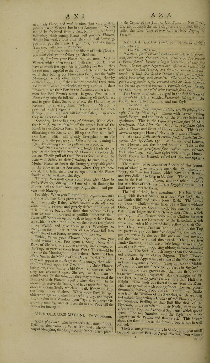 in a fhady Place, and muft be often (but very gently), refreflied with Water : but in the Autumn and Winter Ihould be flickered from violent Rains. ^ The Spring following, thefe young Plants will produce Flowers, though but weak; foon after they are pad; flowering, you muft put them into larger Pots, and the fecond Year they will blow in Perfection. But, in order to obtain a fine Bloom of thefe Flowers, you muft cbferve the following Directions. Firft, Preferve your Plants from too much Wet in Winter, which often rots and fpoils them ; but let them have as much free open Air as pollible; nor fhould they be too much expofed to the Sun, which is apt to for¬ ward their buding for Flower too foon ; and the frolty Mornings, which often happen in March, thereby deftroy their Buds, if they are not protected therefrom. To prevent which, thofe who are very curious in thefe Flowers, place their-Pots in the Autumn, under a com¬ mon hot Bed Frame; where, in good Weather, the Plants may enjoy the full Air, by drawing oft the Glades; and in great Rains, Snow, or Froft, the Plants maybe fereened, by covering them. Where this Method is practifed with Judgment, the Flowers will be much ftronger, and the Plants will increafe fafter, than when they are expofed abroad. Secondly, In the Begining of February, if the Wea¬ ther is mild, you muft take off the upper Part of the Earth in the Auricula Pots, as low as you can without difturbing their Roots, and fill up the Pots with frefh rich Earth, which will greatly ftrengthen them for Bloom ; as alio prepare your Offsets for tranfpanting in April, by caufing them to pufh out new Roots. Thofe Plants which have ftrong Angle Pleads always produce the largeft Clufters of Flowers; therefore the curious Florifts pull off the Offsets as foon as it can be done with Safety to their Growing, to encourage the Mother Plants to flower the ftronger; they alfo pinch off the Flowers in the Autumn, where they are pro¬ duced, and fuffer them not to open, that the Plants ihould not be weakened thereby. Thirdly, You muft cover your Pots with Mats in frofty Weather, during this Time of their Buding for Flower, left the fharp Mornings blight them, and pre¬ vent their blowing. Fourthly, When your Flower Stems begin to advance and the Bloffom Buds grow turgid, you muft protect them from hafty Rains, which would wafir off their white rneally Farina, and greatly deface the Beauty of thtir Flowers; but at the fame time obferve to keep them as much uncovered as poffible, otherwife their Stems will be drawn up too weak to fupport their Flow- eis (which ^is often the Cafe when their Pots are placed under Walls), and give them gentle Waterings to ftrengthen them ; but let none of the Water fall into the Center of the Plant, or among the Leaves. Fifthly, When your Flowers begin to open, you Ihould remove their Pots upon a Stage (built with Rows of Shelves, one above another, and covered on the I op, to preferve them from Wet: This fhould be open to the Morning Sun, but flieltered from the Heat of the Sun in the Middle of the Day): In this Pofition they will appear to much greater Advantage, than when the 1 ots ftarffi upon the Ground ; for, their Flowers being low, their Beauty is hid from us ; whereas, when they ar.e advanced upon Shelves, we fee them in a rui I \ lew : In this Situation they may remain until the Beauty ot their Flowers is paft ; when they muft be fet abroad to receive the Rains, and have open free Air, in order to obtain Seeds, which will fail, if they are kept too long under Shelter. When your Seed is ripe, ob erve to gather it when it is perfectly dry, and expofe n to the Sun in a Window upon Papers, to prevent its growing mouldy, and let it remain in the Pods till the Seaion for fowmg it. AURICULA URSI MYCONI. See Verbafcum. AXIS of a Plant. Axis is properly that round fmooth S hal ab0,ut which » Wheel is turned; whence bv • yo Metaphor, that long, round, fmooth Part, placed A Z A in the Center of the Juli, or Car Tails, cp Nut Trees, (Ac. about which the male Organs are difpofed, may be called the Axis. The French call it Ams, Noyau, or Poinfon. AZALEA. Lin. Gen. Plant. 195. American upright Honeyfuckle. The Characters are. Pi hath a fmall coloured Empalement which is perma¬ nent, and cut into five acute Parts at the Fop. The Flower is Funnel-fibaped, having a long naked T'ube, cut into five Parts, the two upper Segments are reflexed back-ward, the two Sides are bent in-ward, and the lower one turns down- ward. It hath five J.lender Stamina ofi unequal’ Lengths, which have oblong ereCt Summits. The round Gcrmen fiup- ports a long J.lender Sty le, crowned with an obtufe Stigma the Germen afterward becomes a roundifih Capfiule, bavin* five Cells, which are filled with roundifh fimall Seeds. . ' * This Genus of Plants is ranged in the firft Section of Linnaus s fifth Clais, entitled Pentandria Monogynia, the Flower having five Stamina, and one Style. The Species are, 1. Azalea foliis margins fcabris, corollispilofo-gluti- nofiis. Lin. Sp. Plant. i£i. Azalea with Leaves havino- rough Edges, and the Petals of the Flower hairy and glutinous. 1 his is the Cijlus Virginiana filore iA cdore periclymeni. Pluk. Phyt. Tab. 161.fi 4. ^Virginian Cijlus with a Flower and Scent of Honeyfuckle. This is the American upright Honeyfuckle with a white Flower. _ 2‘ Azalea foliis ovat-is corollispilojis fitaminibus lon- gijfmiis. Lin. Sp. Plant. 1 yo. Azalea with oval Leaves, hairy Flowers, and the longeft Stamina. This is the Cijlus Virginiana periclymeni filere ampliori minus odorato. Pluk. Mant. 49.^ Virginian Cijlus with a large Honey- fucide Flower lets feented, called red American upright Honeyfuckle. There are three or four other Species of this Genus, two of which grow naturally upon the Alps, chiefly on Bogs; thefe are low Plants, which have little Beauty, and very difficult to keep in Gardens. The others orow one in the Fail, near Pont us, and the other in India; but as neither'of thefe are in the Englifih Gardens,' fo I fnall not enumerate them. The firft of thefe, here mentioned, is a low Shrub,' lifing with ieveral Stems, near four F’eet high, thefe are flender, ftiff, and have a brown Bark. The Leaves come out in Clufters at the Ends of the Shoots without Orcer. They are Spear-fhaped, but narrow at their Bafe ; their Edges are fet with very fhort Teeth, which are rough. The Flowers come out in Clufters between the Leaves, at the Extremity of the Branches, which are with a Mixture of dirty yellow on their Out- fide. I hey have a I ube an Inch long, and at the Top aie pretty deeply cut into five Segments, the two up- pei aie reflexed ; the. two fide ones are bent inward, and the lower is turned downward. There are five fiender Stamina, which are a little longer than the Pe¬ tals of the Flower, fupporting oblong Saffron-coloured ummits. The Style is much longer than the Stamina, and crowned by an obtufe Stigma. Thefe Flowers have much the Appearance of thofe of the Honeyfuckle, and are as agreeably feented. They appear the Middle ° ’r Ut are not fucceeded by Seeds in England. The fecond Sort grows taller than the firft, and in its native Country, frequently rifes the Height of fif¬ teen Feet, but in England is never more than Half that eight. I his fends out feveral Stems from the Root, wiiuh are garniffied with oblong fmooth Leaves, placed alternately having Foot Stalks. The Flower Stalks arne from the Divifion of the Branches, which are long and naked, fupporting a CJufter of red Flowers, which are tubulous, fwellmg at their Bafe like thofe of the Hyacinth, and contracted at their Neck ; they are di¬ va eci at t le op into five equal Segments, which fpread open. 1 he five Stamina, and the Style, are much longer than the Petals, and ftand erect. This flowers “ fame Tlme as the former, but is not fo well 1 hefe Plants grow naturally in Shade, and upon moift Ground, in molt Parts of North America, from whence 4 ^ many