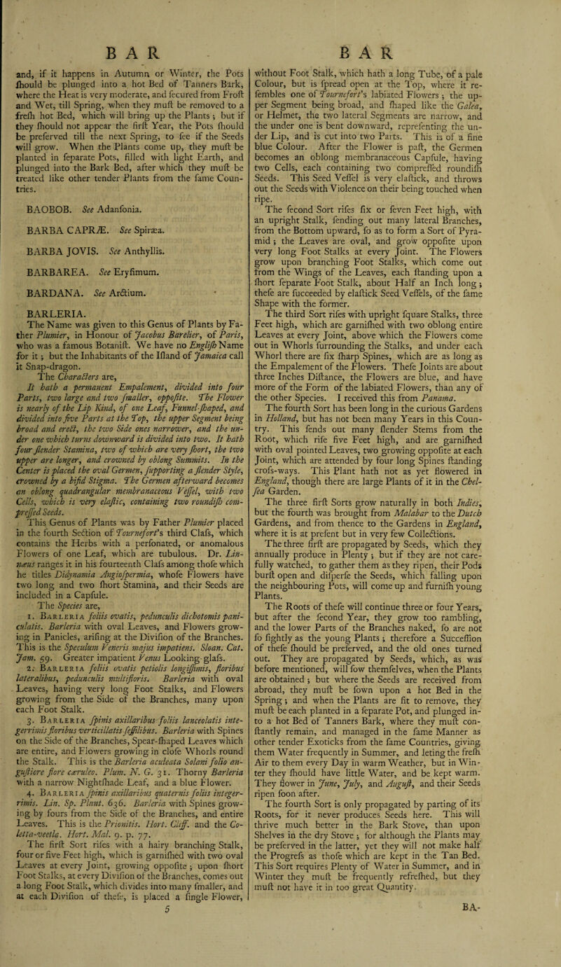 and, if it happens in Autumn or Winter, the Pots fhould be plunged into a hot Bed of Tanners Bark, where the Heat is very moderate, and fecured from Froft and Wet, till Spring, when they mull be removed to a frelh hot Bed, which will bring up the Plants ; but if they fhould not appear the firft Year, the Pots fhould be preferved till the next Spring, to fee if the Seeds will grow. When the Plants come up, they mull be planted in feparate Pots, filled with light Earth, and plunged into the Bark Bed, after which they mull be treated like other tender Plants from the fame Coun¬ tries. BAOBOB. See Adanfonia. BARBA CAPRiE. See Spiraea. BARBA JOVIS. See Anthyllis. BARBAREA. See Eryfimum. BARD AN A. See Arftium. BARLERIA. The Name was given to this Genus of Plants by Fa¬ ther Plumier, in Honour of Jacobus Barelier, of Paris, who was a famous Botanift. We have no Englijh Name for it; but the Inhabitants of the Ifland of Jamaica call it Snap-dragon. The Characters are, It hath a permanent Empalement, divided into four Parts, two large and two fmaller, oppofite. I'he Flower is nearly of the Lip Kind, of one Leaf, Funnel-Jhaped, and divided into five Parts at the Fop, the upper Segment being broad and erebi, the two Side ones narrower, and the un¬ der one which turns downward is divided into two. It hath four Jlender Stamina, tzvo of which are very fhort, the two upper are longer, and crowned by oblong Summits. In the Center is placed the oval Germen, fupporting a Jlender Style, crowned by a bifid Stigma. Fhe Germen afterward becomes an oblong quadrangular membranaceous Vejfel, with two Cells, which is very elafiic, containing two roundifio com- prejfed Seeds. This Genus of Plants was by Father Plumier placed in the fourth Seftion of Fournefort’s third Clafs, which contains the Herbs with a perfonated, or anomalous Flowers of one Leaf, which are tubulous. Dr. Lin¬ naeus ranges it in his fourteenth Clafs among thofe which he titles Didynamia Angiofpermia, whofe Flowers have two long and two fhort Stamina, and their Seeds are included in a Capfule. The Species are, i. Barleria foliis ovatis, pedunculis dichotomis pani- culatis. Barleria with oval Leaves, and Flowers grow¬ ing in Panicles, arifing at the Divifion of the Branches. This is the Speculum Veneris majus impatiens. Sloan. Cat. Jam. 59. Greater impatient Venus Looking-glafs. 2; Barleria foliis ovatis petiolis longijfimis, fioribus lateralibus, pedunculis multifioris. Barleria with oval Leaves, having very long Foot Stalks, and Flowers growing from the Side of the Branches, many upon each Foot Stalk. 3. Barleria fpinis axillaribus foliis lanceolatis inte- gerrimis fioribus verticillatis fefjilibus. Barleria with Spines on the Side of the Branches, Spear-fhaped Leaves which are entire, and Flowers growing in clofe Whorls round the Stalk. This is the Barleria aculeata Solani folio an- gufticre flore caruleo. Plum. N. G. 31. Thorny Barleria with a narrow Nightfhade Leaf, and a blue Flower. 4. Barleria fpinis axillaribus quaternis foliis integer - rimis. Lin. Sp. Plant. 636. Barleria with Spines grow¬ ing by fours from the Side of the Branches, and entire Leaves. This is the Prionitis. Hort. Cliff, and the Co- let ta-veetla. Hort. Mai. 9. p. 77. The firft Sort riles with a hairy branching Stalk, four or five Feet high, which is garnifhed with two oval Leaves at every Joint, growing oppofite ; upon fhort Foot Stalks, at every Divifion of the Branches, comes out a long Foot Stalk, which divides into many fmaller, and at each Divifion of thefe, is placed a fingle Flower, 5 without Foot Stalk, which hath a long Tube, of a pale Colour, but is fpread open at the Top, where it re- fembles one of FourneforVs, labiated Flowers ; the up¬ per Segment being broad, and fhaped like the Galea, or Helmet, the two lateral Segments are narrow, and the under one is bent downward, reprefenting the un¬ der Lip, and is cut into two Parts. This is of a fine blue Colour. After the Flower is paft, the Germen becomes an oblong membranaceous Capfule, having two Cells, each containing two compreffed roundifh Seeds. This Seed VefTel is very elaftick, and throws out the Seeds with Violence on their being touched when ripe. The fecond Sort rifes fix or feven Feet high, with an upright Stalk, fending out many lateral Branches, from the Bottom upward, fo as to form a Sort of Pyra¬ mid ; the Leaves are oval, and grow oppofite upon very long Foot Stalks at every Joint. The Flowers grow upon branching Foot Stalks, which come out from the Wings of the Leaves, each Handing upon a fhort feparate Foot Stalk, about Half an Inch long ; thefe are fucceeded by elaftick Seed Veflels, of the fame Shape with the former. The third Sort rifes with upright fquare Stalks, three Feet high, which are garnifhed with two oblong entire Leaves at every Joint, above which the Flowers come out in Whorls furrounding the Stalks, and under each Whorl there are fix fharp Spines, which are as long as the Empalement of the Flowers. Thefe Joints are about three Inches Diftance, the Flowers are blue, and have more of the Form of the labiated Flowers, than any of the other Species. I received this from Panama. The fourth Sort has been long in the curious Gardens in Holland, but has not been many Years in this Coun¬ try. This fends out many flender Stems from the Root, which rife five Feet high, and are garnifhed with oval pointed Leaves, two growing oppofite at each Joint, which are attended by four long Spines Handing crofs-ways. This Plant hath not as yet flowered in England, though there are large Plants of it in the Chel- fea Garden. The three firft Sorts grow naturally in both Indies, but the fourth was brought from Malabar to the Hutch Gardens, and from thence to the Gardens in England, where it is at prefent but in very few Collections. The three firft are propagated by Seeds, which they annually produce in Plenty ; but if they are not care¬ fully watched, to gather them as they ripen, their Pods burft open and difperfe the Seeds, which falling upon the neighbouring Pots, will come up and furnifh young Plants. The Roots of thefe will continue three or four Years, but after the fecond Year, they grow too rambling, and the lower Parts of the Branches naked, fo are not fo fightly as the young Plants ; therefore a Succeflion of thefe fhould be preferved, and the old ones turned out. They are propagated by Seeds, which, as was before mentioned, will low themfelves, when the Plants are obtained ; but where the Seeds are received from abroad, they muft be fown upon a hot Bed in the Spring ; and when the Plants are fit to remove, they muft be each planted in a feparate Pot, and plunged in¬ to a hot Bed of Tanners Bark, where they muft con- ftantly remain, and managed in the fame Manner as other tender Exoticks from the fame Countries, giving them Water frequently in Summer, and letingthe frefh Air to them every Day in warm Weather, but in Win¬ ter they fhould have little Water, and be kept warm. They flower in June, July, and Auguft, and their Seeds ripen foon after. The fourth Sort is only propagated by parting of its Roots, for it never produces Seeds here. This will thrive much better in the Bark Stove, than upon Shelves in the dry Stove \ for although the Plants may be preferved in the latter, yet they will not make half the Progrefs as thofe which are kept in the Tan Bed. This Sort requires Plenty of Water in Summer, and in Winter they muft be frequently refrefhed, but they muft not have it in too great Quantity. BA-