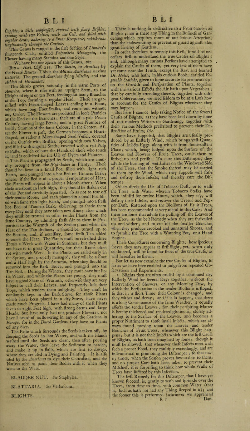 t ' S' ' Qapfuie, a little compreffed, covered with Jharp, Briflles, opening with two Valves, with one Cell, filled with angular Seeds, adhering to a linear Receptacle, which trims longitudinally through the Capfule. - ^ This Genus is ranged in the fird Sedlion of Linnaeus*s thirteenth Clafs, entitled Polyandria Monogynia, the Flower having many Stamina and one Style. We have but one Species of this Genus, viz. Bixa. Hort. Cliff. 211. ThtAnotta, or Arnotta; by the French Roucou. This is the Mitella Americana maxima tinttoria. The greateft American dying Mitella, and the Achioti of Hernandez. This Shrub grows naturally in the warm Parts of America, where it rifes with an upright Stem, to the Height of eight or ten Feet, fending out many Branches at the Top, forming a regular Head. Thefe are gar- nifhed with Heart-fhaped Leaves ending in a Point, which have long Foot Stalks, and come out without any Order. The Flowers are produced injoofe Panicles at the End of the Branches •, thefe are of a pale Peach Colour, having large Petals, and a great Number of brillly Stamina of the fame Colour, in the Center. Af¬ ter the Flower is pad, the Germen becomes a Heart- fhaped, or rather a Mitre-fhaped Seed VelTel, covered on the Outfide with Bridles, opening with two Valves, and filled with angular Seeds, covered with a red Pulp or Fade, which colours the Hands of thofe who touch it, and is colledled for the Ufe of Dyers and Painters. This Plant is propagated by Seeds, which are annu¬ ally brought from the Wefi-Indies in Plenty. Thefe fhould be fown in a fmall Pot, filled with light rich Earth, and plunged into a hot Bed of Tanners Bark j where, if the Bed is of a proper Temperature of Heat, the Plants will appear in about a Month after : W hen thefe are about an inch high, they fhould be fhaken out of the Pot and carefully feparated, fo as not to tear off their tender Roots, and each planted in a fmall Pot fill¬ ed with fome rich light Earth, and plunged into a frefh hot Bed of Tanners Bark, obferving to fhade them every Day until they have taken new Root; after which they mud be treated as other tender Plants from the fame Country, by admiting frefh Air to them in Pro¬ portion to the Warmth of the Seafon ; and when the Heat of the Tan declines, it fhould be turned up to the Bottom, and, if neceflfary, fome frefli Tan added to renew the Heat. The Plants muff be refrefhed three Times a Week with Water in Summer, but they muff not have it in great Quantities, for their Roots often rot with much Wet. If the Plants are raifed early in the Spring, and properly managed, they will be a Foot and a Half high by the Autumn, when they fhould be removed into the Bark Stove, and plunged into the Tan Bed. During the Winter, they mud have but lit¬ tle Water, and while the Plants are young, they mud have a good Share of Warmth, otherwife they are very fubieft to cad their Leaves, and frequently lofe their Tops, which renders them unfightly. They mud be condantly kept in the Bark Stove, for thofe Plants which have been placed in a dry Stove, have never made much Progrefs. 1 have had many of thefe Plants feven or eight Feet high, with drong Stems and large Heads, but have only had one produce Flowers •, nor have I heard of its flowering in any of the Gardens in Europe, for in the Butch Gardens they have no Plants of any Size. The Pade which furrounds the Seeds is taken off, by deeping the Seeds in hot Water, and with the Hands wafneduntil the Seeds are clean, then after pouring away the Water, they leave the Sediment to harden, and make it up in Balls, which are fent to Europe, where they are ufed in Dying and Painting. It is alfo ui'ed by the Americans to dye their Chocolate, and the Natives ufed to paint their Bodies with it when they went to the Wars. BLADDER NUT. See Staphylea. BL ATT ARIA. See Verbafcum. BLIGHTS. B L I . 4 » *• » ... v * ... There is nothing fo deflriidive to a Fruit Garden as Blights •, nor is there any Thing in the Bufinefs of Gar¬ dening which requires more of our ferious Attention, than the endeavouring to prevent or guard againd this great Enemy of Gardens. In order therefore to remedy this Evil, it will be ne- ceffary fird to underdand the true Caufes of Blights ; and, although many curious Perfons have attempted to explain the Caufes of them, yet very few of them have yet come near the Truth, except the Rev. and learned Dr. Hales, who hath, in his curious Book, entitled Ve¬ getable Staticks, given us fome accurate Experiments up¬ on the Growth and Perfpiration of Plants, together with the various Effeds the Air hath upon Vegetables ;• that by carefully attending thereto, together with dili¬ gent Obfervations, we need feldorii to be at a Lofs how to account for the Caufes of Blights whenever they may happen. . ... ; - .' - . . But here I cannOt help taking Notice of the feveral Caufes of Blights, as they have been laid down by fome of our modern Writers on Gardening, together with their various Methods prefcribed to prevent their De¬ dr uclion of Fruits, &c. Some have fuppofed, that Blights are ufually pro¬ duced by an Eaderly Wind, which brings vad Quan¬ tities of Infeils Eggs along with it from fome didant Place; which, being lodged upon the Surface of the Leaves and Flowers of Fruit Trees, caufe them to fhrivel up and perifh. To cure this Didemper, they advife the burning of wet Litter on the Windward Side, of the Trees, that the Smoke thereof may be carried to them by the Wind, which they fuppofe will difle and deflroy thofe Infedls, and thereby cure the Dif- temper. Others diredl the Ufe of Tobacco Dud, or to wafh the Trees with Water wherein Tobacco Stalks have been infufed for twelve Hours, which, they lay, will dedroy thefe Infedls, and recover the Trees.-, and Pep¬ per Dud, fcattered upon the Bloffoms of Fruit Trees,, has been recommended as very ufeful in this Cafe : And there are fome that advife the pulling off the Leaves of the Tree, as the bed Remedy when they are fhrivelled up and wither; and to cut off the fmafler Branches when they produce crooked and unnatural Shoots, and to fprinkle the Tree With a Catering Pot,- or a Hand Engine. , . Thefe Conjedlures concerning Blights, how fpecious foever they may appear at fird Sight, yet, when duly confidered, will be found far fhort of the true Caufe, as will hereafter be fhewn. But let us now examine the true Caufes of Blights, fo far as we have been enabled to judge from repeated Ob¬ fervations and Experiments. 1. Blights then are often caufed by a continued dry Eaderly Wind for feveral Days together, without the Intervention of Showers, or any Morning Dew, by which the Perfpiration in the tender Bloffoms is doped,, fo that in a fhort Time their Colour is changed, and they wither and decay ; and if it fo happen, that there is a long Continuance of the fame Weather, it equally affedts the tender Leaves; for their perfpiring Matter is hereby thickened and rendered glutinous, clofely ad¬ hering to the Surface of the Leaves, and becomes a proper Nutriment to thofe fmall Infedls, which are al¬ ways found preying upon the Leaves and tender Branches of Fruit Trees, whenever this Blight hap¬ pens -, but it is not thefe Infedls which are the fird Caufe of Blights, as hath been imagined by fome; though it mud be allowed, that whenever thefe Infedls meet with luch a proper Food, they multiply exceedingly, and are inflrumental in promoting the Didemper ; fo that ma¬ ny times, when the Seafon proves favourable to them, and no proper Care hath been taken to prevent their Mifchief, it is lurprifing to think how whole W alls ot Trees have differed by this Infedlion, The bed Remedy for this Didemper, that I have yet known fucceed, is, gently to wafh and fprinkle over the Trees, from time to time, with common Water (that is, fuch as hath not had any Thing deeped in it) -, and the fooner this is performed (whenever wre apprehend R r Dan-