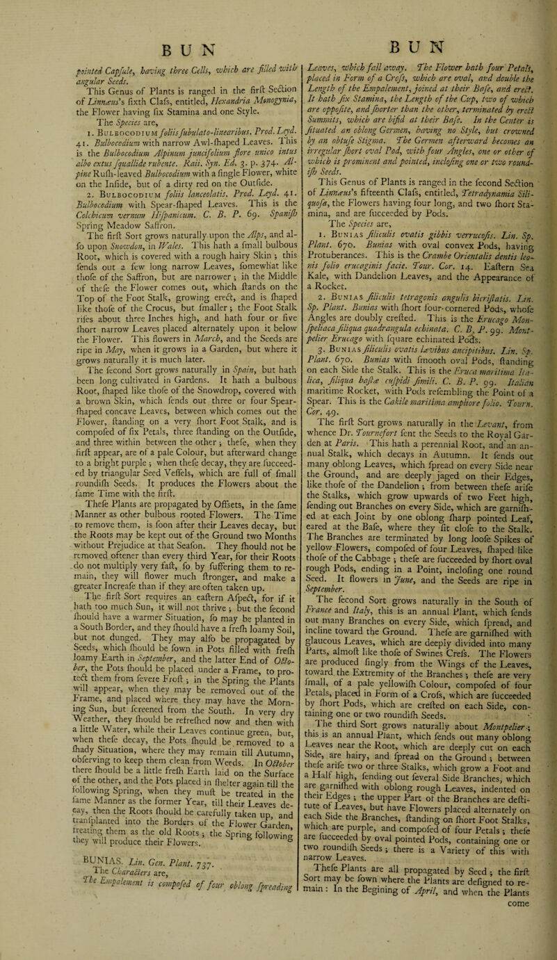 painted Capfule, having three Cells, which are filled with angular Seeds. This Genus of Plants is ranged in the firft Section of Linnaeus'% fixth Clafs, entitled, Hexandria Monogynia, the Flower having fix Stamina and one Style. The Species are, 1. Bulbocodium foliisfubulato-linearibus. Prod.Leyd,. 41. Bulbocodium with narrow Awl-fhaped Leaves. This is the Bulbocodium Alpinum juncifolium fore unico intus albo extus fquallide rubente. Rail. Syn. Ed. 3. p. 374- pine Rufh-leaved Bulbocodium with a Angle Flower, white on the Infide, but of a dirty red on the Outfibe. 2. Bulbocodium foliis lanceolatis, Prod. Leyd. 41. Bulbocodium with Spear-fhaped Leaves. This is the Colchicum vernum Hifpanicum. C. B. P. 69. Spunify Spring Meadow Saffron. The firft Sort grows naturally upon the Alps, and al- fo upon Snowden, in Wales. This hath a fmall bulbous Root, which is covered with a rough hairy Skin ; this lends out a few long narrow Leaves, fomewliat like thofe of the Saffron, but are narrower •, in the Middle of thefe the Flower comes out, which ftands on the Top of the Foot Stalk, growing ereeft, and is fhaped like thofe of the Crocus, but fmaller ; the Foot Stalk riles about three Inches high, and hath four or five lhort narrow Leaves placed alternately upon it below the Flower. This flowers in March, and the Seeds are ripe in May, when it grows in a Garden, but where it grows naturally it is much later. The fecond Sort grows naturally in Spain, but hath been long cultivated in Gardens. It hath a bulbous Root, fhaped like thofe of the Snowdrop, covered with a brown Skin, which fends out three or four Spear- fhaped concave Leaves, between which comes out the Flower, Handing on a very fhort Foot Stalk, and is compofed of fix Petals, three Handing on the Outfide, and three within between the other ; thefe, when they firft appear, are of a pale Colour, but afterward change to a bright purple ; when thele decay, they are fucceed- ed by triangular Seed Veflels, which are full of fmall roundifh Seeds. It produces the Flowers about the fame Time with the firft. Thefe Plants are propagated by Offsets, in the fame Manner as other bulbous rooted Flowers. The Time to remove them, is foon after their Leaves decay, but the Roots may be kept out of the Ground two Months without Prejudice at that Seafon. They fhould not be removed oftener than every third Year, for their Roots do not multiply very faft, fo by fuffering them to re¬ main, they will flower much ftronger, and make a greater Increafe than if they are often taken up. The firft Sort requires an eaftern Afpetft, for if it hath too much Sun, it will not thrive ; but the fecond fhould have a warmer Situation, fo may be planted in a South Border, and they fhould have a frefh loamy Soil, but not dunged. They may alfo be propagated by Seeds, which fhould be fown in Pots filled with frefh loamy Earth in September, and the latter End of Octo¬ ber, the 1 ots lhould be placed under a Frame, to pro- tTd them from feveie Froft •, in the Spring the Plants will appear, when they may be removed out of the Frame, and placed where they may have the Morn¬ ing Sun, but fereened from the South. In very dry Weather, they fhould be refrefhed now and then with a little Water, while their Leaves continue green, but, when thefe decay, the Pots fhould be removed to a fhady Situation, where they may remain till Autumn obferving to keep them clean from Weeds. In October there fhould be a little frefh Earth laid on the Surface of the other, and the Pots placed in fhelter ao-ain till the following Spring, when they mult be treated in the fame Manner as the former Year, till their Leaves de¬ cay, then the Roots fhould be carefully taken up and transplanted into the Borders of the Flower Garden treating them as the old Roots > the Spring following they will produce their Flowers. 0 BUNIAS. Lin. Gen. Plant. 737. The Characters are, ne EmP^ement is compofed of four oblong fpreading Leaves, which fall away. The Flower hath four Petals, placed in Form of a Crcfs, which are oval, and double the Length of the Empalement, joined at their Bafe, and ereCt. It hath fix Stamina, the Length of the Clip, two of which are oppofite, and foorter than the other, terminated by ereCi Summits, which are bifid at their Bafe. In the Center is fituated an oblong Germen, having no Style, but crowned by an obtufe Stigma. The Germen afterward becomes an irregular fhort oval Pod, with four Angles, one or other of which is prominent and pointed, inclofing one or two round- iflj Seeds. This Genus of Plants is ranged in the fecond Section of Linnaus’s fifteenth Clafs, entitled, Tetradynamia Sili- quofa, the Flowers having four long, and two fhort Sta¬ mina, and are fucceeded by Pods. The Species are, 1. Bunias ftliculis ovatis gibbis verrucofis. Lin. Sp. Plant. 670. Bunias with oval convex Pods, having Protuberances. This is the Crambe Orientalis dentis leo- nis folio erucaginis facie. Tour. Car. 14. Eaftern S'ea Kale, with Dandelion Leaves, and the Appearance of a Rocket. 2. Bunias ftliculis tetragonis angulis bier if at is. Lin. Sp. Plant. Bunias with fhort four-cornered Pods, whofe Angles are doubly crefted. This is the Erucago Mon- fpeliaca filiqua quadrangula echinata. C. B. P. 99. Mont ¬ pelier Erucago with fquare echinated Poets. 3. Bunias ftliculis ovatis lavibus ancipitibus. Lin. Sp. Plant. 670. Bunias with fmooth oval Pods, Handing on each Side the Stalk. This is the Eruca maritima Ita- lica, filiqua haft<e cufpidi fimili. C. B. P. 99. Italian maritime Rocket, with Pods refcmbling the Point of a Spear. This is the Cakile maritima ampliore folio. Tourn. Cor. 49. The firft Sort grows naturally in the Levant, from whence Dr. Tournefort fent the Seeds to the Royal Gar¬ den at Paris. This hath a perennial Root, and'an an¬ nual Stalk, which decays in Autumn. It fends out many oblong Leaves, which fpread on every Side near the Ground, and are deeply jaged on their Edges, like thofe of the Dandelion ; from between thefe arife the Stalks, which grow upwards of two Feet high, fending out Branches on every Side, which are garnifh- ed at each Joint by one oblong fharp pointed Leaf, eared at the Bafe, where they fit clofe to the Stalk. The Branches are terminated by long loofe Spikes of yellow Flowers, compofed of four Leaves, fhaped like thofe of the Cabbage ; thefe are fucceeded by fhort oval rough Pods, ending in a Point, inclofing one round Seed. It flowers in June, and the Seeds are ripe in September. The fecond Sort grows naturally in the South of France and Italy, this is an annual Plant, which fends out many Branches on every Side, which fpread, and incline toward the Ground. Thefe are garnifhed with glaucous Leaves, which are deeply divided into manv Parts, almoft like thofe of Swines Crefs. The Flowers aie produced fingly from the Wings of the Leaves, toward the Extremity of the Branches ; thefe are very fmall, of a pale yellowifh Colour, compofed of four Petals, placed in Form of a Crofs, which are fucceeded by fliort Pods, which are crefted on each Side, con¬ taining one or two roundifh Seeds. The third Sort grows naturally about Montpelier■; this is an annual Plant, which fends out many oblong Leaves near the Root, which are deeply cut on each Side, are hairy, and fpread on the Ground ; between thefe arife two or three Stalks, which grow a Foot and a Hall high, fending out feveral Side Branches, which are garnifhed with oblong rough Leaves, indented on t eir Edges ; the upper Part of the Branches are defti- tute of Leaves, but have Flowers placed alternately on each Side the Branches, Handing on fhort Foot Stalks, which are purple, and compofed of four Petals ; thefe are fucceeded by oval pointed Pods, containing one or two roundifh Seeds ; there is a Variety of this with narrow Leaves. Thefe Plants are all propagated bv Seed ; the firft Sort may be fown where the Plants are defigned to re¬ main : In the Begming of April, and when the Plants come