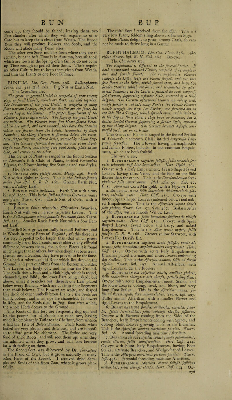 come up, they Ihouid be thined, leaving them two Feet a funder, after which they will require no other Care but to keep them clean from Weeds. The fecond Year they will produce Fl-owers and Seeds, and the Roots wili abide many Years after. The other two Sorts mult be fown where they are to remain, but the beft Time is in Autumn, becaufe thofe which are fown in the Spring often fail, or do not come up Time enough to perfetft their Seeds. Thefe require no other Culture but to keep them clean from Weeds, and thin the Plants to one Foot Diftance. BUNIUM. Lin. Gen. Plant. 298. Bulbocajlanum Tourn. Inft. 312. Lab. 161. Pig Nut or Earth Nut. The Characters are, The great, or general Umbel is compofed of near twenty Rays or fmall Umbels, which are fhort, and clofe together. The Involucrum of the great Umbel, is compofed of many fort narrow Leaves, thofe of the fmaller are the fame, but are as long as the Umbels. The proper Empalement of the Flower is fcarce difcernable. The Rays of the great Umbel are uniform. The Flowers have five Heart-fhaped Petals which are equal, and turn inward, they have five Stamina which are Jhorter than the Petals, terminated by fingle Summits the oblong Germen is fituated below the recep¬ tacle,fupp or ting two reflexed Styles, crowned by a blunt Stig¬ ma. The Germen afterward becomes an oval Fruit divid¬ ing in two Parts, containing two oval Seeds, plain on one Side, and convex on the other. This Genus of Plants is ranged in the fecond Section of Linnaus's fifth Clafs of Plants, intitled Pentandria Digynia, the Flower having five Stamina and two Styles. The Species are, 1. Bunium bulbo globofo Savw. Monfp. 256. Earth Nut with a globular Root. This is the Bulbocajlanum tnajus folio Apii. C. B. P. 162. Greater Earth Nut, with a Parfley Leaf. 2. Bunium radice turbinato. Earth Nut with a tur¬ binated Root. This is the Bulbocajlanum Creticum radice napi-formi Tourn. Cor. Earth Nut of Crete, with a Turnep Root. ■3. Bunium foliis tripartitis filiformibus linearibus. Earth Nut with very narrow tripartite Leaves. This is the Bulbocajlanum minus faxatile Peucedani folio. Tburn. Inft. 3 12. Smaller Rock Earth Nut with a Sow Fen¬ nel Leaf. The firft Sort grows naturally in moift Paftures, and in Woods in many Parts of England; of this there is a Variety, fuppofed to be larger than that which grows commonly here, but I could never obferve any efiential difference between them ; for in fome Places it is found much larger than in others, but when they have been trans¬ planted into a Garden, they have proved to be the fame. This hath a tuberous folid Root which lies deep in the Ground, and puts out fibres from the Bottom and Sides. The Leaves are finely cut, and lie near the Ground. The Stalk rifes a Foot and a Half high, which is round, channeled, and folid; the lower Part being naked, but above, where it branches out, there is one Leaf placed below every Branch, which are cut into finer Segments than thofe below: The Flowers are white, and fhaped like thofe of other umbelliferous Plants ; the Seeds are fmall, oblong, and when ripe are channeled. It flowers in May, and the Seeds ripen in July, foon after which, the whole Herb decays to the Ground. The Roots of this fort are frequently dug up, and by the poorer fort of People are eaten raw, having muchRefemblance in Tafte to the Cheftnut, from whence it had the Title of Bulbocajlanum. Thefe Roots when boiled are very pleafant and delicious, and arc fuppof¬ ed to afford great Nourifhment. The Swine are very fond of thefe Roots, and will root them up, when they are admited where they grow, and will foon become fat with feeding on them. The fecond Sort was difcovered by Dr. Tournefort in the Ifiand of Crete, but it grows naturally in many other Parts of the Levant. I received dried Sam¬ ples and Seeds of this from Zant, where it grows plen¬ tifully. The third Sort I received from ihe. Alps. This is t very low Plant, feldom riling above fix Inches high. Thefe Plants delight to grow among Grafs, fo can¬ not be made to thrive long in a Garden. BUPHTHALMUM. Lin. Gen. Plant. 876. Afle- rifcus. Tourni Injt. R. H. Tab. 285. Ox-eye. The Characters are, The Empalement is different in the feveral Species: It hath a compound radiated Flower, compofed of hermaphro¬ dite and female Florets. The hermaphrodite Flowers compofe the Ibift thefe are Funnel-fhaped, and cut into five Parts at the Brim, which fpread open, and have five Jlender Stamina which are fihort, and terminated by cylin¬ drical Summits in the Center is fituated an oval compref- fled Germen, flupporting a fiender Style, crowned by a thick Stigma. The Germen afterward becomes an oblong Seed, whofe Border is cut into many Parts; the Female Flowers which compofe the Rays (or Border) are fir etched cut on one Side like a Tongue, which fipreads open, and is indented at the Top in three Parts; thefe have no Stamina, but a double headed Germen flupporting a fiender Style, crowned by two oblong Stigma. The Germen becomes a jingle com - prejfed Seed, cut on each Side. This Genus of Plants is ranged in the fecond Seftion of Linnaeus’s nineteenth Clafs, intitled Syngenefia Poly- gamia fiuperfiua. The Flowers having hermaphrodite and female Florets, included in one common Empale¬ ment, which are both fruitful.- The Species are, 1. Buphthalmum calycibus foliofis, foliis cordatis fer* ratis trinerviis baft hinc brevioribus. Hort. Upfal. 2 64. Ox-eye with a leafy Empalement, Heart-fhaped fawed' Leaves, having three Veins, and the Bafe on one Side fhorter than the other. This is the Chryfanthemum Scro- phularite folio Americanum. Pluk. Aim. 99. Tab. 22. f. 1. American Corn Marigold, with a Figwort Leaf. 2. Buphthalmum foliis lanceolatis fubdenticulatisgla- bris, calycibus nudis. Hort. Cliff. 415. Ox-eye with fmooth Spear-fhaped Leaves (indented below) and nak¬ ed Empalements. This is the Afteroides Alpina falicis folio glabro. Tourn. Cor. 51. Tab. 487. Baftard- After of the Alps, with a fmooth Willow Leaf. 3. Buphthalmum foliis lanceolatis fubferratis villofis calycibus nudis. Hort. Cliff. 414. Ox-eye with Spear fhaped Leaves, fawed below and hairy, and naked Empalements. This is the Alter luteus major, foliis fucclfa. C. B. P. 2 66. Greater yellow Starwort, with Leaves like Devil’s Bit. 4. Buphthalmum calycibus acute foliofis, ramis al¬ ter nis, foliis lanceolatis amplexicaulibus integerrimis. Hon. Clift. 414. Ox-eye with acute leafy Empalements# Branches placed alternate, and entire Leaves embracing the Stalks. This is the After ifcus annuus, foliis ad jlorem rigidis. Tourn. Inft. 497. Annual Afterifcus, with rigid I.eaves under the Flowers 5. Buphthalmum calycibus acutis, caulibus glabris,- foliis radicalibus oblongo-ovatis obtufis, petiolis longiftimtSi Ox-.eye with acute Empalements, fmooth Stalks, and the lower Leaves oblong, oval, and blunt, and very long Foot Stalks. This is the Afterifcus annuus fo¬ liis ad jlorem rigidis flore minore elatior. Tourn. Inft. 49 7. Taller annual Afterifcus, with a fmaller Flower and rigid Leaves to the Empalement. 6. Buphthalmum floribus axillaribus calycibus folio¬ fis, fpinis terminalibus, foliis oblongis obtufis, feftilibus. Ox-eye with Flowers coming from the Sides of the Branches, leaiy Empalements ending with Spines, and oblong blunt Leaves growing clofe to the Branches. This is the Afterifcus annuus maritimus patulus. Tourn, Inft. 498. Annual fpreading maritime Afterifcus. 7. Buphthalmum calycibus obtuse foliofispedunculatis, ramis alternis, foliis cuneiformibus. Hort. Cliff. 414. Ox-eye with blunt leafy Empalements, having Foot Stalks, alternate Branches, and Wedge-fhaped Leaves. This is the Afterifcus maritimus perennis patulus. Tcurn. Inft. 498. Perennial fpreading maritime Afterifcus. 8. Buphthalmum calycibus obtuse foliofis feftilibus axillaribus, foliis oblongis obtufis. Hort. Clift. 414. Ox- ey €