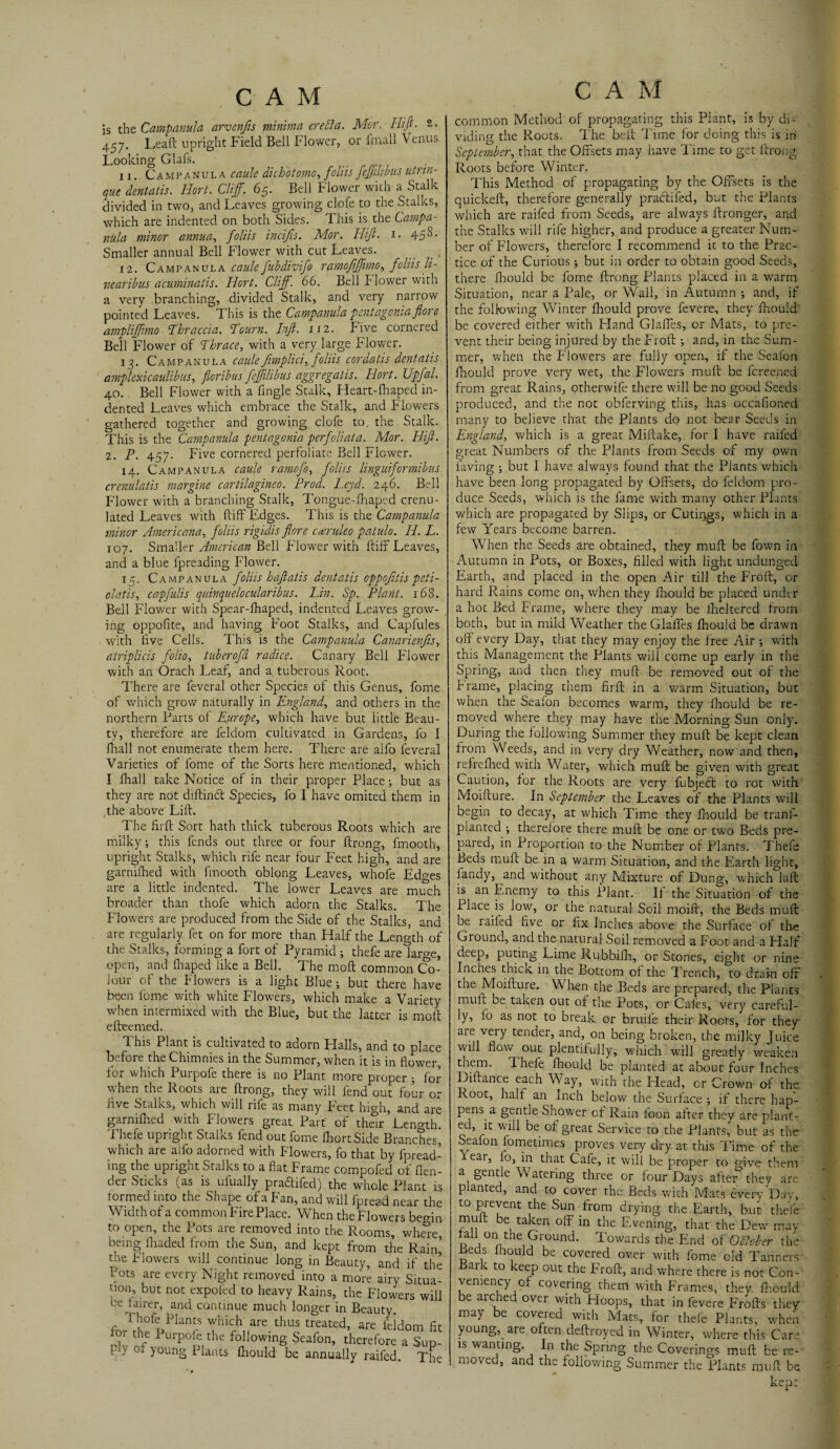 is the Campanula arvenfts minima ere El a. Mor. Hi ft. 2. 457. Leaf!; upright Field Bell Flower, or frnall Venus Looking Glafs. 11. Campanula caule dichotomo, foliis feffilibus utnn- que dentatis. Hort. Cliff. 65. Bell Flower with a Stalk divided in two, and Leaves growing clofe to the Stalks, which are indented on both Sides. T his is the Campa¬ nula minor annua, foliis inciffs. Mor. Hi ft. 1. 45 Smaller annual Bell Flower with cut Leaves. 12. Campanula caule fubdivifo ramoftffimo, foliis li- nearibus acuminatis. Hort. Cliff. 66. Bell Flower with a very branching, divided Stalk, and very narrow pointed Leaves. This is the Campanula pentagoniaflore ampliffmo Thraccia. Tourn. Inft. 112. Five cornered Bell Flower of Thrace, with a very large Flower. 13. Campanula caule Jhnplici, foliis cordatis dentatis amplexicaulibus, ficribus feffilibus aggregatis. Hort. Upfal. 40. Bell Flower with a Angle Stalk, Heart-fhaped in¬ dented Leaves which embrace the Stalk, and Flowers gathered together and growing clofe to, the Stalk. This is the Campanula pentagonia perfoliata. Alor. Hift. 2. P. 457. Five cornered perfoliate Bell Flower. 14. Campanula caule ramofo, foliis linguiformibus crenulatis margine cartilagineo. Prod. Leyd. 246. Bell Flower with a branching Stalk, Tongue-fhaped crenel¬ lated Leaves with ftiff Edges. This is the Campanula minor Americana, foliis rigidis flore caruleo patulo. H. L. 107. Smaller American Bell Flower with ftiff Leaves, and a blue fpreading Flower. 15. Campanula foliis h aflat is dentatis oppofitis peti- olatis, capfulis quinquelocularibus. Pin. Sp. Plant. 168. Bell Flower with Spear-fhaped, indented Leaves grow¬ ing oppofite, and having Foot Stalks, and Capfules with five Cells. This is the Campanula Canarienfis, atriplicis folio, tuberofd radice. Canary Bell Flower with an Orach Leaf, and a tuberous Root. There are feveral other Species of this Genus, fome of which grow naturally in England, and others in the northern Parts of Europe, which have but little Beau¬ ty, therefore are feldom cultivated in Gardens, fo I fhall not enumerate them here. There are alfo feveral Varieties of fome of the Sorts here mentioned, which I fhall take Notice of in their proper Place; but as they are not diftinct Species, fo 1 have omited them in the above Lift. The firft Sort hath thick tuberous Roots which are milky; this fends out three or four ftrong, fmooth, upright Stalks, which rife near four Feet high, and are garnifhed with fmooth oblong Leaves, whole Edo-es are a little indented. The lower Leaves are much broader than thofe which adorn the Stalks. The Flowers are produced from the Side of the Stalks, and are regularly fet on for more than Half the Length of the Stalks, forming a fort of Pyramid ; thefe are laro-e, open, and fhaped like a Bell. The moft common Co¬ lour of the Flowers is a light Blue; but there have been fome with white Flowers, which make a Variety when intermixed with the Blue, but the latter is moft efteemed. This Plant is cultivated to adorn Halls, and to place before the Chimnies in the Summer, when it is in flower, for which Purpofe there is no Plant more proper ; for when the Roots are ftrong, they will lend out four or five Stalks, which will rife as many Feet high, and are garnifhed with Flowers great Part of their Length. Thefe upright Stalks fend out fome IhortSide Branches^ which are aifo adorned with Flowers, fo that by fpread¬ ing the upright Stalks to a flat Frame compofed of (len¬ der Sticks (as is ufually pradlifed) the whole Plant is lormed into the Shape of a Fan, and will fpread near the Width of a common Fire Place. When the Flowers begin to open, the Pots are removed into the Rooms, where, being ftiaded from the Sun, and kept from the Rain’ the Flowers will continue long in Beauty, and if the Pots are every Night removed into a more airy Situa¬ tion, but not expoled to heavy Rains, the Flowers will ne fairer, and continue much longer in Beauty. fhofe Plants which are thus treated, are feldom fit or the Purpofe the following Seafon, therefore a Sup- t 4 Ol young Plants fhould be annually raifed. The C A M common Method of propagating this Plant, is by di¬ viding the Roots. The belt Time for doing this is in September, that the Offsets may have Time to get ftrong Roots before Winter. This Method of propagating by the Offsets is the quickeft, therefore generally pracftifed, but the Plants which are raifed from Seeds, are always ftronger, and the Stalks will rife higher, and produce a greater Num¬ ber of Flowers, therefore I recommend it to the Prac¬ tice of the Curious; but in order to obtain good Seeds, there fhould be fome ftrong Plants placed in a warm Situation, near a Pale, or Wall, in Autumn ; and, if the foil-owing Winter fhould prove fevere, they fhould be covered either with Hand Glaffes, or Mats, to pre¬ vent their being injured by theFroft •, and, in the Sum¬ mer, when the Flowers are fully open, if the Seafon fhould prove very wet, the Flowers muff be fcreened from great Rains, otherwife there will be no good Seeds produced, and the not obferving this, has occafioned many to believe that the Plants do not bear Seeds in England, which is a great Miftake, for I have raifed great Numbers of the Plants from Seeds of my own laving ; but I have always found that the Plants which have been long propagated by Offsets, do feldom pro¬ duce Seeds, which is the fame with many other Plants which are propagated by Slips, or Curings, which in a few Years become barren. When the Seeds are obtained, they mu ft be fown in Autumn in Pots, or Boxes, filled with light undunged Earth, and placed in the open Air till the Froft, or hard Rains come on, when they fhould be placed under a hot Bed Frame, where they may be lheltered from both, but in mild Weather the Glaffes fhould be drawn oft every Day, that they may enjoy the free Air *, with this Management the Plants will come up early in the Spring, and then they muft be removed out of the frame, placing them firft in a warm Situation, but when the Seafon becomes warm, they -fhould be re¬ moved where they may have the Morning Sun only. During the following Summer they muft be kept clean from Weeds, and in very dry Weather, now and then, refrefhed with Water, which muft be given with great Caution, for the Roots are very fubjedt to rot with Moifture. In September the Leaves of the Plants will begin to decay, at which Time they fhould be trans¬ planted -, therefore there muft be one or twx> Beds pre¬ pared, in Proportion to the Number of Plants. Thefe Beds muft be in a warm Situation, and the Earth light, landy, and without any Mixture of Dung, which laft is an Enemy to this Plant. If the Situation of the Place is low, or the natural Soil moift, the Beds muft be railed five or fix Inches above the Surface of the Ground, and the natural Soil removed a Foot and a Half deep, puting Lime Rubbifh, or Stones, eight or nine Inches thick in the Bottom of the Trench, to drain off the- Moifture. When the Beds are prepared, the Plants muft be taken out of the Pots, or Cafes, very careful¬ ly, lo as not to break or bruife their Roots, for they are very tender, and, on being broken, the milky Juice will flow out plentifully, which will greatly weaken them. Thefe fhould be planted at about four Inches Diftance each W ay, with the Head, or Crown of the Root, half an Inch below the Surface ; if there hap¬ pens a gentle Shower of Rain foon after they are plants ed, it will be of great Service to the Plants, but as the Sealon fomedmes proves very dry at this Time of the leai, fo, in that Cafe, it will be proper to give them a gentle Watering three or four Days after they are planted, and to cover the Beds with Mats every Day, to prevent the Sun from drying the Earth, but thefe muff be taken off in the Evening, that the Dew may tail on the Ground. Towards the End of OElober the eels fhould be covered over with fome old Tanners Bark to keep out the Froft, and where there is not Con- vemency of covering them with Frames, they fhould be arched over with Hoops, that in fevere Frofts they may be covered with Mats, for thefe Plants, when young, are often deftroyed in Winter, where this Care, is wanting. In the Spring the Coverings muft be re¬ moved, and the following Summer the Plants muft be kep: