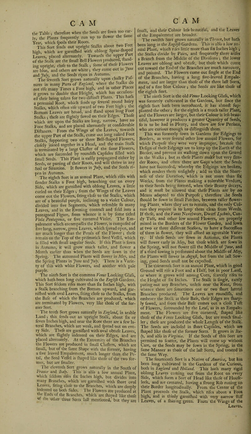 the Table •, therefore when the Seeds are fown too ear¬ ly, the Plants frequently run up to flower the lame Year, which fpoils their Roots. This Sort fends out upright Stalks about two fleet high, which are garnifhed with oblong Spear-fhaped Leaves, placed alternately. Towards the upper Part of the Stalk are the fmall Bell Flowers produced, Hand¬ ing upright, clofe to the Stalk ; fome of thefe Floweis are blue, and others are white ; they come out in June and July, and the Seeds ripen in Autumn. The feventh Sort grows naturally upon chalky Fal- tures in many Parts of England, where the Stalks c.o not rife many Times a Foot high, and in other 1 laces it grows to double that Height, which has occafion- ed their being taken for two diftineft Plants. This hatn a perennial Root, which fends up feveral round hairy Stalks, which often rife upward of two beet high ; the Bottom Leaves are broad, and ftand upon long Foot Stalks ; thefe are (lightly fawed on their Edges. T. hofe which are upon the Stalks are long, narrow, have no Foot Stalks, and are placed alternately at confiderable Diftances. From the Wings of the Leaves, towards the upper Part of the Stalk, come out long naked Foot Stalks, fupporting two or three Bell-fhaped Flowers, clofely joined together in a Head, and the main Stalk is terminated by a large Clufter of the fame Flowers, which are fucceeded by roundifh Capfules filled with fmall Seeds. This Plant is eafily propagated either by Seeds, or parting of their Roots, and will thrive in any Soil or Situation. It flowers in July, and the Seeds ri¬ pen in Autumn. The eighth Sort is an annual Plant, which rifes with fiender Stalks a Foot high, branching out on every Side, which are garnilhed with oblong Leaves, a little curled on their Edges •, from the Wings of the Leaves come out the Flowers, fiting clofe to the Stalks, which are of a beautiful purple, inclining to a violet Colour, divided into five Segments, which refemble fo many Leaves, and in the Evening contrad and fold into a pentagonal Figure, from whence it is by fome titled Viola Pentagonia, or five cornered Violet. The Em- palement which encompafles the Flower, is compofed of five long, narrow, green Leaves, which fpread open, and are much longer than the Petals of the Flower •, thefe remain on the Top of the prifmatick Seed Veflfel, which is filled with fmall angular Seeds. It this Plant is fown in Autumn, it will grow much taller, and flower a Month earlier than when the Seeds are fown in the Spring. The autumnal Plants will flower in May, and the Spring Plants in June and July. There is a Varie¬ ty of this with white Flowers, and another with pale purple. The ninth Sort is the common Venus Looking Glafs, which hath been long cultivated in the Englijh Gardens. This Sort feldom rifes more than fix Inches high, with a Stalk branching from the Bottom upward, and gar¬ nilhed with oval Leaves, fiting clofe to the Stalks, from the Bafe of which the Branches are produced, which are terminated by Flowers, very like thofe of the for¬ mer Sort. The tenth Sort grows naturally in England, in arable Land •, this fends out an upright Stalk, about fix or feven Inches high, and near the Root there are a few la¬ teral Branches, which are weak, and fpread out on eve¬ ry Side. Thefe are garnilhed with oval obtufe Leaves, which are flightly indented on their Edges, and are placed alternately. At the Extremity of the Branches the Flowers are produced in fmall Clutters, which are fmall, but of the fame Shape with the former, having a five leaved Empalement, much longer than the Pe¬ tal, the Seed Veflfel is lhaped like thofe of the two for¬ mer, but are fmaller. The eleventh Sort grows naturally in the South of France and Italy. This is alfo a low annual Plant, which feldom rifes fix Inches high, but divides into many Branches, which are garnilhed with fhort oval Leaves, fiting dole to the Branches, which are deeply indented on both Sides. The Flowers are produced at the Ends of the Branches, which are lhaped like thofe :'ae odier three Sorts laft mentioned, but they are CAM fmall, and their Colour lefs beautiful, and the Leaves of the Empalement are broader. The twelfth Sort grows naturally in Thrace, but hath been long in the Englijh Gardens. This is alfo a low an¬ nual Plant, which rifes little more than fix Inches high i the Stalks divide by Pairs, and frequently there arifes a Branch from the Middle of the Divifions •, the lower Leaves are oblong and obtufe, but thofe which come out toward the End of the Branches are much narrower, and pointed. The Flowers come out Angle at the End of the Branches, having a long five-leaved Empale¬ ment, and are larger than thofe of the three laft Sorts, and of a fine blue Colour ; the Seeds are like thofe of the eighth Sort. The ninth Sort is the old Venus Looking Glafs, which was formerly cultivated in the Gardens, but fince the eighth Sort hath been introduced, it has almoft fup- planted the other; for the eighth is a much taller Plant, and the Flowers are larger, but their Colour is lefs beau¬ tiful, however it produces a greater Quantity of Seeds, fo is to be had in Plenty, and there are few Perfons, who are curious enough to diftinguilh them. This was formerly fown in Gardens for Edgings to Borders, as were feveral other low annual Flowers, for which Purpofe they were very improper, becaufe the Defign of thefe Edgings are to keep up the Earth of the Border, and prevent its walking down upon the Gravel in the Walks ; but as thefe Plants make but very {len¬ der Roots, and often there are Gaps where the Seeds have not fucceeded, whereby the Edgings are broken, which renders them unfightly •, add to this the Short- nefs of their Duration, which is not more than fix Weeks, from the Plants making a tolerable Verdure, to their Seeds being formed, when their Beauty decays, and it muft be allowed that thefe Plants are by no Means adapted to this Purpofe ; therefore i.he Seeds Ihould be fown in fmall Patches, between taller flower¬ ing Plants, where they are to remain, and the only Cul¬ ture they require is to keep them clean from Weeds. If thefe, and the Venus Navelwort, Dwarf Lychnis, Can¬ dy Tuft, and other low annual Flowers, are properly mixed in the Borders of the Flower Garden, and fown at two or three different Seafons, to have a Succeffion of them in flower, they will afford an agreeable Varie¬ ty. If thefe Seeds are fown in Autumn, the Plants will flower early in May, but thofe which are fown in the Spring, will not flower till the Middle of June, and if a third lowing is performed about the Middle of May, the Plants will flower in Augujl, but from the laft Sow¬ ing, good Seeds muft not be expeefted. The thirteenth Sort is an annual Plant, which in good Ground will rife a Foot and a Half, but in poor Land, or where it grows wild among Corn, fcarcely rifes to the Height of fix Inches. The Stalk is Angle', rarely puting out any Branches, unlefs near the Root, from whence there are fometimes one or two fhort lateral Branches produced. The Leaves are roundifh, and embrace the Stalk at their Bafe, their Edges are fliarp- ly fawed, and from their Bafe comes out a clofe Tuft of Flowers, furrounded by the Leaf, as in an Empale¬ ment. The Flowers are five cornered, fhaped like thofe of the Venus Looking Glafs, but are much imal- ler i thefe are produced the whole Length of the Stalk. The Seeds are inclofed in fhort Capfules, which are fhaped like thofe of the former Sorts. It grows in Ita¬ ly, and alfo in Virginia. If the Seeds of this Sort are permited to fcatter, the Plants will come up without Care, or the Seeds may be fown in the Spring, in the fame Manner as thole of the laft Sorts, and treated in the fame Way. The fourteenth Sort is a Native of America, but has been long cultivated in the Gardens of the Curious, both in England and Holland. This hath many rigid oblong Leaves coming out from the Root on every Side, which form a Sort of Head like thofe of Houfe- leek, and are crenated, having a ftrong Rib runing on their Border longitudinally. From the Center of the Plant proceeds the Stalk, which rifes about a Foot high, and is thinly garnilhed with very narrow ftiff Leaves, of a finning green. From the Wings of the Leaves,