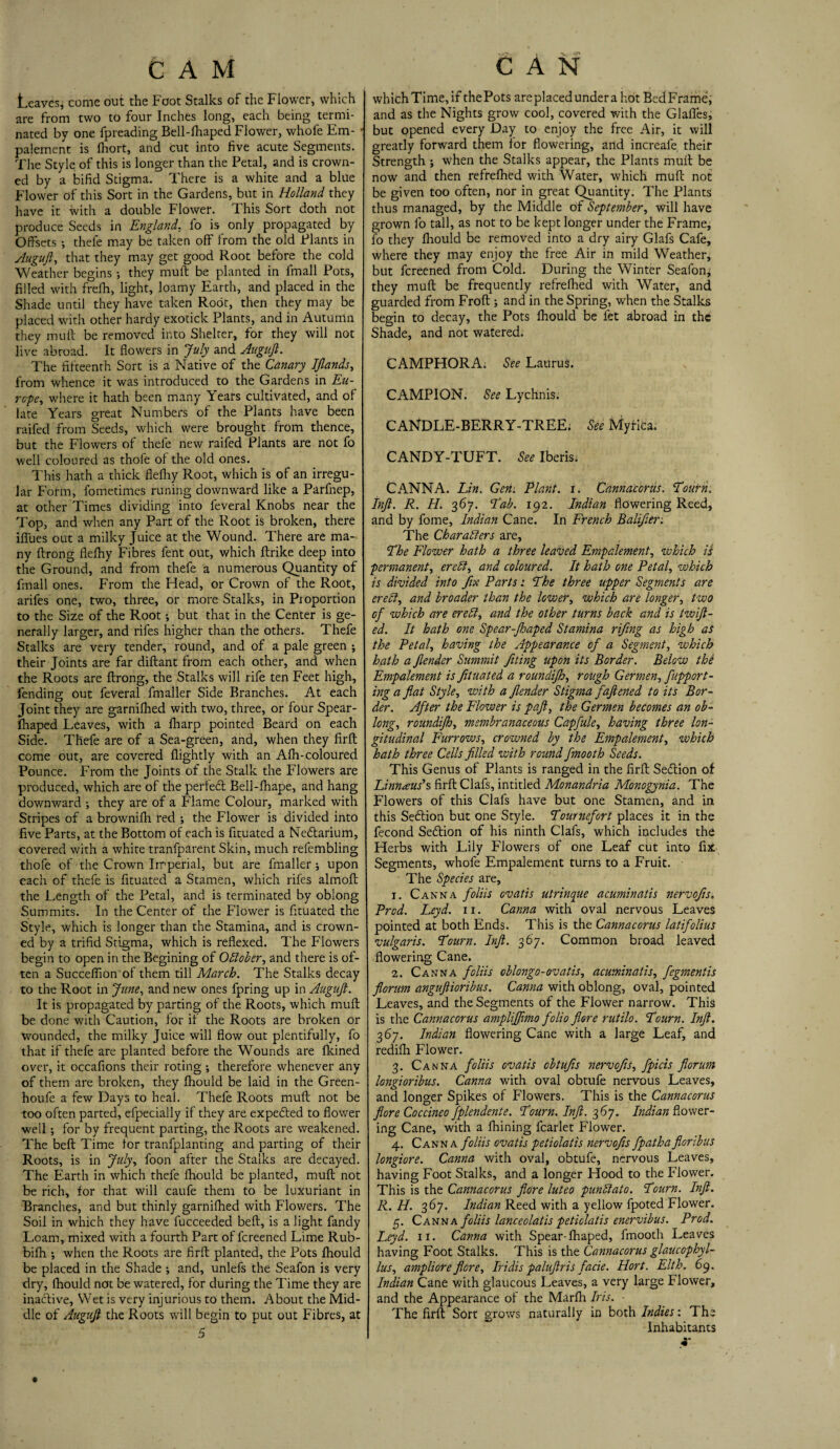 Leaves* come out the Foot Stalks of the Flower, which are from two to four Inches long, each being termi¬ nated by one fpreading Bell-fhaped Flower, whofe Em- • palement is fhort, and cut into five acute Segments. The Style of this is longer than the Petal, and is crown¬ ed by a bifid Stigma. There is a white and a blue Flower of this Sort in the Gardens, but in Holland they have it with a double Flower. This Sort doth not produce Seeds in England. fo is only propagated by Offsets •, thefe may be taken off from the old Plants in Auguft, that they may get good Root before the cold Weather begins they mu ft be planted in fmall Pots, filled with frefh, light, loamy Earth, and placed in the Shade until they have taken Root, then they may be placed with other hardy exotick Plants, and in Autumn they mull be removed into Shelter, for they will not live abroad. It flowers in July and Auguft. The fifteenth Sort is a Native of the Canary Iflands, from whence it was introduced to the Gardens in Eu¬ rope, where it hath been many Years cultivated, and of late Years great Numbers of the Plants have been raifed from Seeds, which were brought from thence, but the Flowers of thefe new raifed Plants are not fo well coloured as thole of the old ones. This hath a thick flefhy Root, which is of an irregu¬ lar Form, fometimes runing downward like a Parfnep, at other Times dividing into feveral Knobs near the Top, and when any Part of the Root is broken, there ifllies out a milky Juice at the Wound. There are ma¬ ny ftrong flefhy Fibres fent out, which ftrike deep into the Ground, and from thefe a numerous Quantity of fmall ones. From the Head, or Crown of the Root, arifes one, two, three, or more Stalks, in Proportion to the Size of the Root *, but that in the Center is ge¬ nerally larger, and rifes higher than the others. Thefe Stalks are very tender, round, and of a pale green ; their Joints are far diftant from each other, and when the Roots are ftrong, the Stalks will rife ten Feet high, fending out feveral fmaller Side Branches. At each Joint they are garnifhed with two, three, or four Spear- fhaped Leaves, with a flrarp pointed Beard on each Side. Thefe are of a Sea-green, and, when they firft come out, are covered flightly with an Afh-coloured Pounce. From the Joints of the Stalk the Flowers are produced, which are of the perfect Bell-fhape, and hang downward ; they are of a Flame Colour, marked with Stripes of a brownifti red ; the Flower is divided into five Parts, at the Bottom of each is fituated a Nedtarium, covered with a white tranfparent Skin, much refembling thofe of the Crown Imperial, but are fmaller ; upon each of thefe is fituated a Stamen, which rifes almoft the Length of the Petal, and is terminated by oblong Summits. In the Center of the Flower is fituated the Style, which is longer than the Stamina, and is crown¬ ed by a trifid Stigma, which is reflexed. The Flowers begin to open in the Begining of Oliober, and there is of¬ ten a Succeflion of them till March. The Stalks decay to the Root in June, and new ones fpring up in Auguft. It is propagated by parting of the Roots, which muft be done with Caution, for if the Roots are broken or wounded, the milky Juice will fiowr out plentifully, fo that if thefe are planted before the Wounds are fkined over, it occafions their roting ; therefore whenever any of them are broken, they fhould be laid in the Green- houfe a few Days to heal. Thefe Roots muft not be too often parted, efpecially if they are expedted to flower well; for by frequent parting, the Roots are weakened. The beft Time lor tranfplanting and parting of their Roots, is in July, foon after the Stalks are decayed. The Earth in which thefe fhould be planted, muft not be rich, for that will caufe them to be luxuriant in Branches, and but thinly garnifhed with Flowers. The Soil in which they have fucceeded beft, is a light fandy Loam, mixed with a fourth Part of fcreened Lime Rub- bifh ; when the Roots are firft planted, the Pots fhould be placed in the Shade ; and, unlefs the Seafon is very dry, fhould not be watered, for during the Time they are inactive, Wet is very injurious to them. About the Mid¬ dle of Auguft the Roots will begin to put out Fibres, at 5 whichTime, if thePots areplacedundera hot BedFrame, and as the Nights grow cool, covered with the Glafles, but opened every Day to enjoy the free Air, it will greatly forward them for flowering, and increale their Strength ; when the Stalks appear, the Plants muft be now and then refrefhed with Water, which muft not be given too often, nor in great Quantity. The Plants thus managed, by the Middle of September, will have grown fo tall, as not to be kept longer under the Frame, fo they fhould be removed into a dry airy Glafs Cafe, where they may enjoy the free Air in mild Weather, but fcreened from Cold. During the Winter Seafon^ they muft be frequently refrefhed with Water, and guarded from Froft ; and in the Spring, when the Stalks begin to decay, the Pots fhould be fet abroad in the Shade, and not watered. CAMPHORA. See Laurus. CAMPION. See Lychnis. CANDLE-BERRY-TREE; See Myrica. CANDY-TUFT. See Iberis. CANNA. Lin. Gen. Plant, i. Cannacorus. Pourn. Inft. R. H. 367. Pab. 192. Indian flowering Reed, and by fome, Indian Cane. In French Balifier: The Characters are, Phe Flower hath a three leaved Empalement, which is permanent, ereCl, and coloured. It hath one Petal, which is divided into fix Parts 1 Phe three upper Segments are erect, and broader than the lower, which are longer, two of which are eredt, and the other turns back and is twift- ed. It hath one Spear-Jhaped Stamina rifing as high as the Petal, having the Appearance of a Segment, which hath a flender Summit fiting upon its Border. Below the Empalement is fituated a roundifh, rough Germen, fupport- ing a fiat Style, with a fender Stigma faftened to its Bor¬ der. After the Flower is paft, the Germen becomes an ob¬ long, roundifh, membranaceous Capfule, having three lon¬ gitudinal Furrows, crowned by the Empalement, which hath three Cells filled with round fmooth Seeds. This Genus of Plants is ranged in the firft Seftion of Linnaeus's firft Clafs, intitled Monandria Monogynia. The Flowers of this Clafs have but one Stamen, and in this Sedlion but one Style. Pournefort places it in the fecond Section of his ninth Clafs, which includes the Herbs with Lily Flowers of one Leaf cut into fix Segments, whofe Empalement turns to a Fruit. The Species are, 1. Canna foliis ovatis utrinque acuminatis nervofis. Prod. Leyd. 11. Canna with oval nervous Leaves pointed at both Ends. This is the Cannacorus latifolius vulgaris. Pourn. Inft. 367. Common broad leaved flowering Cane. 2. Canna foliis oblongo-ovatis, acuminatis, fegmentis florum anguftioribus. Canna with oblong, oval, pointed Leaves, and the Segments of the Flower narrow. This is the Cannacorus ampliffmo folio flore rutilo. Pourn. Inft. 367. Indian flowering Cane with a large Leaf, and redifh Flower. 3. Canna foliis ovatis obtufis nervofis, fpicis florum longioribus. Canna with oval obtufe nervous Leaves, and longer Spikes of Flowers. This is the Cannacorus flore Coccineo fplendente. Pourn. Inft. 367. Indian flower¬ ing Cane, with a fhining fcarlet Flower. 4. Canna foliis ovatis petiolatis nervofis fpatha floribus longiore. Canna with oval, obtufe, nervous Leaves, having Foot Stalks, and a longer Hood to the Flower. This is the Cannacorus flore luteo punbtato. Pourn. Inft. R. II. 367. Indian Reed with a yellow fpoted Flower. 5. Canna foliis lanceolatis petiolatis enervibus. Prod. Leyd. n. Canna with Spear-fhaped, fmooth Leaves having Foot Stalks. This is the Cannacorus glaucophyl- lus, ampliore flore, Iridis paluftris facie. Hort. Elth. 69. Indian Cane with glaucous Leaves, a very large Flower, and the Appearance of the Marfh Iris. - The firft Sort grows naturally in both Indies: The Inhabitants e