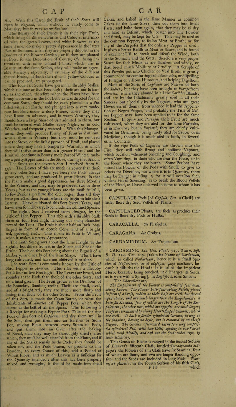 Air, With this Care, the Fruit of thefe Sorts will ripen in England, which without it, rarely come to Maturity, but in very warm Seafons. The Beauty of thefe Plants is in their ripe Fruit, which being of different Forms and Colours, intermix¬ ed with the green Leaves, and white Flowers at the fame Time, do make a pretty Appearance in the latter Part of Summer, when they are properly difpofed in the Borders of the Flower Garden ; or if they are planted in Pots, for the Decoration of Courts, &c. being in¬ termixed with other annual Plants, which are in Beauty at the fame Seafon, they will make an agree¬ able Variety ; efpecially, ft as many of the different fhaped Fruits, of both the red and yellow Colours as can be procured, are propagated. The four laid Sorts have perennial fhrubby Stalks, which rife four or five Feet high •, thefe are not fo har¬ dy as the other, therefore when the Plants have been brought forward in the hot Bed, as was diredled for the common Sorts, they fhould be each planted in a Pot 'filled with rich Earth, and plunged into a very mode¬ rate hot Bed, under a deep Frame, where they may have Room to advance •, and in ■warm Weather, they fhould have a large Share of Air admited to them, but muff be covered with Glaffes every Night, or in cold Weather, and frequently watered. With this Manage¬ ment, they will produce Plenty of Fruit in Autumn, which ripen in Winter; but they muff be removed into the Stove, on the firft Approach of Froft, and placed where they may have a temperate Warmth, in which they will thrive better than in a greater Heat; and the Fruit will continue in Beauty moft Part of Winter, mak¬ ing a pretty Appearance in the Stove, during that Seafon. The Seeds of the feventh Sort I received from E- gypt: The Leaves of this are much narrower than thofe or any other Sort I have yet feen; the Pods always grow ereft, and are produced in great Plenty, fo that the Plants make a good Appearance for three Months in the Winter, and they may be preferved two or three Years ; but as the young Plants are the moft fruitful, fo few Perfons prelerve the old longer, than till they have perfected their Fruit, when they begin to lofe their Beauty. I have cultivated this Sort feveral Years, and have never found it vary, fo conclude it is a diftinft Species. The eighth Sort I received from Antigua, by the Title of Hen Pepper. This rifes with a fhrubby Stalk three or four Feet high, fending out many Branches toward the Top: The Fruit is about half an Inch long, fhaped in form of an obtuie Cone, and of a bright red, growing ereft. This ripens its Fruit in Winter, when it makes a pretty Appearance. The ninth Sort grows about the fame Height as the eighth, but differs from it in the Shape and Size of the Fruit: Thofe of this Sort being about the Bignefs of a Barberry, and nearly of the fame Shape. This I have long cultivated, and have not obferved it to alter. The tenth Sort is commonly known by the Title of Bird Pepper in America. This rifes with a Ihrubby Stalk four or five Feet high: The Leaves are broad, and rounder at the Ends than thofe of the other Sorts, and of a lucid green : The Fruit grows at the Divifions of the Branches, Handing eredt: Thefe are fmall, oval, and of a bright red ; they are much more fharp and biting than thofe of the other Sorts. From the Fruit of this Sort, is made the Cay an Butter, or what the Inhabitants of America call Pepper Pots, which they efteem as the belt of all the Spices. The following is a Receipt for making a Pepper Pot: Take of the ripe Pods of this Sort of Capficum, and dry them well in the Sun, then put them into an Earthen or Stone Pot, mixing Flour between every Strata of Pods, and put them into an Oven after the baking of Bread, that they may be thoroughly dried ; after which, they muft be well cleanfed from the Flour, and if any of the Stalks remain to the Pods, they fhould be taken off, and the Pods beaten, or ground to fine Powder; to every Ounce of this, add a Pound of Wheat Flour, and as much Leaven as is fufficient for the Quantity intended ; after this has been properly mixed and wrought, it fhould be made into fmall Cakes, and baked in the fame Manner as common Cakes of the fame Size; then cut them into fmall Parts, and bake them again, that they may be as dry and hard as Bifcuit, which, beaten into fine Powder and fifted, may be kept for Ufe. This may be ufed as the common Pepper, to feafon Meat or Broth, or for any of the Purpofes that the ordinary Pepper is ufed : It gives a better Relilh to Meat or Sauce, and is found of excellent Ufe to break and difeufs the Wind, both in the Stomach and the Guts ; therefore is very proper Sauce for fuch Meats as are flatulent and windy, or that breed much Moifture or Crudity. A Scruple of this Powder put into Chicken or Veal Broth, is greatly commended for comforting cold Stomachs, or difpelling of Phlegm or vifeous Humours, and helping Digeftion. Moft of the Sorts of Capficum are Natives of both the Indies; but they have been brought to Europe from America, where they abound in all the Caribbee Hands, and are by the Inhabitants greatly ufed in all their Sauces; but efpecially by the Negroes, who are great Devourers of them ; from whence it had the Appella¬ tion of Negro Pepper, and probably the Title of Gui¬ nea Pepper may have been applied to it for the fame Reafon. In Spain and Portugal thefe Fruit are much cultivated, where they are ufed for the fame Purpofes, as in America; but in England, they are chiefly culti¬ vated for Ornament, being rarely ufed for Sauce, or in Medicine; though it is much ufed in both, in feveral other Countries. If the ripe Pods of Capficum are thrown into the Fire, they will raife ftrong and noifome Vapours, which occafion vehement Sneezing and Coughing, and often Vomiting, in thofe who are near the Place, or in the Room where they are burnt. Some Perfons have mixed the Powder of the Pods with Snuff, to give to others for Diverfion, but where it is in Quantity, there may be Danger in ufing it, for it will occafion fuch violent Fits of Sneezing, as to break the Blood Veflels of the Head, as I have obferved in fome to whom it has been given. CAPSULATE Pods [of Capfula, Eat. a Cheft] are little, fhort dry Seed Velfels of Plants. CAPSULATED Plants, are fuch as produce their Seeds in fhort dry Pods or Hufks. CARACALLA. See Phafeolus. CARAGANA. See Orobus. CARDAMINDUM. See Tropaeolum. CARD AMINE. Lin. Gen. Plant. 727. Tourn. Injl. R. H. 224. Lab. 109. [takes its Name of Cardamumy which is called Najlurtium; hence it is a fmall Spe¬ cies of Najlurtium; or of quafi be- caufe it difturbs the Head: It is called the impatient Herb, becaufe, being touched, it difeharges its Seeds, as it were with a Spring], in Englijh, Ladies Smock. The Characters are, The Empalement of the Flower is compofed of four oval, oblong Leaves. The Flower hath four oblong Petals, placed in form of a Crofs, which at their Bafe are ereCt, but fpread open above, and are much larger than the Empalement; it hath fix Stamina, four of which are the Length of the Em¬ palement ; the other two, which are oppofite, are much longer; Thefe are terminated by oblong Heart '-Jhaped Summit 's, which are erebl. It hath a fender cylindrical Germen, as long as the Stamina, having no Style, but is crowned by an obtufe Stigma. The Germen afterward turns to a long compref- fed cylindrical Pod, with two Cells, opening in two Valves which twift fpirally, and cafi out the Seeds when ripe, by their Elaflicity. This Genus of Plants is ranged in the fecond Seftion of Linnaeus’s fifteenth Clafs, intitled Tetradynamia Sili- quofa ; the Flowers of this Clafs have fix Stamina, four of which are fhort, and two are longer (landing oppo¬ fite, and the Seeds are included in long Pods. Tour- nefort places it in the fourth Section of his fifth Clafs, F f f which