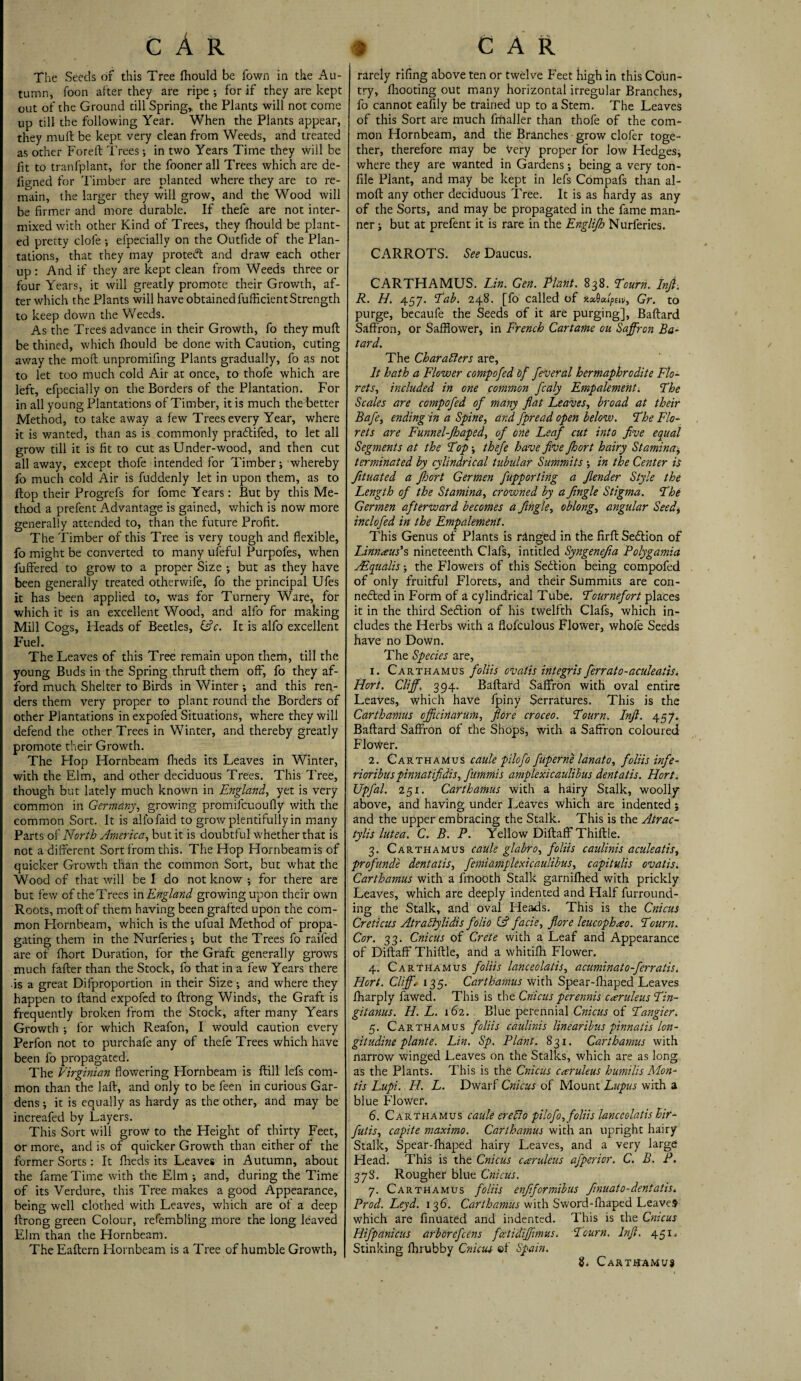 The Seeds of this Tree fhould be Town in the Au¬ tumn, foon after they are ripe -, for if they are kept out of the Ground till Spring* the Plants will not come up till the following Year. When the Plants appear, they mult be kept very clean from Weeds, and treated as other Foreft Trees •, in two Years Time they will be ft to tranfplant, for the fooner all Trees which are de¬ fined for Timber are planted where they are to re¬ main, the larger they will grow, and the Wood will be firmer and more durable. If thefe are not inter¬ mixed with other Kind of Trees, they fhould be plant¬ ed pretty clofe •, especially on the Outfide of the Plan¬ tations, that they may protect and draw each other up : And if they are kept clean from Weeds three or four Years, it will greatly promote their Growth, af¬ ter which the Plants will have obtained Sufficient Strength to keep down the Weeds. As the Trees advance in their Growth, fo they muft be thined, which fhould be done with Caution, cuting away the molt, unpromifing Plants gradually, fo as not to let too much cold Air at once, to thofe which are left, efpecially on the Borders of the Plantation. For in all young Plantations of Timber, it is much the better Method, to take away a few Trees every Year, where it is wanted, than as is commonly praCtifed, to let all grow till it is fit to cut as Under-wood, and then cut all away, except thofe intended for Timber; whereby fo much cold Air is Suddenly let in upon them, as to flop their Progrefs for fome Years: But by this Me¬ thod a prefent Advantage is gained, which is now more generally attended to, than the future Profit. The Timber of this Tree is very tough and flexible, fo might be converted to many ufeful Purpofes, when Suffered to grow to a proper Size ; but as they have been generally treated otherwife, fo the principal Ufes it has been applied to, was for Turnery Ware, for which it is an excellent Wood, and alfo for making Mill Cogs, Heads of Beetles, &c. It is alfo excellent Fuel. The Leaves of this Tree remain upon them, till the young Buds in the Spring thruft them off, fo they af¬ ford much Shelter to Birds in Winter ; and this ren¬ ders them very proper to plant round the Borders of other Plantations in expofed Situations, where they will defend the other Trees in Winter, and thereby greatly promote their Growth. The Hop Hornbeam fheds its Leaves in Winter, with the Elm, and other deciduous Trees. This Tree, though but lately much known in England, yet is very common in Germany, growing promifcuoufly with the common Sort. It is alfofaid to grow plentifully in many Parts of Norib America, but it is doubtful whether that is not a different Sort from this. The Hop Hornbeam is of quicker Growth than the common Sort, but what the Wood of that will be I do not know ; for there are but few of the Trees in England growing upon their own Roots, moffcof them having been grafted upon the com¬ mon Hornbeam, which is the ufual Method of propa¬ gating them in the Nurferies; but the Trees fo railed are of fhort Duration, for the Graft generally grows much falter than the Stock, fo that in a few Years there •is a great Difproportion in their Size ; and where they happen to Hand expofed to ftrong Winds, the Graft is frequently broken from the Stock, after many Years Growth •, for which Reafon, I would caution every Perfon not to purchafe any of thefe Trees which have been fo propagated. The Virginian flowering Hornbeam is ftill lefs com¬ mon than the laft, and only to be feen in curious Gar¬ dens 5 it is equally as hardy as the other, and may be increafed by Layers. This Sort will grow to the Height of thirty Feet, or more, and is of quicker Growth than either of the former Sorts: It fheds its Leaves in Autumn, about the fame Time with the Elm ; and, during the Time of its Verdure, this Tree makes a good Appearance, being well clothed with Leaves, which are of a deep ftrong green Colour, refembling more the long leaved Elm than the Hornbeam. The Eaftern Hornbeam is a Tree of humble Growth, rarely rifing above ten or twelve Feet high in this Coun¬ try, fliooting out many horizontal irregular Branches, fo cannot eafily be trained up to a Stem. The Leaves of this Sort are much frhaller than thofe of the com¬ mon Hornbeam, and the Branches grow clofer toge¬ ther, therefore may be Very proper for low Hedges^ where they are wanted in Gardens; being a very ton- file Plant, and may be kept in lefs Compafs than al- moft any other deciduous Tree. It is as hardy as any of the Sorts, and may be propagated in the fame man¬ ner ; but at prefent it is rare in the Englijh Nurferies. CARROTS. See Daucus. CARTHAMUS. Lin. Gen. Plant. 838. Pourn. Infi. R. H. 457. Lab. 248. [fo called of axSApsip, Gr. to purge, becaufe the Seeds of it are purging], Baftard Saffron, or Safflower, in French Cartame on Saffron Ba- tard. The Characters are, It hath a Flower compofed 'of feveral hermaphrodite Flo¬ rets, included in one common fcaly Empalement ■. The Scales are compofed of many flat Leaves, broad at their Bafe, ending in a Spine, and fpread open below. Eke Flo¬ rets are Funnel-Jhaped, of one Leaf cut into five equal Segments at the Pop; thefe have five Jhort hairy Stamina* terminated by cylindrical tubular Summits \ in the Center is fituated a fijort Germen fupporting a fiender Style the Length of the Stamina, crowned by a Jingle Stigma. Phe Germen afterward becomes a fingle, oblongs angidar Seedt inclofed in the Empalement. This Genus of Plants is ringed in the firftSedlion of Linnaeus’s nineteenth Clafs, intitled Syngenejia Polygamia yEqualis; the Flowers of this Section being compofed of only fruitful Florets, and their Summits are con¬ nected in Form of a cylindrical Tube. Pournefort places it in the third SeCtion of his twelfth Clafs, which in¬ cludes the Herbs with a flofculous Flower, whofe Seeds have no Down. The Species are, 1. Carthamus foliis ovatis integris ferrato-aculeatis. Hort. Cliff. 394. Baftard Saffron with oval entire Leaves, which have fpiny Serratures. This is the Carthamus officinarum, fiore croceo. Pourn. Infi. 457. Baftard Saffron of the Shops, with a Saffron coloured Flower. 2. Carthamus caule pilofo fuperne lanato, foliis infe- rioribus pinnatifidis, fummis amplexicaulibus dentatis. Hort. Upfal. 251. Carthamus with a hairy Stalk, woolly above, and having under Leaves which are indented ; and the upper embracing the Stalk. This is the Atrac- tylis lutea. C. B. P. Yellow Diftaff Thiftle. 3. Carthamus caule glabro, foliis caulinis aculeatis, profunde dentatis, femiamplexicaulibus, capitulis ovatis. Carthamus with a finooth Stalk garnifhed with prickly Leaves, which are deeply indented and Half furround¬ ing the Stalk, and oval Heads. This is the Cnicus Creticus AtraCtylidis folio G? facie, fiore leucophao. Pourn. Cor. 33. Cnicus of Crete with a Leaf and Appearance of Diftaff Thiftle, and a whitifh Flower. 4. Carthamus foliis lanceolatis, acuminato-ferratis. Hort. Cliff* 135. Carthamus with Spear-fhaped Leaves fharply fawed. This is the Cnicus perennis c<eruleus Pin- gitanus. H. L. 162. Blue perennial Cnicus of Pangier. 5. Carthamus foliis caulinis linearibus pinnatis lon- gitudine plante. Lin. Sp. Plant. 831. Carthamus with narrow winged Leaves on the Stalks, which are as long as the Plants. This is the Cnicus cteruleus humilis Mon¬ tis Lupi. H. L. Dwarf Cnicus of Mount Lupus with a blue Flower. 6. Carthamus caule eredio pilofo, foliis lanceolatis hir- futis, capite maxima. Carthamus with an upright hairy Stalk, Spear-fhaped hairy Leaves, and a very large Head. This is the Cnicus caruleus afperior. C. B. P. 378. Rougher blue Cnicus. 7. Carthamus foliis enfiformibus Jinuato-dentatis. Prod. Leyd. 136. Carthamus with Sword-fhaped Leaves’ which are finuated and indented. This is the Cnicus Hifpanicus arborefcens fcetidiffmus. Pourn. Infi. 451. Stinking fhrubby Cnicus ©f Spain.