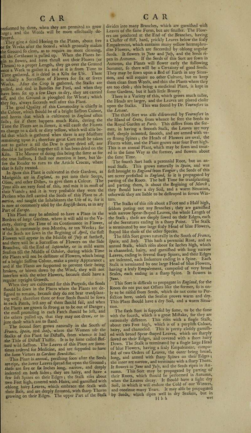 oerformed by three, when they are permited to grow large; and the Weeds will be more effectually de¬ frayed. . , „ , r They give a third Hoeing to the Plants, about live or fix Weeks after the fecond; which generally makes the Ground fo clean, as to require no more cleaning, till the Carthamus is pulled up. When the Plants be¬ gin to flower, and have thruft out their Florets (or Thrum) to a proper Length, they go over the Ground once a Week to gather it; and as it is from Time to Time gathered, it is dried in a Kiln for Ufe. d here is ufually a Succeflion of Flowers for fix or feven Weeks. After the Crop is gathered, the Stalks are pulled, and tied in Bundles for Fuel, and when they have been fet up a few Days to dry, they are carried off, and the Ground is ploughed for Wheat; which they fay, always fucceeds well after this Plant. The good Quality of this Commodity is chiefly in the Colour, which fhould be of a bright Saffron Colour, and herein that which is cultivated in England often fails ; for if there happens much Rain, during the Time the Plants are in'flower, it will caufe the Florets to change to a dark or dirty yellow, which will alfo be- fal that which is gathered when there is any Moifture remaining upon it; therefore great Care muff: be taken not to gather it till the Dew is quite dried off, nor Ihould k be preffed together till it has been dried on the Kiln. The Manner of doing this being the fame as for the true Saffron, I fhall not mention it here, but rde- fire the Reader to turn to the Article Crocus, where that is fully treated. In Spain this Plant is cultivated in their Gardens, as Marigolds are in England, to put into their Soups, OliosT and other Difffes, to give them a Colour. The Jews alfo are very fond of this, and mix it in moft of their Viands; and it is very probable they were the Perlons who firfl carried the Seeds of this Plant to A- merica, and taught the Inhabitants the Ufe of it, for it is now as commonly ufed by the Evglijh there, as in any Part of Europe. This Plant may be admited to have a Place in the Borders of large Gardens, where it will add to the Va¬ riety, during the Time of its Continuance in Flower, which is commonly two IVIonths, or ten Weeks; for if the Seeds are fown in the Begining of April, the firfl; Flowers will appear in the Middle of July at farthefl, and there will be a Succeflion of Flowers on the Side Branches, till the End of September, or in mild warm Seafons till the Middle of Oblober, during which Time the Plants will not be deftitute of Flowers, which being of a bright Saffron Colour, make a pretty Appearance ; and if the Plants are fupported to prevent their being broken, or blown down by the Wind, they will not interfere with the other Flowers, becaufe thefe have a regular upright Growth. When they are cultivated for this Purpofe, the Seeds fhould be fown in the Places where the Plants are de- fio-ned to remain, becaufe they do not bear tranfplant- ino- well; therefore three or-four Seeds fhould be fown ineach Patch, left any of them fhould fail, and when the Plants are grown fo ftrong as to be out of Danger ; the moft promifing in each Patch fhould be left, and the others pulled up, that they may not draw, or in¬ jure thofe which are to ftand. The fecond Sort grows naturally in the South of France, Spain, and Italy, where the Women ufe the Stalks of this Plant for Diftaffs, from whence it had the Title of Diftaff Thiftle. It is by fome called Baf- tard wild Saffron. The Leaves of this Plant are fome- times ordered for Medicine, and are fuppofed to have the fame Virtues as Car duns Benediftus. This Plant is annual, perifhing foon after the Seeds are ripe, the lower Leaves fpread flat upon the Ground ; thefe are five or fix Inches long, narrow, and deeply indented on both Sides; they are hairy, and have a few foft Spines on their Edges; the Stalk rifes about two Feet high, covered with Hairs, and garnifhed with oblong hairy Leaves, which embrace the Stalk with their Bafe, and are deeply finuated, with fharp Thorns growing on their Edges. The upper Part of the Stalk x CAR divides into many Branches, which are garnifhed with Leaves of the fame Form, but are fmaller. The Flow¬ ers are produced at the End of the Branches, having a Clufter of ftiff, hard, prickly Leaves below the fcaly Empalement, which contains many yellow hermaphro¬ dite Flowers, which are fucceeded by oblong angular Seeds. It flowers in June and July, and the Seeds ri¬ pen in Autumn. If the Seeds of this Sort are fown in Autumn, the Plants will flower early the following Summer, fo there will be a Certainty of good Seeds. They may be fown upon a Bed of Earth in any Situa¬ tion, and will require no other Culture, but to keep them clean from Weeds, and thin the Plants where they are too clofe ; this being a medicinal Plant, is kept in fome Gardens, but it hath little Beauty. There is a Variety of this, which grows much taller, the Heads are larger, and the Leaves are placed clofer upon the Stalks. This was found by Dr. Fournefort in the Levant. The third Sort was alfo difcovered by Fournefort in the Ifland of Crete, from whence he fent the Seeds to the Royal Garden at Paris. This differs from the for¬ mer, in having a fmooth Stalk, the Leaves are very ftiff, deeply indented, fmooth, and are armed with ve¬ ry ftrong Spines; the Heads of Flowers are oval, the Florets white, and the Plant grows near four Feet high. This is an annual Plant, which may be fown and treat¬ ed in the fame Way as the former, and flowers about the fame Time. The fourth Sort hath a perennial Root, but an an¬ nual Stalk. This grows naturally in Spain, and was firfl: brought to England from Fangier; the Seeds of this are never perfedted in England, fo it is propagated by parting of the Roots. The beft Time for tranfplanting and parting them, is about the Begining of March ; they fhould have a dry Soil, and a warm Situation, otherwife they are liable to be deftroyed in fevere Win- ters. The Stalks of this rife about a Foot and a Half high, feldom puting out any Branches; they are garnifhed with narrow Spear-fhaped Leaves, the whole Length of the Stalk ; thefe are deeply fawed on their Edges, each of the Serratures ending in a fharp Point. The Stalk is terminated by one large fcaly Head of blue Flowers, fhaped like thofe of the other Species. The fifth Sort grows naturally in the South of France, Spain, and Italy. This hath a perennial Root, and an annual Stalk, which rifes about fix Inches high, which is channeled, hairy, and garnifhed with long narrow Leaves, ending in feveral fharp Spines, and their Edges are indented, each Indenture ending in a Spine. Each Stalk is terminated by one large Head of blue Flowers, having a leafy Empalement, compofed of very broad Scales, each ending in a fharp Spine. It flowers in June. This Sort is difficult to propagate in England, for the Roots do not put out Offsets like the former, fo is on¬ ly to be raifed from Seeds, which do not come to Per¬ fection here, unlefs the Seafon proves warm and dry. This Plant fhould have a dry Soil, and a warm Situa¬ tion. The fixth Sort is fuppofed by fome, to be the fame with the fourth, which is a great Miftake, for they are extremely different. This rifes with a fingle Stalk, about two Feet high, which is of a purplifh Colour, hairy, and channeled. This is pretty clofely garnifh¬ ed with broad Spear-fhaped Leaves, which are fharply fawed on their Edges, and covered with a fhort hairy Down. The Stalk is terminated by a fingle large Head of blue Flowers, having a fcaly Empalement, compo¬ fed of two Orders of Leaves, the outer being broad, long, and armed with fharp Spines on their Edges ; the inner are narrow, and terminate with a fharp Thorn. It flowers in June and July, and the Seeds ripen in Au-^ tumn. This Sort may be propagated by parting of their Roots, which fhould be performed in Autumn, when the Leaves decay. It Ihould have a light dry Soil, in which it will endure the Cold of our Winters, and continue many Years. It may alfo be propagated by Seeds, which ripen well in dry Seafons, but in H h h wet