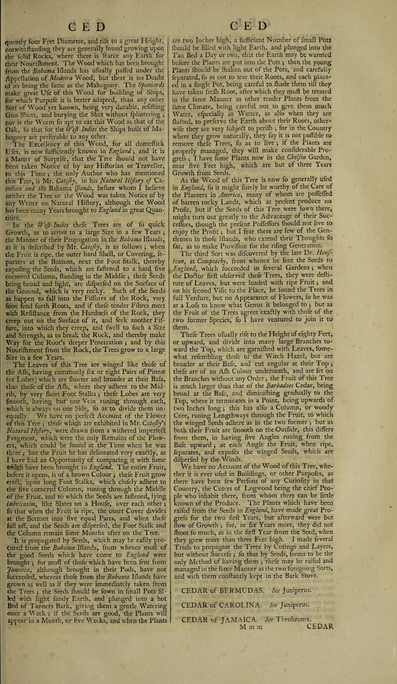 quently four Feet Diameter, and rife to a great Height, notwithftanding they are generally found growing upon the folid Rocks, where there is fcarce any Earth for their Nourishment. The Wood which has been brought from the Bahama I Hands has ufually paffcd under the Appellation of Madeira Wood, but there is no Doubt of its being the fame as the Mahogony. The Spaniards make great Ufe of this Wood for building of Ships, for which Purpofe it is better adapted, than any other Sort of Wood yet known, being very durable, refilling Gun Shots, and burying the Shot without Splintering i nor is the Worm fo apt to eat this Wood as that of the Oak, fo that for the Weft-Indies the Ships built of Ma¬ hogony are preferable to any other. The Excellency of this Wood, for all domeflick Ufes, is now Sufficiently known in England •, and it is a Matter of Surprile, that the Tree Should not have been taken Notice of by any Hiftorian or Traveller, to this Time ; the only Author who has mentioned this Tree, is Mr. Calefy, in his Natural Hijiory of ’Ca¬ rolina and the Bahama Iflands, before whom I believe neither the Tree or the Wood was taken Notice of by any Writer on Natural Hiftory, although the Wood has been many Years brought to England in great Quan¬ tities. In the Weft-Indies thefe Trees are of fo quick Growth, as to arrive to a large Size in a few Years ; the Manner of their Propagation in the Bahama IHands, as it is deferibed by Mr. Catefy, is as follows ; when the Fruit is ripe, the outer hard Shell, or Covering, Se¬ parates at the Bottom, next the Foot Stalk, thereby expofing the Seeds, which are fallened to a hard five cornered Column, Handing in the Middle ; thefe Seeds being broad and light, are difperfed on the Surface of the Ground, which is very rocky. Such of the Seeds as happen to fall into the Fiflures of the Rock, very foon fend forth Roots, and if thefe tender Fibres meet with Refiftance from the Hardnefs of the Rock, they creep out on the Surface of it, and feek another Fif- fure, into which they creep, and Swell to Such a Size and Strength, as to break the Rock, and thereby make Way for the Root’s deeper Penetration ; and by this Nourishment from the Rock, the Trees grow to a large Size in a few Years. The Leaves of this Tree are winged like thofe of the Afh, having commonly fix or eight Pairs of Pinnae (or Lobes) which are fhorter and broader at their Bale, than thofe of the Afli, where they adhere to the Mid¬ rib, by very fhort Foot Stalks ; thefe Lobes are very Smooth, having but one Vein runing through each, which is always on one Side, fo as to divide them un¬ equally. We have no perfect Account of the Flower of this Tree ; thofe which are exhibited in Mr. Catejby’s Natural Hijiory, were drawn from a withered imperfect FYagment, which were the only Remains of the Flow¬ ers, which could be found at the Time when he was there ; but the Fruit he has delineated very exaftly, as I have had an Opportunity of comparing it with fome Which have been brought to England, The entire Fruit, before it opens, is of a brown Colour •, thefe Fruit grow ereft, upon long Foot Stalks, which clolely adhere to the five cornered Column, runing through the Middle of the Fruit, and to which the Seeds are faftened, lying imbricatim, like Slates on a Houfe, over each other •, fo that when the Fruit is ripe, the outer Cover divides at the Bottom into five equal Parts, and when thefe fall off, and the Seeds are difperfed, the Foot Stalk and the Column remain fome Months after on the Tree. It is propagated by Seeds, which may be eafily pro¬ cured from the Bahama IHands, from whence moil of the good Seeds which have come to England were brought j for mofl of thofe which have been fent from Jamaica, although brought in their Pods, have not fucceeded, whereas thofe from the Bahama Iflands have grown as well as if they were immediately taken from the Trees •, the Seeds fhould be fown in fmall Pots fil¬ led with light Tandy Earth, and plunged into a hot Bed of Tanners Bark, giving them a gentle Watering once a Week ; if the Seeds are good, the Plants will appear in a Month, or five Weeks, and when the Plants are two Inches high, a fufficient Number of fmall Pbt3 fliould be filled with light Earth, and plunged into the Tan Bed a Day or two, that the Earth may be warmed before the Plants are put into the Pots •, then the young Plants fhould be fhaken out of the Pots, and carefully feparated, fo as not to tear their Roots, and each plant¬ ed in a fingle Pot, being careful to fhade them till they have taken frefh Root, after which they muff be treated in the fame Manner as other tender Plants from the fame Climate, being careful not to give them much Water, elpecially in Winter, as alfo when they are drifted, to preferve the Earth about their Roots, other* wife they are very fubjeft to perifli ; for in the Country where they grow naturally, they fay it is not poflible to remove thefe Trees, fo as to live ; if the Plants are properly managed, they will make confiderable Pro- grels; I have fome Plants now in the Chelfea Garden, near five Feet high, which are but of three Years Growth from Seeds. As the Wood of this Tree is now fo generally ufed in England, fo it might furely be worthy of the Care of the Planters in America, many of whom are poffeffed of barren rocky Lands, which at prefent produce no Profit, but if the Seeds of this 'Free were fown there, might turn out greatly to the Advantage of their Suc- ceffors, though the prefent Poffeffors fhould not live to enjoy the Profit ; but I fear there are few of the Gen¬ tlemen in thofe Iflands, who extend their Thoughts fo far, as to make Provifion for the rifing Generation. The third Sort was difeovered by the late Dr. Houf- tcun, at Campeachy, from whence he fent the Seeds to England, which fucceeded in feveral Gardens; when the Doftor firft obferved thefe Trees, they were defti- tute of Leaves, but were loaded with ripe Fruit; and on his fecond Vifit to the Place, he found the Trees in full Verdure, but no Appearance of Flowers, fo he was at a Lofs to know what Genus it belonged to ; but as the Fruit of the Trees agrees exactly with thofe of the j:wo former Species, fo 1 have ventured to join it to them. Thefe Trees ufually rife to the Height of eighty Feet, or upward, and divide into many large Branches to¬ ward the Top, which are garnifhed with Leaves, fome- what refembling thofe of the Witch Hazel, but are broader at their Bafe, and cut angular at their Top ; thefe are of an Afh Colour underneath, and are fet on the Branches without any Order ; the Fruit of this Tree is much larger than that of the Barbadoes Cedar, being broad at the Bafe, and diminifhing gradually to the Top, where it terminates in a Point, being upwards of two Inches long •, this has alfo a Column, or woody Core, runing Lengthways through the Fruit, to which the winged Seeds adhere as in the two former •, but as both their Fruit are fmooth on the Outfide, this differs from them, in having five Angles runing from the Bafe upward ; at each Angle the Fruit, when ripe, feparates, and expofes the winged Seeds, which are difperfed by the Winds. We have no Account of the Wood of this Tree, whe¬ ther it is ever uled in Buildings, or other Purpofes, as there have been few Perfons of any Curiofity in that Country, the Cuters of Logwood being the chief Peo¬ ple who inhabit there, from whom there can be little known of the Produce. The Plants which have been raifed from the Seeds in England, have made great Pro- grefs for the two firft Years, but afterward were but flow of Growth •, for, in fix Years more, they did not fhoot fo much, as in the firft Year from the Seed, when they grew more than three Feet high. I made feveral Trials to propagate the Trees by Curings and Layers, but without Succefs ; fo that by Seeds, feems to be the only Method of having them i thefe may be raifed and managed in the fame Manner as the two foregoing Sorts, and with them conftantly kept in the Bark Stove. CEDAR of BERMUDAS. See Juniperus. CEDAR of CAROLINA. See Juniperus. CEDAR of JAMAICA. See Theobroma. M m m CEDAR f