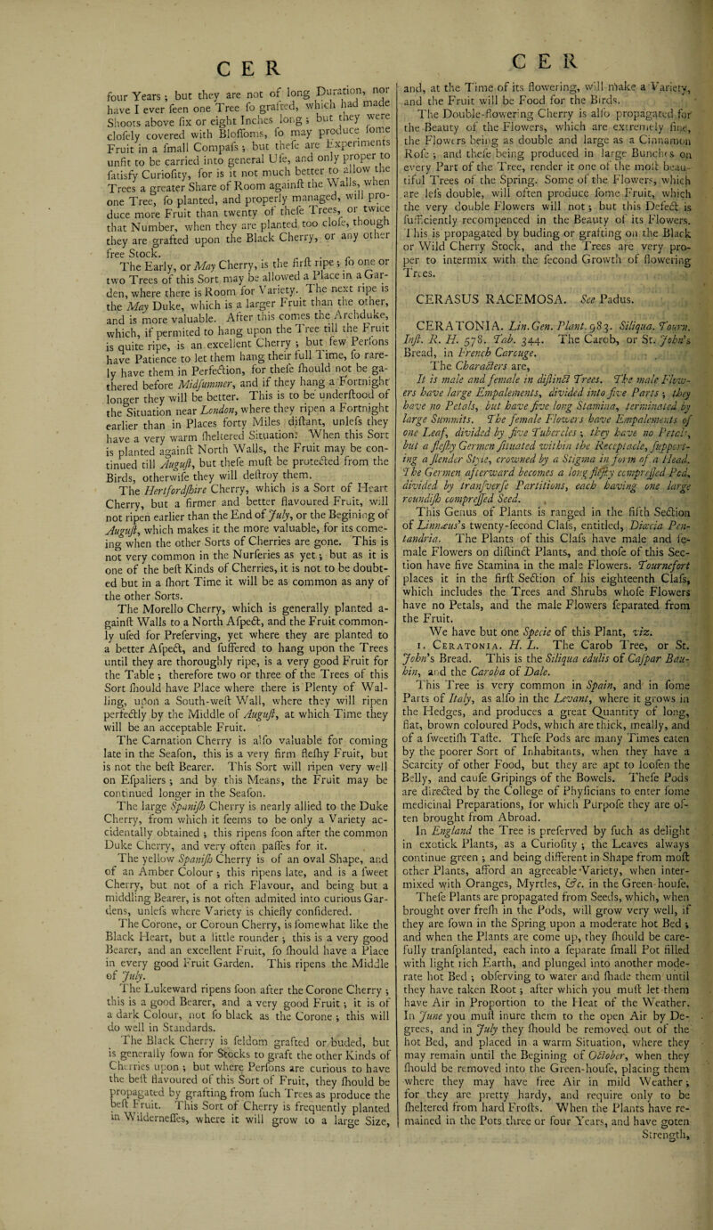 four Years; but they are not of long Duration, nor have I ever feen one Tree fo grafted, which ra ma e Shoots above fix or eight Inches long ; but they were clofely covered with Bloffoms, fo may produce lome Fruit in a fmall Compafs; but thefe aie Experiments unfit to be carried into general Ufe, and only proper to fatisfy Curiofity, for is it not much better to a low the Trees a greater Share of Room againft the Walls, when one Tree, fo planted, and properly managed, will pro¬ duce more Fruit than twenty oi thefe I rees, or twice that Number, when they are planted too dole, though they are grafted upon the Black Cheny, or any ot -r free Stock. The Early, or May Cherry, is the firft ripe ; fo one or two Trees of this Sort may be allowed a Place in a Gar¬ den, where there is Room for V ariety.. T he next upe is the May Duke, which is a larger Fruit than the other, and is more valuable. After this comes the Archduite, which, if permited to hang upon the Tree till the kiuit is quite ripe, is an excellent Cherry ; but few Perlons have Patience to let them hang their full T ime, fo rare¬ ly have them in Perfection, for thefe fhould not be ga¬ thered before Midfummer, and if they hang a Fortnight longer they will be better. This is to be underftood of the Situation near London, where they ripen a Fortnight earlier than in Places forty Miles diftant, unlefs they have a very warm fheltered Situation; When this Sort is planted againft North Walls, the Fruit may be con¬ tinued till Augufi, but thefe muft be protected from the Birds, otherwife they will deftroy them. The Hertfordjhire Cherry, which is a Sort of Heart Cherry, but a firmer and better flavoured Fruit, will not ripen earlier than the End of July, or the Begining of Augufi, which makes it the more valuable, for its come- when the other Sorts of Cherries are gone. This is ing not very common in the Nurferies as yet; but as it is one of the beft Kinds of Cherries, it is not to be doubt¬ ed but in a fiiort Time it will be as common as any of the other Sorts. The Morello Cherry, which is generally planted a- gainft Walls to a North Afpedt, and the Fruit common¬ ly ufed for Preferving, yet where they are planted to a better Afpecft, and fuffered to hang upon the Trees until they are thoroughly ripe, is a very good Fruit for the Table ; therefore two or three of the Trees of this Sort fhould have Place where there is Plenty of Wal¬ ling, upon a South-weft Wall, where they will ripen perfectly by the Middle of Auguft, at which Time they will be an acceptable Fruit. The Carnation Cherry is alfo valuable for coming late in the Seafon, this is a very firm flefhy Fruit, but is not the beft Bearer. This Sort will ripen very well on Efpaliers •, and by this Means, the Fruit may be continued longer in the Seafon. The large Spanijh Cherry is nearly allied to the Duke Cherry, from which it feems to be only a Variety ac¬ cidentally obtained ; this ripens foon after the common Duke Cherry, and very often paflfes for it. The yellow Spanijh Cherry is of an oval Shape, and of an Amber Colour ; this ripens late, and is a lweet Cherry, but not of a rich Flavour, and being but a middling Bearer, is not olten admited into curious Gar¬ dens, unlefs where Variety is chiefly confidered. The Corone, or Coroun Cherry, isfomewhat like die Black Fleart, but a little rounder •, this is a very good Bearer, and an excellent Fruit, fo fhould have a Place in every good Fruit Garden. This ripens the Middle of July. The Lukeward ripens foon after the Corone Cherry ; this is a good Bearer, and a very good Fruit; it is of a dark Colour, not fo black as the Corone -, this will do well in Standards. The Black Cherry is Feld om grafted or buded, but is generally fown for Stocks to graft the other Kinds of Cherries upon ; but where Perfons are curious to have the beft flavoured of this Sort of Fruit, they fhould be propagated by grafting from fuch Trees as produce the beft Fruit. This Sort of Cherry is frequently planted in Wilderneffes, where it will grow to a large Size, C E R and, at the Time of its flowering, will make a Variety, and the Fruit will be Food for the Birds. The Double-flowering Cherry is alfo propagated for the Beauty of the Flov/ers, which are extremely fine, the Flowers being as double and large as a Cinnamon Rofe ; and thefe being produced in large Bunches on every Part of the Tree, render it one oi the molt beau¬ tiful Trees of the Spring. Some of the Flowers, which are lei's double, will often produce fome Fruit, which the very double Flowers will not •, but this Defedt is fufficiently recompenced in the Beauty of its Flowers. T his is propagated by buding or grafting on the Black or Wild Cherry Stock, and the Trees are very pro¬ per to intermix with the fecond Growth of flowering Trees. CERASUS RACEMOSA. See Padus. CERA TONI A. Lin.Gen. Plant. 983. Siliqua. Lourn. Injl. R. H. 578. Lab. 344. The Carob, or St. John's Bread, in French Carouge. The Characters are. It is male and female in difiinll Frees. Lie male Flow¬ ers have large Empalements, divided into five Parts ; they have no Petals, but have five long Stamina, terminated by large Summits. The female Flowers have Empalements of one Leaf., divided by five Tubercles they have no Petals, but a fiefhy German jituated within the Receptacle, Support¬ ing a Jlender Style, crowned by a Stigma in form of a Head. I he Germen afterward becomes a long flefiy ccmprefied Pcd, divided by tranfverfe Partitions, each having one large roundifh comprejfed Seed. This Genus of Plants is ranged in the fifth Sedtion of Linnwus’s twenty-fecond Clals, entitled, Dic&cia Pen- tandria. The Plants of this Clafs have male and fe¬ male Flowers on diftinct Plants, and thofe of this Sec¬ tion have five Stamina in the male Flowers. Lourncfort places it in the firft Sedtion of his eighteenth Clafs, which includes the Trees and Shrubs whofe Flowers have no Petals, and the male Flowers feparated from the Fruit. We have but one Specie of this Plant, viz. 1. Ceratonia. H. L. The Carob Tree, or St. John's Bread. This is the Siliqua edulis of Cafpar Bau- hin, and the Carob a of Dak. This Tree is very common in Spain, and in fome Parts of Italy, as alfo in the Levant, where it grows in the Hedges, and produces a great Quantity of long, fiat, brown coloured Pods, which are thick, meally, and of a fweetifh Tafte. Thefe Pods are many Times eaten by the poorer Sort of Inhabitants, when they have a Scarcity of other Food, but they are apt to loofen the Belly, and caufe Gripings of the Bowels. Thefe Pods are directed by the College of Phyficians to enter fome medicinal Preparations, for which Purpofe they are of¬ ten brought from Abroad. In England the Tree is preferved by fuch as delight in exotick Plants, as a Curiofity •, the Leaves always continue green •, and being different in Shape from moft other Plants, afford an agreeable'Variety, when inter¬ mixed with Oranges, Myrtles, &c. in the Green-houfe. Thefe Plants are propagated from Seeds, which, when brought over frefii in the Pods, will grow very well, if they are fown in the Spring upon a moderate hot Bed ; and when the Plants are come up, they fhould be care¬ fully tranfplanted, each into a feparate fmall Pot filled with light rich Earth, and plunged into another mode¬ rate hot Bed ; obferving to water and fhade them until they have taken Root; after which you muft let them have Air in Proportion to the Heat of the Weather. In June you muft inure them to the open Air by De¬ grees, and in July they fhould be removed out of the hot Bed, and placed in a warm Situation, where they may remain until the Begining of October, when they fhould be removed into the Green-houfe, placing them where they may have free Air in mild Weather i for they arc pretty hardy, and require only to be fheltered from hard Frofts. When the Plants have re¬ mained in the Pots three or four Years, and have o-oten Strength,