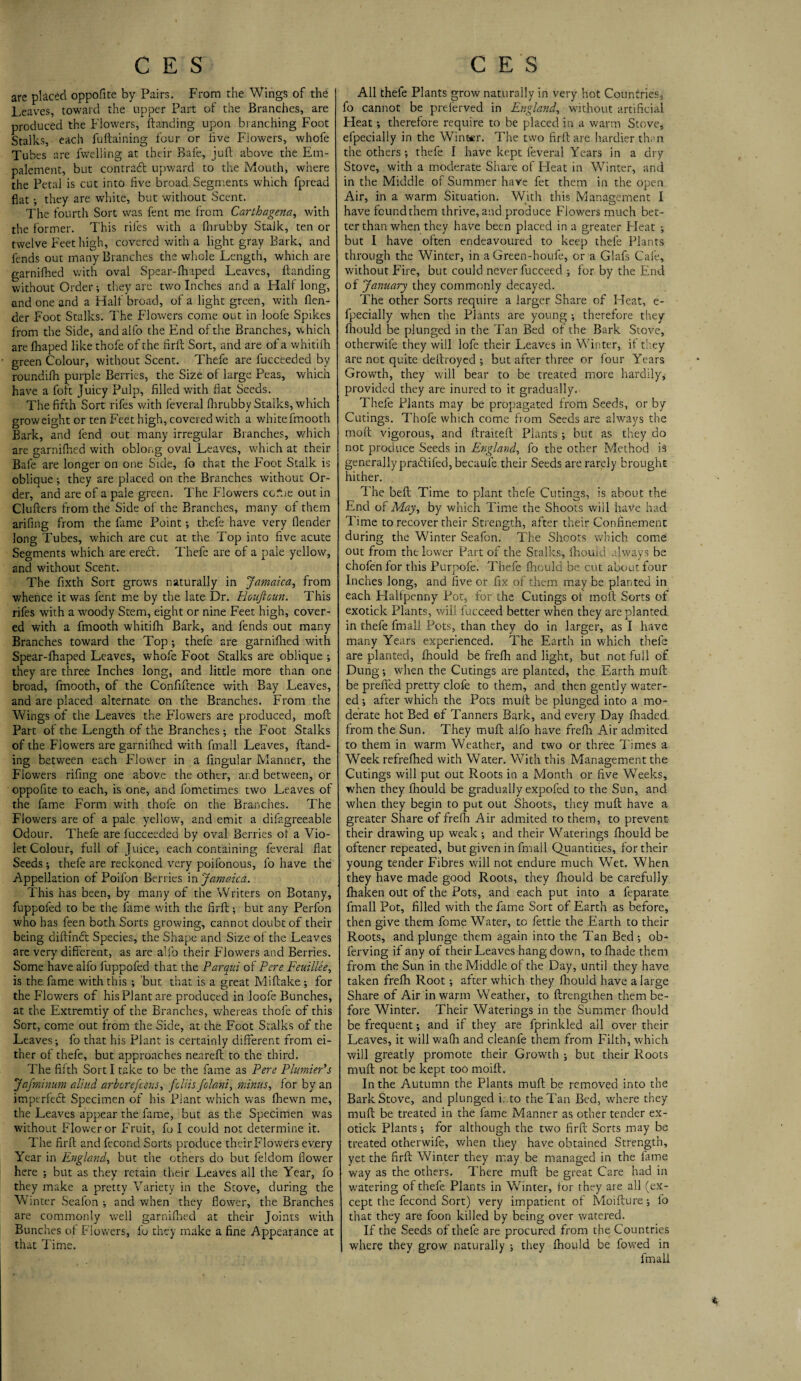 are placed oppofite by Pairs. From the Wings of the Leaves, toward the upper Part of the Branches, are produced the Flowers, {landing upon branching Foot Stalks, each fuftaining four or five Flowers, whole Tubes are fwelling at their Bafe, juft above the Em- pa'lement, but contract upward to the Mouth, where the Petal is cut into five broad Segments which fpread fiat •, they are white, but without Scent. The fourth Sort was fent me from Carthagena, with the former. This rifes with a fhrubby Stalk, ten or twelve Feet high, covered with a light gray Bark, and feuds out many Branches the whole Length, which are garnifhed with oval Spear-fhaped Leaves, {landing without Order; they are two Inches and a Half long, and one and a Half broad, of a light green, with {len¬ der Foot Stalks. The Flowers come out in loofe Spikes from the Side, andalfo the End of the Branches, which are Ihaped like thofe of the firft Sort, and are of a whitifh green Colour, without Scent. Thefe are fucceeded by roundilh purple Berries, the Size of large Peas, which have a foft Juicy Pulp, filled with flat Seeds. The fifth Sort rifes with feveral fhrubby Stalks, which groweight or ten Feet high, covered with a whitefmooth Bark, and fend out many irregular Branches, which are garnifhed with oblong oval Leaves, which at their Bafe are longer on one Side, fo that the Foot Stalk is oblique; they are placed on the Branches without Or¬ der, and are of a pale green. The Flowers ccfiie out in Clufters from the Side of the Branches, many of them arifmg from the fame Point; thefe have very {lender long Tubes, which are cut at the Top into five acute Segments which are erect. Thefe are of a pale yellow, and without Scefit. The fixth Sort grows naturally in Jamaica, from whence it was fent me by the late Dr. Houftcun. This rifes with a woody Stem, eight or nine Feet high, cover¬ ed with a fmooth whitifti Bark, and fends out many Branches toward the Top; thefe are garnifhed with Spear-fhaped Leaves, whofe Foot Stalks are oblique ; they are three Inches long, and little more than one broad, fmooth, of the Confiftence with Bay Leaves, and are placed alternate on the Branches. From the Wings of the Leaves the Flowers are produced, moft Part of the Length of the Branches; the Foot Stalks of the Flowers are garnifhed with fmail Leaves, {land¬ ing between each Flower in a Angular Manner, the Flowers rifing one above the other, and between, or oppofite to each, is one, and fometimes two Leaves of the fame Form with thofe on the Branches. The Flowers are of a pale yellow, and emit a difagreeable Odour. Thefe are fucceeded by oval Berries ot a Vio¬ let Colour, full of juice, each containing feveral flat Seeds; thefe are reckoned very poifonous, fo have the Appellation of Poilon Berries in Jamaica. This has been, by many of the Writers on Botany, fuppofed to be the fame with the firft; but any Perfon who has feen both Sorts growing, cannot doubt of their being diftlndt Species, the Shape and Size of the Leaves are very different, as are alfo their Flowers and Berries. Some have alfo fuppofed that the Parqtii of Pere Feuillee, is the fame with this ; but that is a great Miftake ; for the Flowers of his Plant are produced in loofe Bunches, at the Extremtiy of the Branches, whereas thofe of this Sort, come out from the Side, at the Foot Stalks of the Leaves; fo that his Plant is certainly different from ei¬ ther of thefe, but approaches nearefi: to the third. The filth Sort I take to be the fame as Pere Plumier’s Jafminmn aliud arberefeens, feliis folani, minus, for by an imperfect Specimen of his Plant which was fhewn me, the Leaves appear the fame, bur as the Specimen was without Flower or Fruit, fo I could not determine it. The firfi and fecond Sorts produce their Flowers every Year in England, but the others do but feldom flower here ; but as they retain their Leaves all the Year, fo they make a pretty Variety in the Stove, during the Winter Seafon ; and when they flower, the Branches are commonly well garnifhed at their Joints with Bunches o{ Flowers, fo they make a fine Appearance at that Time. All thefe Plants grow naturally in very hot Countries, fo cannot be preferved in England, without artificial Heat; therefore require to be placed in a warm Stove, efpecially in the Winter. The two firft are hardier than the others ; thefe I have kept feveral Years in a dry Stove, with a moderate Share of Fleat in Winter, and in the Middle of Summer have fet them in the open Air, in a warm Situation. With this Management I have feundthem thrive, and produce Flowers much bet¬ ter than when they have been placed in a greater Heat ; but I have often endeavoured to keep thefe Plants through the Winter, in a Green-houfe, or a Glafs Cafe, without Fire, but could never fucceed ; for by the End of January they commonly decayed. The other Sorts require a larger Share of Heat, e- fpecially when the Plants are young ; therefore they fhould be plunged in the Tan Bed of the Bark Stove, otherwile they will lofe their Leaves in Winter, if they are not quite deftroyed ; but after three or four Years Growth, they will bear to be treated more hardily, provided they are inured to it gradually. Thefe Plants may be propagated from Seeds, or by Cutings. Thofe which come from Seeds are always the moft vigorous, and ftraiteft Plants ; but as they do not produce Seeds in England, fo the other Method is generally pra(5tifed,becaufe their Seeds are rarely brought hither. The beft Time to plant thefe Curings, is about the End of May, by which Time the Shoots will have had Time to recover their Strength, after their Confinement during the Winter Seafon. The Shoots which come out from the lower Part of the Stalks, Ihould always be chofen for this Purpofe. Thefe fhould be cut about four Inches long, and five or fix of them may be planted in each Halfpenny Pot, for the Cutings of moft Sorts of exotick Plants, will fucceed better when they are planted in thefe fmail Pots, than they do in larger, as I have many Years experienced. The Earth in which thefe are planted, fhould be frefh and light, but not full of Dung -, when the Cutings are planted, the Earth muft be prefied pretty clofe to them, and then gently water¬ ed ; after which the Pots muft be plunged into a mo¬ derate hot Bed of Tanners Bark, and every Day {haded from the Sun. They mull alfo have freftt Air admited to them in warm Weather, and two or three Times a Week refrefhed with Water. With this Management the Cutings will put out Roots in a Month or five Weeks, when they fhould be gradually expofed to the Sun, and when they begin to put out Shoots, they muft have a greater Share of frefh Air admited to them, to prevent their drawing up weak ; and their Waterings fhould be oftener repeated, but given in fmail Quantifies, for their young tender Fibres will not endure much Wet. When they have made good Roots, they firould be carefully fhaken out of the Pots, and each put into a feparate fmail Pot, filled with the fame Sort of Earth as before, then give them fome Water, to fettle the Earth to their Roots, and plunge them again into the Tan Bed ob- ferving if any of their Leaves hang down, to fhade them from the Sun in the Middle oi the Day, until they have taken frefh Root; after which they Ihould have a large Share of Air in warm Weather, to {Lengthen them be¬ fore Winter. Their Waterings in the Summer fhould be frequent; and if they are fprinkled all over their Leaves, it will wafh and cleanfe them from Filth, which will greatly promote their Growth ; but their Roots muft not be kept too moift. In the Autumn the Plants muft be removed into the Bark Stove, and plunged i; .to the Tan Bed, where they muft be treated in the fame Manner as other tender ex¬ otick Plants; for although the two firft Sorts may be treated otherwife, when they have obtained Strength, yet the firft Winter they may be managed in the lame way as the others. There muft be great Care had in watering of thefe Plants in Wfinter, for they are all (ex¬ cept the fecond Sort) very impatient of Moifture; fo that they are foon killed by being over watered. If the Seeds of thefe are procured from the Countries where they grow naturally ; they Ihould be fowed in fmail t