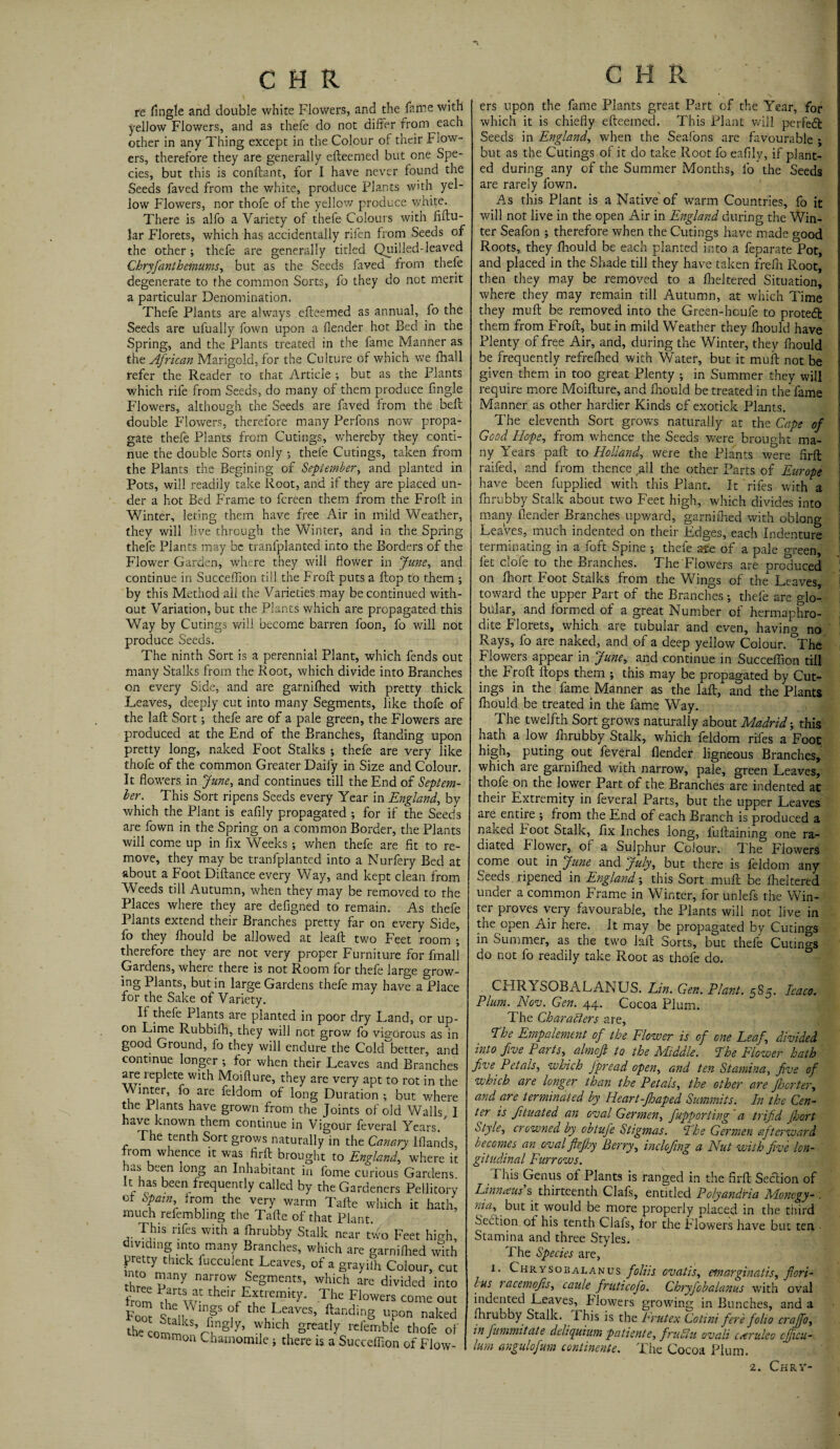 A CHR re tingle and double white Flowers, and the fame with yellow Flowers, and as thefe do not differ from each other in any Thing except in the Colour of their Flow¬ ers, therefore they are generally efteemed but one Spe¬ cies, but this is conftant, for I have never found the Seeds faved from the white, produce Plants with yel¬ low Flowers, nor thofe of the yellow produce white. There is alfo a Variety of thefe Colours with fiftu- lar Florets, which has accidentally rifen from Seeds of the other ; thefe are generally titled Quilled-leaved Chryfanthemums, but as the Seeds faved from thefe degenerate to the common Sorts, fo they do not merit a particular Denomination. Thefe Plants are always efteemed as annual, fo the Seeds are ufually fown upon a fender hot Bed in the Spring, and the Plants treated in the fame Manner as the African Marigold, for the Culture of which we fhall refer the Reader to that Article ; but as the Plants which rife from Seeds, do many of them produce fingle Flowers, although the Seeds are faved from the beft double Flowers, therefore many Perfons now propa¬ gate thefe Plants from Cutings, whereby they conti¬ nue the double Sorts only •, thefe Cutings, taken from the Plants the Begining of September, and planted in Pots, will readily take Root, and if they are placed un¬ der a hot Bed Frame to fcreen them from the Froft in Winter, leting them have free Air in mild Weather, they will live through the Winter, and in the Spring thefe Plants may be tranfplanted into the Borders of the Flower Garden, where they will flower in June, and continue in Succeffion till the Froft puts a flop to them •, by this Method all the Varieties may be continued with¬ out Variation, but the Plants which are propagated this Way by Cutings will become barren foon, fo will not produce Seeds. The ninth Sort is a perennial Plant, which fends out many Stalks from the Root, which divide into Branches on every Side, and are garnifhed with pretty thick Leaves, deeply cut into many Segments, like thofe of the laft Sort; thefe are of a pale green, the Flowers are produced at the End of the Branches, {landing upon pretty long, naked Foot Stalks ; thefe are very like thofe of the common Greater Daily in Size and Colour. It flowers in June, and continues till the End of Septem¬ ber. This Sort ripens Seeds every Year in England, by which the Plant is eafily propagated ; for if the Seeds are fown in the Spring on a common Border, the Plants will come up in fix Weeks; when thefe are fit to re¬ move, they may be tranfplanted into a Nurfery Bed at about a Foot Diftance every Way, and kept clean from Weeds till Autumn, when they may be removed to the Places where they are defigned to remain. As thefe Plants extend their Branches pretty far on every Side, fo they fhould be allowed at leaft two Feet room ; therefore they are not very proper Furniture for fmall Gardens, where there is not Room for thefe large grow¬ ing Plants, but in large Gardens thefe may have a Place for the Sake of Variety. If thefe Plants are planted in poor dry I.and, or up¬ on Lime Rubbilh, they will not grow fo vigorous as in good Ground, fo they will endure the Coldlaetter, and continue longer ; for when their Leaves and Branches are leplete with Moiflure, they are very apt to rot in the Winter, fo are feldom of long Duration ; but where the Plants have grown from the Joints of old Walls I have known them continue in Vigour feveral Years. The tenth Sort grows naturally in the Canary Blands, from whence it was firft brought to England, where it has been long an Inhabitant in feme curious Gardens, it has been frequently called by the Gardeners Pellitory of Spain from the very warm Tafte which it hath, much refembhng the Tafte of that Plant. This rifes with a fhrubby Stalk near two Feet hi^h, dividing mto many Branches, which are garnilhed with pretty thick fucculent Leaves, of a grayiih Colour, cut into many narrow Segments, which are divided into 'rom Hartw' the,rfEftre“ky- The Flowers come out F° tl T°l theuLfaves- ftandkS upon naked the lommkSVfrg y’ hlch, Srcat]y tefemble thofe of imon Chamomile; there is a Succeffion of Flow- C H R ers upon the fame Plants great Part of the Year, for which it is chiefly efteemed. This Plant will perfect Seeds in England, when the Seafons are favourable ; but as the Cutings of it do take Root fo eafily, if plant¬ ed during any of the Summer Months, fo the Seeds are rarely fown. As this Plant is a Native of warm Countries, fo it will not live in the open Air in England during the Win¬ ter Seafon ; therefore when the Cutings have made good Roots, they fhould be each planted into a feparate Pot, and placed in the Shade till they have taken frefn Root, then they may be removed to a fheltered Situation, where they may remain till Autumn, at which Time they miift be removed into the Green-hcufe to protect them from Froft, but in mild Weather they fhould have Plenty of free Air, and, during the Winter, they ihould be frequently refrelhed with Water, but it muft not be given them in too great Plenty ; in Summer they will require more Moifture, and fhould be treated in the fame Manner as other hardier Kinds of exotick Plants. The eleventh Sort grows naturally at the Cape of Good Hope, from whence the Seeds were brought ma¬ ny Years paft to Holland, were the Plants were ftrft raifed, and from thence all the other Parts of Europe have been fupplied with this Plant. It rifes with a fhrubby Stalk about two Feet high, which divides into many {lender Branches upward, garnifhed with oblong Leaves, much indented on their Edges, each Indenture terminating in a foft Spine ; thefe are of a pale green, fet dole to the Branches. The Flowers are produced on fhort Foot Stalks from the Wings of the Leaves, toward the upper Part of the Branches; thefe are glo¬ bular, and formed of a great Number of hermaphro¬ dite Florets, which are tubular and even, having no Rays, fo are naked, and of a deep yellow Colour. °The Flowers appear in June, and continue in Succeffion till the Froft flops them ; this may be propagated by Cut¬ ings in the fame Manner as the laft, and the Plants fhould be treated in the fame Way. The twelfth Sort grows naturally about Madrid-, this hath a low ftirubby Stalk, which feldom rifes a Foot high, puting out feveral {lender ligneous Branches, which aie garnifhed with narrow, pale, green Leaves, thofe on the lower Part of the Branches are indented at their Extremity in feveral Parts, but the upper Leaves are entire ; from the End of each Branch is produced a naKed foot Stalk, fix Inches long, fuftaining one ra¬ diated Flower,, of a Sulphur Colour. The Flowers come out in June and July, but there is leldom any Seeds ripened in England this Sort muft be ftieltered under a common Frame in Winter, for unlefs the Win¬ ter proves very favourable, the Plants will not live in the open Air here. It may be propagated by Cutings in Summer, as the two laft Sorts, but thefe Cutings do not fo readily take Root as thofe do. CHRYSOBALANUS. Lin. Gen. Plant. 5S5. Icaco. Plum. Nov. Gen. 44. Cocoa Plum. The Characters are, The Empalement of the Flower is of one Leaf, divided into five Parts, _ almcft to the Middle. The Flower hath five Petals, which Jpread open, and ten Stamina, five of which are longer than the Petals, the other are Jhorter, and are terminated by Heart -/leaped Summits. In the Cen¬ ter is fituated an oval Germen, fupporting a trifid fioort istyle, crowned by obtufe Stigmas. The Germen afterward becomes an oval flefihy Berry, inclofing a Nut with five lon¬ gitudinal Furrows. This Genus of Plants is ranged in the firft Seclion of Linnaus s thirteenth Clafs, entitled Polyandria Montgy- . nia, but it would be more properly placed in the third Section of his tenth Clafs, for the Flowers have but ten - Stamina and three Styles. The Species are, 1. Chrysobalanus foliis ovatis, emarginatis, fiori- lus racemojis, caule fruticofo. Chryfobalanus with oval indented Leaves, f lowers growing in Bunches, and a fhrubby Stalk. I his is the Erutex Cotini fere folio crajfio, in fiummitate deliquium patiente, frudlu ovali c<eruleo cfiicu- lum angulofum continents. The Cocoa Plum. 2. Chrv-