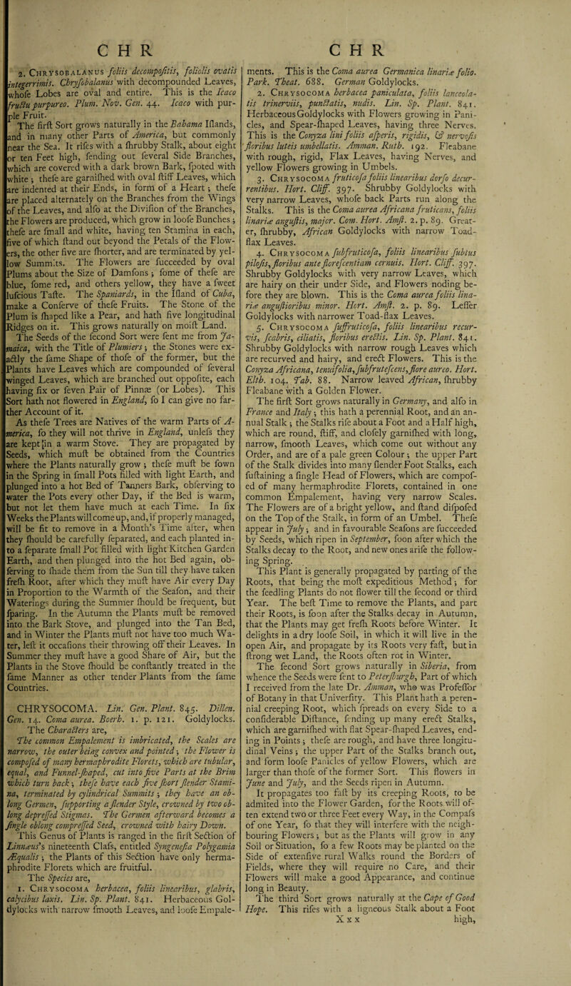 2. Chrysobalanus foliis decompofitis, foliolis ovatis integer rinds. Chryfobalanus with decompounded .Leaves, whofe Lobes are oval and entire. This is the Icaco fruftu purpureo. Plum. Nov. Gen. 44. Icaco with pur¬ ple Fruit. The firft Sort grows naturally in the Bahama Iflands, and in many other Parts of America, but commonly near the Sea. It rifes with a fhrubby Stalk, about eight or ten Feet high, fending out leveral Side Branches, which are covered with a dark brown Bark, fpoted with white ; thefe are garnifhed with oval ftiff Leaves, which are indented at their Ends, in form of a Heart •, thefe are placed alternately on the Branches from the Wings of the Leaves, and alfo at the Divifion of the Branches, the Flowers are produced, which grow in loofe Bunches ; thefe are fmall and white, having ten Stamina in each, five of which Hand out beyond the Petals of the Flow¬ ers, the other five are fhorter, and are terminated by yel¬ low Summits. The Flowers are fucceeded by oval Plums about the Size of Damfons; fome of thefe are blue, fome red, and others yellow, they have a fweet lufcious Tafte. The Spaniards, in the Ifland of Cuba, make a Conferve of thefe Fruits. The Stone of the Plum is fhaped like a Pear, and hath five longitudinal Ridges on it. This grows naturally on moift Land. The Seeds of the fecond Sort were fent me from Ja¬ maica, with the Title of Plumiers; the Stones were ex¬ actly the fame Shape of thofe of the former, but the Plants have Leaves which are compounded of feveral winged Leaves, which are branched out oppofite, each having fix or feven Pair of Pinnae (or Lobes). This Sort hath not flowered in England, fo I can give no far¬ ther Account of it. As thefe Trees are Natives of the warm Parts of A- merica, fo they will not thrive in England, unlefs they are kept^in a warm Stove. They are propagated by Seeds, which mull be obtained from the Countries where the Plants naturally grow ; thefe mull be fown in the Spring in fmall Pots filled with light Earth, and plunged into a hot Bed of Tanners Bark, obferving to water the Pots every other Day, if the Bed is warm, but not let them have much at each Time. In fix Weeks the Plants will come up, and, if properly managed, will be fit to remove in a Month’s Time after, when they fhould be carefully feparated, and each planted in¬ to a feparate fmall Pot filled with fight Kitchen Garden Earth, and then plunged into the hot Bed again, ob¬ ferving to fhade them from the Sun till they have taken frelh Root, after which they muft have Air every Day in Proportion to the Warmth of the Seafon, and their Waterings during the Summer fhould be frequent, but fparing. In the Autumn the Plants muft be removed into the Bark Stove, and plunged into the Tan Bed, and in Winter the Plants muft not have too much Wa¬ ter, left it occafions their throwing off their Leaves. In Summer they muft have a good Share of Air, but the Plants in the Stove fhould be conftantly treated in the fame Manner as other tender Plants from the fame Countries. CHRYSOCOMA. Lin. Gen. Plant. 845. Bitten. Gen. 14. Coma aurea. Boerh. 1. p. 121. Goldylocks. The Char alters are, The common Empalement is imbricated, the Scales are narrow, the outer being convex and pointed•, the Flower is compofed of many hermaphrodite Florets, which are tubular, equal, and Funnel-Jhaped, cut into five Parts at the Brim which turn back -, thefe have each five fhort Jlender Stami¬ na, terminated by cylindrical Summits -, they have an ob¬ long Germen, fupporting a flender Style, crowned by two ob¬ long depreffed Stigmas. The Germen afterward becomes a Jingle oblong compreffed Seed, crowned with hairy Down. This Genus of Plants is ranged in the firft Section of Limbus's nineteenth Clafs, entitled Syngenefia Polygamia Attqualis •, the Plants of this Sedtion have only herma¬ phrodite Florets which are fruitful. The Species are, 1. Chrysocoma herbacea, foliis linearibus, glabris, calycibus laxis. Lin. Sp. Plant. 841. Herbaceous Gol¬ dylocks with'narrow fmooth Leaves, and loofe Empale- ments. This is the Coma aurea Germanica linari# folio. Park. Theat. 688. German Goldylocks. 2. Chrysocoma herbacea paniculata, foliis lanceola- tis trinerviis, punbiatis, midis. Lin. Sp. Plant. 841. Herbaceous Goldylocks with Flowers growing in Pani¬ cles, and Spear-fhaped Leaves, having three Nerves. This is the Conyza lini foliis afperis, rigidis, & nervojis floribus luteis umbellatis. Amman. Ruth. 192. Fleabane with rough, rigid. Flax Leaves, having Nerves, and yellow Flowers growing in Umbels. 3. Chrysocoma fruticofa foliis linearibus dorfo d.ecur- rentibus. Hort. Cliff. 397- Shrubby Goldylocks with very narrow Leaves, whofe back Parts run along the Stalks. This is the Coma aurea Africana fruticans, foliis linari<£ anguftis, major. Com. Hort. A?njl. 2. p. 89. Great¬ er, fhrubby, African Goldylocks with narrow Toad¬ flax Leaves. 4. Chrysocoma fubfruticofa, foliis linearibus fubtus pilojis, floribus ante florefcentiam cernuis. Hort. Cliff. 397. Shrubby Goldylocks with very narrow Leaves, which are hairy on their under Side, and Flowers noding be¬ fore they are blown. This is the Coma aurea foliis lina- ri# anguftioribus minor. Hort. Amft. 2. p. 89. Leffer Goldylocks with narrower Toad-flax Leaves. 5. Chrysocoma fuffruticofa, foliis linearibus recur- vis, fcabris, ciliatis, floribus erebiis. Lin. Sp. Plant. 841. Shrubby Goldylocks with narrow rough Leaves which are recurved and hairy, and eredt Flowers. This is the Conyza Africana, tenuifolia,fubfrutefcens,flore aureo. Hort. Elth. 104. Tab. 88. Narrow leaved African, fhrubby Fleabane with a Golden Flower. The firft Sort grows naturally in Germany, and alfo in France and Italy -, this hath a perennial Root, and an an¬ nual Stalk •, the Stalks rife about a Foot and a Half high, which are round, ftiff, and clofely garnifhed with long, narrow, fmooth Leaves, which come out without any Order, and are of a pale green Colour; the upper Part of the Stalk divides into many flender Foot Stalks, each fuftaining a Angle Head of Flowers, which are compof¬ ed of many hermaphrodite Florets, contained in one common Empalement, having very narrow Scales. The Flowers are of a bright yellow, and ftand difpofed on the Top of the Stalk, in form of an Umbel. Thefe appear in July; and in favourable Seafons are fucceeded by Seeds, which ripen in September, foon after which the Stalks decay to the Root, and new ones arile the follow¬ ing Spring. This Plant is generally propagated by parting of the Roots, that being the moft expeditious Method; for the feedling Plants do not flower till the fecond or third Year. The beft Time to remove the Plants, and part their Roots, is foon after the Stalks decay in Autumn, that the Plants may get frelh Roots before Winter. It delights in a dry loofe Soil, in which it will five in the open Air, and propagate by its Roots very fail, but in ftrong wet Land, the Roots often rot in Winter. The fecond Sort grows naturally in Siberia, from whence the Seeds were fent to Peterfburgh, Part of which I received from the late Dr. Amman, who was Profeffor of Botany in that Univerfity. This Plant hath a peren¬ nial creeping Root, which fpreads on every Side to a confiderable Diftance, fending up many eredt Stalks, which are garnifhed with flat Spear-fhaped Leaves, end¬ ing in Points ; thefe are rough, and have three longitu¬ dinal Veins; the upper Part of the Stalks branch out, and form loofe Panicles of yellow Flowers, which are larger than thofe of the former Sort. This flowers in June and July, and the Seeds ripen in Autumn. It propagates too fall; by its creeping P„oots, to be admited into the Flower Garden, for the Roots will of¬ ten extend two or three Feet every Way, in the Compafs of one Year, fo that they will interfere with the neigh¬ bouring Flowers ; but as the Plants will grow in any Soil or Situation, fo a few Roots may be planted on the Side of extenfive rural Walks round the Borders ol Fields, where they will require no Care, and their Flowers will make a good Appearance, and continue long in Beauty. The third Sort grows naturally at the Cape of Good Hope. This rifes with a ligneous Stalk about a Foot X x x high*