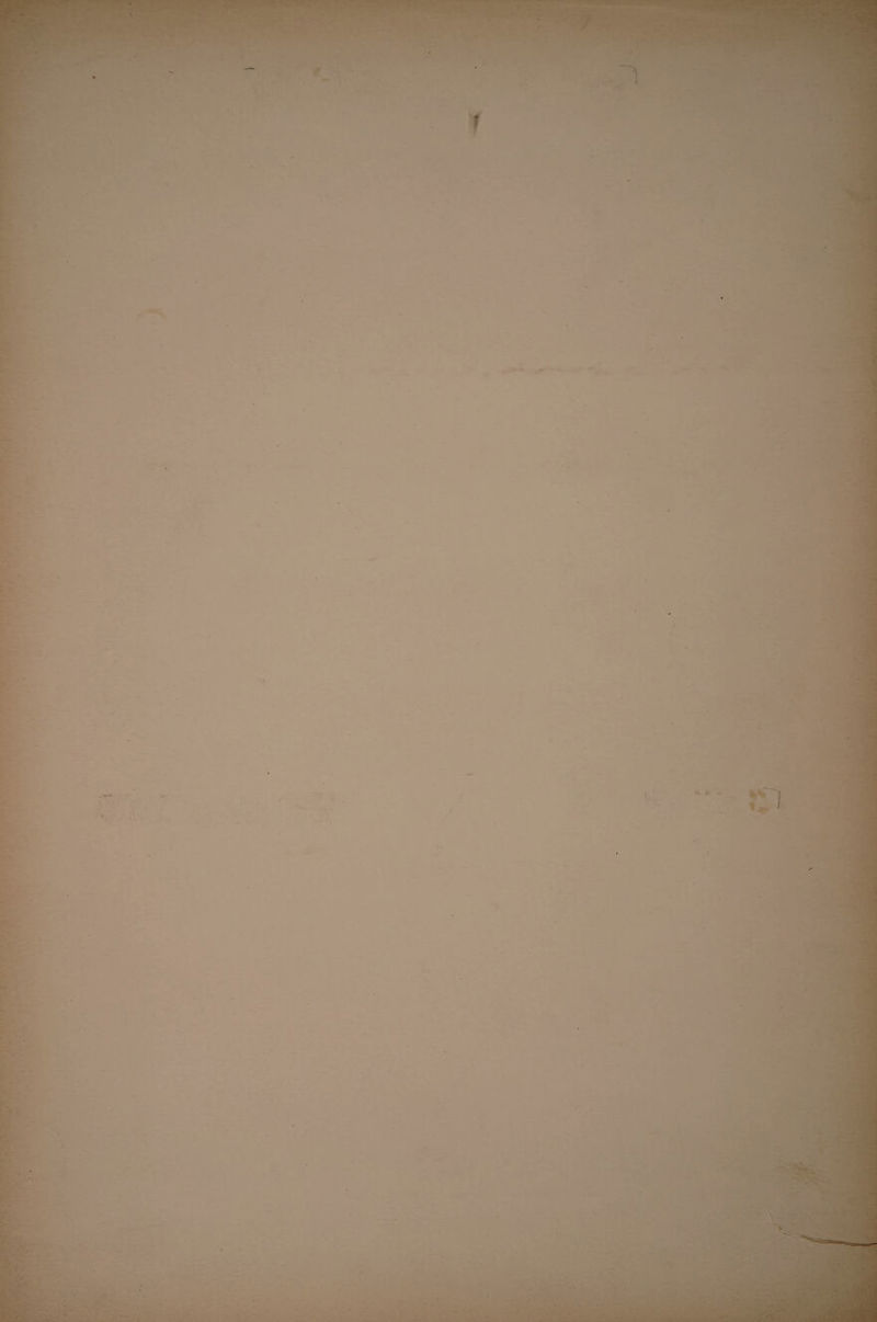 « ■ •• . . . . v * • ri .