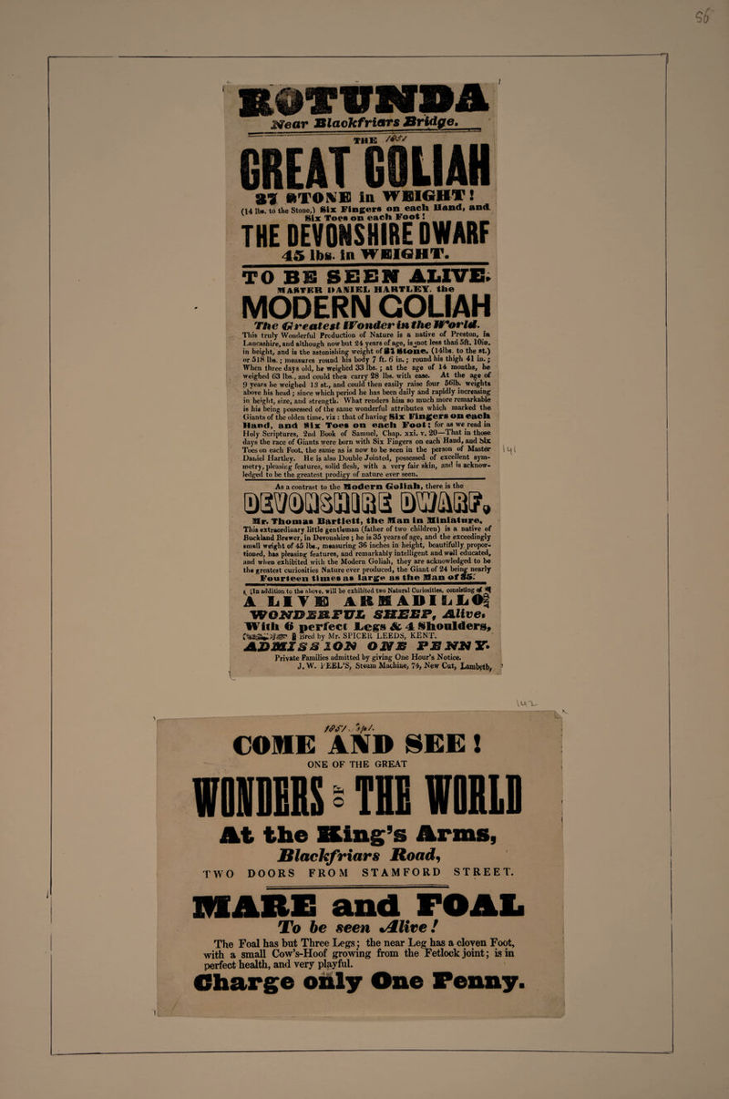 I R9TVNDA Mear Blaokfriars Bridge, the /0SS GREAT GSLIAH 39 MTOMB In WEIGHT! (14 lb., to the Stone,) Six Fingers on each Hand, and. Six Toes on each Foot! _ THE DEVONSHIRE DWARF 45 lbs, in WBIfiHT. TO BE SEEN ALIVE. MASTER DANIEL HARTLEY, the MODERN GOLIAH The Greatest Wonder in the Wortd. This truly Wonderful Production of Nature is a native of Preston, in Lancashire, and although now but 24 years of age, is^not less than 5ft. lOin. in height, and is the astonishing weight of Bt Stone. (141 bs. to the st.) or 518 11)9. ; measures round his body 7 ft. 6 in.; round his thigh 41 in. j When three days old, he weighed 33 lbs. ; at the age of 14 months, he weighed 63 lbs., and could then carry 28 lbs. with ease. At the age of 9 years he weighed IS st., and could then easily raise four 561b. weights above his head; since which period he has been daily and rapidly increasing in height, size, and strength. What renders him so much more remarkable is his being possessed of the same wonderful attributes which marked the Giants of the olden time, viz : that of having Six Finger* OH each Hand, and Six Toe* on each Foot; for as we read in Holy Scriptures, 2nd Book of Samuel, Chap. xxi. v. 20—That in those days the race of Giants were born with Six Fingers on each Hand, and Six Toes on each Foot, the same as is now to be seen in the person of Master Daniel Hartley. He is also Double Jointed, possessed of excellent sym¬ metry, pleasing features, solid flesh, with a very fair skin, and is acknow¬ ledged to be the greatest prodigy of nature ever seen. As a contrast to the Modern Goliah, there is the msm. Mr. Thomas Bartlett, the Man in Miniattire. This extraordinary little gentleman (father of two children) is a native of Buckland Brewer, in Devonshire ; he is 35 years of age, and the exceedingly small weight of 45 lb#., measuring 36 inches in height, beautifully propor¬ tioned, has pleasing features, and remarkably intelligent and well educated, and when exhibited with the Modern Goliah, they are acknowledged to be th# greatest curiosities Nature ever produced, the Giant of 24 being nearly Fourteen time* a* large as the Man f. iln addition to the above, will be exhibited two Natural Curiosities, consisting qf ^ A Ail Y S3 ARM ADILL Of VFOJNTDSRFUh &amp;2ZEEP, JSLlive* With O perfect Legs &amp; 4 Shoulders, £ Bred by Mr. SPICER LEEDS, KENT. JkJomxBs ion own psjurjfir. Private Families admitted by giving One Hour’s Notice. J. W. PEEL’S, Steam Machine, 74, New Cut, Lambeth, I4I ft>s/ .A j*/- COME AND SEE! ONE OF THE GREAT mums § tub wield At the King’s Arms, Rlachfriars Road, TWO DOORS FROM STAMFORD STREET. HI ARE and FOAL To be seen %/llire! The Foal has but Three Legs ; the near Leg has a cloven Foot, with a small Cow’s-Hoof growing from the Fetlock joint; is in perfect health, and very playful. Charge only One Fenny.