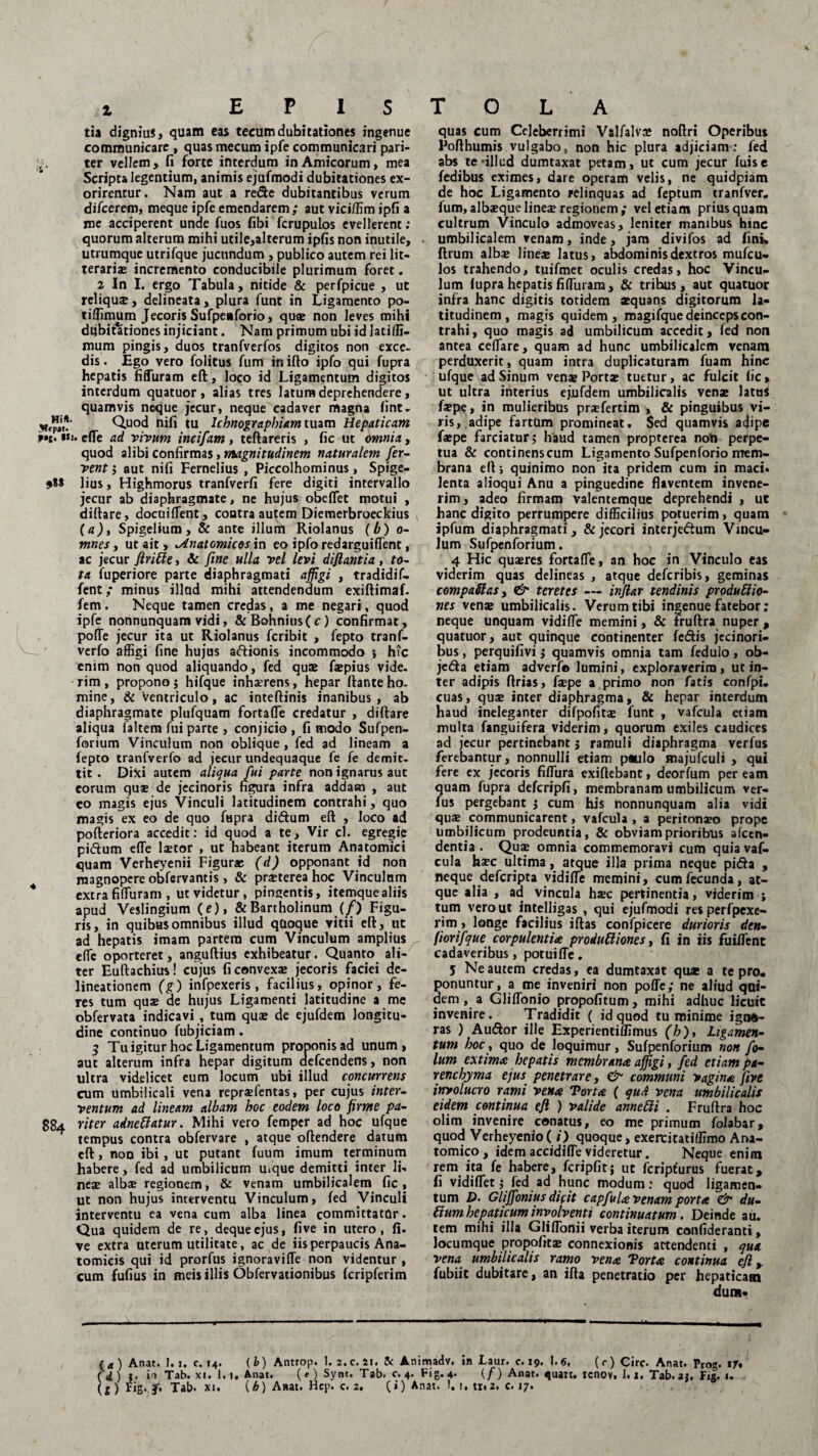 E P 1 S T O L A tia dignius, quam eas teeumdubitationes ingenue communicare , quas mecum ipfe communicari pari- ter vellem, fi forte interdum in Amicorum, mea Scripta legentium, animis ejufmodi dubitationes ex¬ orirentur. Nam aut a rede dubitantibus verum difcerem, meque ipfe emendarem; aut viciffim ipfi a me acciperent unde fuos fibi fcrupulos evellerent : quorum alterum mihi utile,alterum ipfis non inutile, utrumque utrifque jucundum , publico autem rei lit¬ teraria» incremento conducibile plurimum foret. 2 In I. ergo Tabula, nitide & perfpicue , ut reliqu®, delineata, plura funt in Ligamento po- tiffimum Jecoris Sufpeaforio, qua» non leves mihi dubitationes injiciant. Nam primum ubi id latilfi- mum pingis, duos tranfverfos digitos non exce¬ dis . Ego vero folitus fum in ifto ipfo qui fupra hepatis fiffuram eft, loco id Ligamentum digitos interdum quatuor , alias tres latura deprehendere, quamvis neque jecur, neque cadaver magna fint. Quod nifi tu Ichnographiam tuam Hepaticam «». efle ad vivum incifam, teftareris , fic ut omnia, quod alibi confirmas, magnitudinem naturalem fer¬ vent i aut nifi Fernelius , Piccolhominus, Spige- lius, Highmorus tranfverfi fere digiti intervallo jecur ab diaphragmate, ne hujus obeflet motui , diftare, docuiflent, contra autem Diemerbroeckius , (a), Spigelium, & ante illum Riolanus (b) o- mnes, ut ait, .Anatomicos in eo ipfo redarguiflent, ac jecur flritte, Sc fine ulla vel levi diftantia, to¬ ta fuperiore parte diaphragmati affigi , tradidif- fent; minus illud mihi attendendum exiftimaf- fem . Neque tamen credas, a me negari, quod ipfe nonnunquam vidi, &Bohnius(c) confirmat, pofTe jecur ita ut Riolanus fcribit , fepto tranf- verfo affigi fine hujus aftionis incommodo s hic enim non quod aliquando, fed quae f*pius vide, rim , propono $ hifque inhaerens, hepar liante ho¬ mine, & ventriculo, ac inteflinis inanibus, ab diaphragmate plufquam fortafle credatur , dillare aliqua ialtem fui parte , conjicio, fi modo Sufpen- forium Vinculum non oblique , fed ad lineam a fepto tranfverfo ad jecur undequaque fe fe demit¬ tit . Diki autem aliqua fui parte non ignarus aut eorum qu* de jecinoris figura infra addam , aut eo magis ejus Vinculi latitudinem contrahi, quo magis ex eo de quo fiipra di&um eft , loco ad pofteriora accedit: id quod a te, Vir cl. egregie pidtum efle laetor , ut habeant iterum Anatomici quam Verheyenii Figurae (d) opponant id non magnopere obfervantis, & praeterea hoc Vinculum extra fiffiuram , ut videtur, pingentis, itemque aliis apud Veslingium (e), & Bartholinum (/) Figu¬ ris, in quibus omnibus illud quoque vitii eft, ut ad hepatis imam partem cum Vinculum amplius efle oporteret, anguftius exhibeatur. Quanto ali¬ ter Euftachius! cujus fi convexae jecoris faciei de¬ lineationem (g) infpexeris, facilius, opinor, fe¬ res tum quae de hujus Ligamenti latitudine a me obfervata indicavi , tum quae de ejufdem longitu¬ dine continuo fubjiciam. 5 Tu igitur hoc Ligamentum proponis ad unum, aut alterum infra hepar digitum defcendetts, non ultra videlicet eum locum ubi i lud concurrens cum umbilicali vena repraefentas, per cujus inter¬ ventum ad lineam albam hoc eodem loco firme pa- 884 viter adneftatur. Mihi vero femper ad hoc ufque tempus contra obfervare , atque oftendere datum eft, non ibi, ut putant fuum imum terminum habere > fed ad umbilicum u/que demitti inter li¬ neae albae regionem, & venam umbilicalem fic , ut non hujus interventu Vinculum, fed Vinculi interventu ea vena cum alba linea committatur. Qua quidem de re, dequeejus, five in utero, fi. ve extra uterum utilitate, ac de iis perpaucis Ana¬ tomicis qui id prorfus ignoravifle non videntur , cum fufius in meis illis Obfervationibus fcripferim quas cum Celeberrimi Valfalva* noftri Operibus Pofthumis vulgabo, non hic plura adjiciam: fed abs te-illud dumtaxat petam, ut cum jecur fuise fedibus eximes, dare operam velis, ne quidpiam de hoc Ligamento relinquas ad feptum tranfver. fum,alba»quelineseregionem; vel etiam priusquam cultrum Vinculo admoveas, leniter manibus hinc umbilicalem venam, inde, jam divifos ad fini, ftrum albae line* latus, abdominis dextros mufcu- los trahendo, tuifmet oculis credas, hoc Vincu¬ lum (upra hepatis fiflurara, & trihus, aut quatuor infra hanc digitis totidem *quans digitorum la¬ titudinem, magis quidem, magifquedeincepscon- trahi, quo magis ad umbilicum accedit, fed non antea cellare, quam ad hunc umbilicalem venam perduxerit, quam intra duplicaturam fuam hinc ufque ad Sinum ven* Port* tuetur, ac fulcit fic, ut ultra interius ejufdem umbilicalis ven* latu* f*pe, in mulieribus praefertim , & pinguibus vi¬ ris,.adipe fartum promineat. Sed quamvis adipe f*pe farciatur; haud tamen propterea noti perpe¬ tua & continenscum Ligamento Sufpenforio mem¬ brana eft; quinimo non ita pridem cum in maci¬ lenta alioqui Anu a pinguedine flaventem invene¬ rim, adeo firmam valentemque deprehendi , ut hanc digito perrumpere difficilius potuerim, quam ipfum diaphragmati, & jecori interje&um Vincu¬ lum Sufpenforium. 4 Hic qusres fortafle, an hoc in Vinculo eas viderim quas delineas , atque deferibis, geminas compaSlas y & teretes — inftar tendinis productio¬ nes ven® umbilicalis. Verum tibi ingenue fatebor: neque unquam vidifle memini, & fruftra nuper , quatuor, aut quinque continenter fe&is jecinori- bus, perquifivi; quamvis omnia tam fedulo, ob- jeda etiam adverf© lumini, exploraverim, ut in¬ ter adipis ftrias, f*pe a.primo non fatis confpi. cuas, qu® inter diaphragma, & hepar interdum haud ineleganter difpofit® funt , vafcula etiam multa fanguifera viderim, quorum exiles caudices ad jecur pertinebant ; ramuli diaphragma verfus ferebantur, nonnulli etiam paulo majufculi , qui fere ex jecoris fiflura exiftebant, deorfum per eam quam fupra defcripfi, membranam umbilicum ver¬ fus pergebant 5 cum his nonnunquam alia vidi qu® communicarent, vafcula, a peritonso prope umbilicum prodeuntia, & obviam prioribus afeen- dentia . Qu® omnia commemoravi cum quia vaf¬ cula h®c ultima, atque illa prima neque pitfta , neque deferipta vidifle memini, cum fecunda, at¬ que alia , ad vincula h®c pertinentia, viderim ; tum vero ut intelligas , qui ejufmodi resperfpexe- rim, longe facilius iftas confpicere durioris den- fiorifque corpulentia produUiones, fi in iis fuiflent cadaveribus, potuifle. 5 Ne autem credas, ea dumtaxat qu* a te pro¬ ponuntur, a me inveniri non pofle; ne aliud qui¬ dem , a Gliffonio propofitum, mihi adhuc licuit invenire. Tradidit ( id quod tu minime igna¬ ras ) Audior ille Experientiffimus (b), Ligamen¬ tum hoc, quo de loquimur, Sufpenforium non fo- lum extima hepatis membrana affigi, fed etiam pa¬ renchyma ejus penetrare, & communi vagina five involucro rami vena Torta ( qu4 vena umbilicalis eidem continua eft ) valide annetti . Fruftra hoc olim invenire conatus, eo me primum folabar, quod Verheyenio( / ) quoque, exencitatiffimo Ana¬ tomico, idem accidiffe videretur. Neque enim rem ita fe habere, fcripfit; ut feripturus fuerat, fi vidiflet; fed ad hunc modum: quod ligamen¬ tum D. Gliffonius dicit capfula venam porta & du¬ bium hepaticum involventi continuatum. Deinde au. rem mihi illa Gliflonii verba iterum confideranti, locumque propofit® connexionis attendenti , qua vena umbilicalis ramo vena Torta continua eft, fubiit dubitare, an ifta penetratio per hepaticam dum- (rf) Anat. 1.1. c. 14. ( b) Antrop. I. 2.c. ii. & Ammadv. in Laur. c. 19. 1.6. (r) Cire. Anat. Prog. 17% (d) i. i'i Tab. xi. 1.1. Anat. ( * ) Synt. Tab. c. 4. Fig.4. (/) Anat. quart. icnov. 1.1. Tab. aj. Fig. 1.