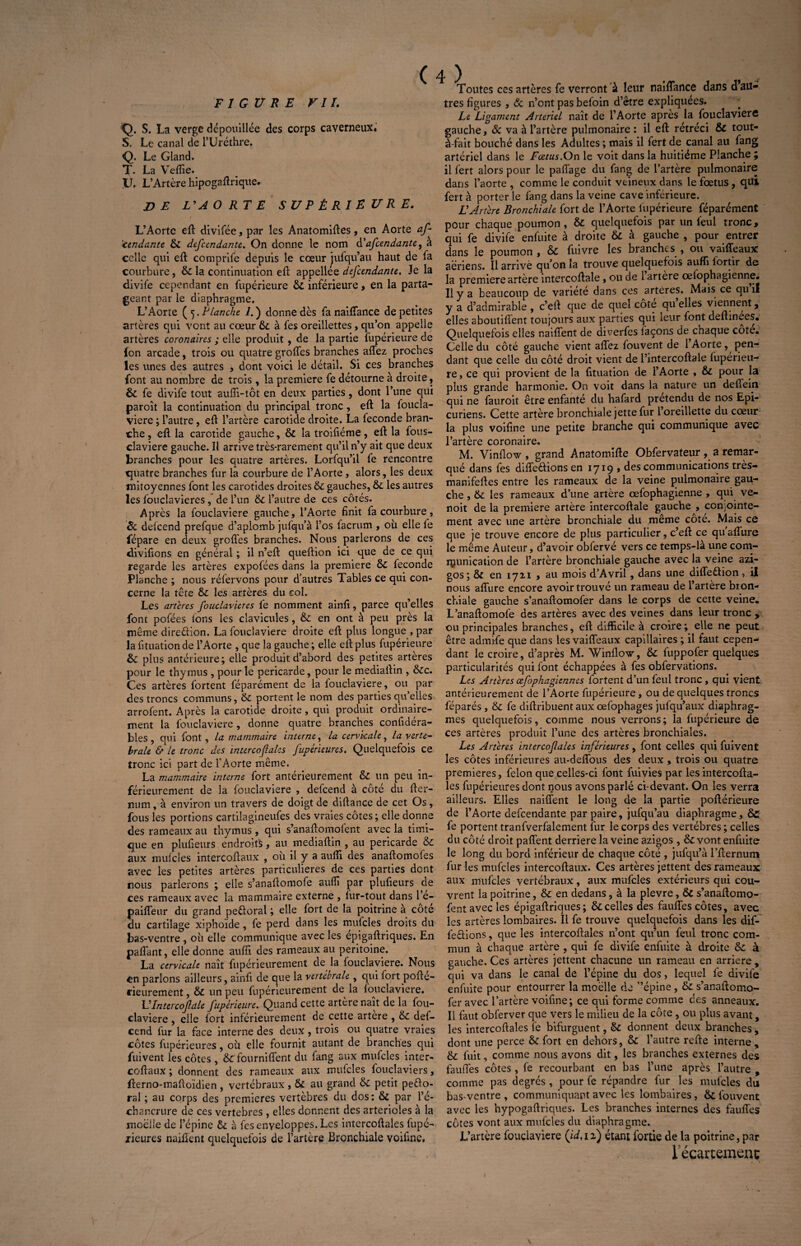 Q. S. La verge dépouillée des corps caverneux. S. Le canal de l’Uréthre. Q. Le Gland. T. La Veffie. ,U. L’Artère hipogaftrique. DE L'AO RT E SU P t RIE U RE. L’Aorte eft: divifée, par les Anatomiftes, en Aorte as¬ cendante &i defccndantc. On donne le nom d’afcendante, à celle qui eft comprife depuis le cœur jufqu’au haut de fa courbure, ôc la continuation eft appellée defcendante. Je la divife cependant en fupérieure ôc inférieure, en la parta¬ geant par le diaphragme. L’Aorte ( 5. Planche 1. ) donne dès fa naiffance de petites artères qui vont au cœur 6c à fes oreillettes, qu’on appelle artères coronaires ; elle produit , de la partie fupérieure de (on arcade, trois ou quatre groffes branches affez proches les unes des autres , dont voici le détail. Si ces branches font au nombre de trois , la première fe détourne à droite, ÔC fe divife tout auffi-tôt en deux parties, dont l’une qui paroît la continuation du principal tronc, eft la foucla- viere ; l’autre, eft l’artère carotide droite. La fécondé bran¬ che , eft la carotide gauche, 6c la troifiéme, eft la fous- claviere gauche. Il arrive très-rarement qu’il n’y ait que deux branches pour les quatre artères. Lorfqu’il fe rencontre quatre branches fur la courbure de l’Aorte , alors, les deux mitoyennes font les carotides droites ôc gauches, 6c les autres les foucîavieres, de l’un 6c l’autre de ces côtés. Après la fouclaviere gauche, l’Aorte finit fa courbure, & defcend prefque d’aplomb jufqu’à l’os facrum , ou elle fe fépare en deux grofles branches. Nous parlerons de ces divifions en général ; il n’eft: queftion ici que de ce qui regarde les artères expofées dans la première ÔC fécondé Planche ; nous réfervons pour d’autres Tables ce qui con¬ cerne la tête 6c les artères du col. Les artères foucîavieres fe nomment ainfi, parce qu’elles font pofées tons les clavicules, 6c en ont à peu près la même direûion. La fouclaviere droite eft plus longue , par la tiîuation de l’Aorte , que la gauche ; elle eft plus fupérieure 6c plus antérieure; elle produit d’abord des petites arteres pour le thymus , pour le péricarde, pour le mediaftin , ôcc. Ces artères fortent féparément de la fouclaviere, ou par des troncs communs, 6c portent le nom des parties qu’elles, arrofent. Après la carotide droite, qui produit ordinaire¬ ment la fouclaviere , donne quatre branches confidéra- bles , qui font , la mammaire interne, la cervicale, la verte- braie & le tronc des interco(laks Supérieures. Quelquefois ce tronc ici part de l'Aorte même. La mammaire interne fort antérieurement ôc un peu in¬ férieurement de la fouclaviere , defcend à côté du fter- num, à environ un travers de doigt de diftance de cet Os, fous les portions cartilagineufes des vraies côtes ; elle donne des rameaux au thymus, qui s’anaftomofent avec la timi- que en plufieurs endroits, an mediaftin , au péricarde ôc aux mufcles intercoftaux , où il y a aufti des anaftomofes avec les petites artères particulières de ces parties dont nous parlerons ; elle s’anaftomofe aufli par plufieurs de ces rameaux avec la mammaire externe , iur-tout dans l’e- paiffeur du grand pe&oral ; elle fort de la poitrine à côté du cartilage xiphoïde, fe perd dans les mufcles droits du bas-ventre , où elle communique avec les épigaftriques. En paftant, elle donne aufli des rameaux au péritoine. La cervicale naît fupérieurement de la fouclaviere. Nous en parlons ailleurs, ainfi de que la vertébrale , qui fort pofte- rieurement, 6c un peu fupérieurement de la fouclaviere. U Intercofale Supérieure. Quand cette artère naît de la fou¬ claviere , elle fort intérieurement de cette artere , 6c def¬ cend fur la face interne des deux , trois ou quatre vraies côtes fupérieures, oit elle fournit autant de branches qui fuivent les côtes , 6c fourni fient du fang aux mufcles inter¬ coftaux ; donnent des rameaux aux mufcles fouclaviers, fterno-maftoïdien , vertébraux , 6c au grand 6c petit peêlo- ral ; au corps des premières vertèbres du dos : 6c par l’é¬ chancrure de ces vertebres , elles donnent des artérioles à la moelle de l’épine 6c à fes enveloppes. Les intercoftales lupé- xieures nailknt quelquefois de l’artère Bronchiale voifine. Toutes ces artères fe verront à leur naiffance dans d’au¬ Le Ligament Artériel naît de l’Aorte apres la fouclaviere gauche, & va à l’artère pulmonaire: il eft rétréci & tout- à-fait bouché dans les Adultes ; mais il fert de canal au fang artériel dans le Fœtus.On le voit dans la huitième Planche ; il fert alors pour le paffage du fang de l’artère pulmonaire dans l’aorte , comme le conduit veineux dans le fœtus , qui fert à porter le fang dans la veine cave inférieure. U Artère Bronchiale fort de l’Aorte fupérieure féparément pour chaque poumon, 6c quelquefois par un feu 1 tronc, qui fe divife enfuite à droite 6c à gauche , pour entrer dans le poumon , 6c fuivre les branches , ou vaiffeaux aeriens. Il arrivé qu’on la trouve quelquefois aufli iortir de la première artère intercoftale, ou de 1 artère œiophagienne. Il y a beaucoup de variété dans ces artères. Mais ce qu il y a d’admirable , c’eft que de quel cote qu elles viennent, elles aboutiffent toujours aux parties qui leur font deftinees. Quelquefois elles naiffent de diverfes laçons de chaque côte. Celle du côté gauche vient allez fouvent de 1 Aorte, pen¬ dant que celle du côté droit vient de l’intercoftale fuperieu- re, ce qui provient de la fituation de l’Aorte , 6c pour la plus grande harmonie. On voit dans la nature un deffein qui ne fauroit être enfanté du hafard prétendu de nos Epi¬ curiens. Cette artère bronchiale jette fur l oreillette du cœur la plus voifine une petite branche qui communique avec l’artère coronaire. M. Vinftow , grand Anatomifte Obfervateur, a remar¬ qué dans fes différions en 1719 , des communications très- manifeffes entre les rameaux de la veine pulmonaire gau¬ che , 6c les rameaux d’une artère œfophagienne , qui ve- noit de la première artère intercoftale gauche , conjointe¬ ment avec une artère bronchiale du même côté. Mais ce que je trouve encore de plus particulier, c’eft ce qu’affure le même Auteur, d’avoir obfervé vers ce temps-là une com¬ munication de l’artère bronchiale gauche avec la veine azi- gos ; ôc en 1711 , au mois d’Avril , dans une diffeêfion , il nous affure encore avoir trouvé un rameau de l’artère bron¬ chiale gauche s’anaftomofer dans le corps de cette veine. L’anaftomofe des artères avec des veines dans leur tronc , ou principales branches, eft difficile à croire; elle ne peut être admife que dans les vaiffeaux capillaires ; il faut cepen¬ dant le croire, d’après M. Winftow, ôc fuppofer quelques particularités qui font échappées à fes obferyations. Les Artères œfophagiennes iortent d’un feul tronc, qui vient antérieurement de l’Aorte fupérieure, ou de quelques troncs féparés , ôc fe diftribuent aux œfophages jufqu’aux diaphrag¬ mes quelquefois, comme nous verrons; la fupérieure de ces artères produit l’une des artères bronchiales. Les Artères intercoflales inférieures , font celles qui fuivent les côtes inférieures au-deffous des deux , trois ou quatre premières, félon que celles-ci font fuivies par les intercofta¬ les fupérieures dont nous avons parlé ci-devant. On les verra ailleurs. Elles naiffent le long de la partie poftérieure de l’Aorte defcendante par paire, jufqu’au diaphragme, Sc fe portent tranfverfalement fur le corps des vertèbres ; celles du côté droit paffent derrière la veine azigos , 6c vont enfuite le long du bord inférieur de chaque côté , jufqu’à l’ffernum fur les mufcles intercoftaux. Ces artères jettent des rameaux aux mufcles vertébraux, aux mufcles extérieurs qui cou¬ vrent la poitrine, 6c en dedans, à la plevre, 6c s’anaftomo¬ fent avec les épigaftriques; 6ccelles des fauffes côtes, avec les artères lombaires. Il fe trouve quelquefois dans les dif¬ férions , que les intercoftales n’ont qu’un feul tronc com¬ mun à chaque artère, qui fe divife enfuite à droite 6c à gauche. Ces artères jettent chacune un rameau en arriéré , qui va dans le canal de l’épine du dos, lequel fe divife enfuite pour entourrer la moelle de ”épine, 6c s’anaftomo¬ fer avec l’artère voifine; ce qui forme comme des anneaux. Il faut obferver que vers le milieu de la côte , ou plus avant, les intercoftales le bifurguent, ôc donnent deux branches, dont une perce ôc fort en dehors, 6c l’autre refte interne y 6c fuit, comme nous avons dit, les branches externes des fauffes côtes , fe recourbant en bas l’une après l’autre , comme pas degrés , pour fe répandre fur les mufcles du bas-ventre , communiquant avec les lombaires, ôc l'ouvent avec les hypogaftriques. Les branches internes des fauffes côtes vont aux mufcles du diaphragme. L’artère fouclaviere Qd.iT) étant fortie de la poitrine, par l'écartement