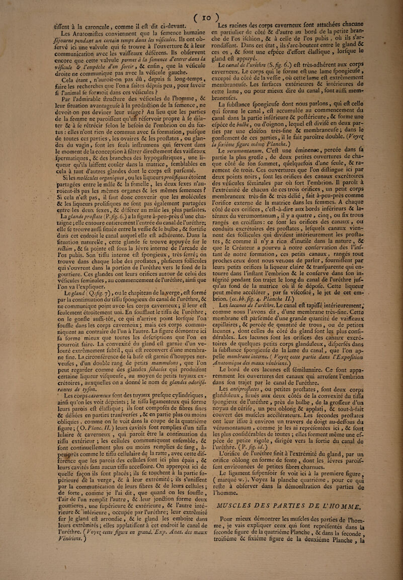 liffent à la caroncule, comme il eft dit ci-devant. Les Anatomiftes conviennent que la femence humaine fèjourne pendant un certain temps dans les véficules. Ils ont ob¬ servé ici une valvule qui fe trouve à l’ouverture & à leur communication avec les vaiffeaux déférens. Ils obfervent encore que cette valvule permet à la femence d entrer dans la vèficule & l'empêche d'en fortir, & enfin, que la véficule droite ne communique pas avec la veficule gauche. Cela étant, n’auroit-on pas dû, depuis fi long-temps, faire les recherches que l’on a faites depuis peu, pour lavoir fi r ’animal fe formoit dans ces véficules ? Par l’admirable itru&ure des véficules de l’homme, & leur fituation avantageufe à la produit ion de la femence, ne devoit-on pas deviner leur ufage? An lieu que les parties de la femme ne paroiffent qu’un réfervoir propre à le dila¬ ter à fe rétrécir félon le befoin de l’embrion ou du fœ¬ tus : elles n’ont rien de commun avec fa formation, puifque de toutes ces parties, les ovaires & les profiates , ou glan¬ des du vagin, font les feuis infirumens qui fervent dans le moment de la conception à filtrer diredement des vaiffeaux fpermatiques, & des branches des hypogaftriques , une li¬ queur qu’ils iaiffent couler dans la matrice, femblables en cela à tant d’autres glandes dont le corps efi parfemé. Si les molécules organiques , ou les liqueurs prolifiques étoient partagées entre le mâle ôi la femelle , les deux fexes n’au- roient-ils pas les mêmes organes ôc les mêmes femences ? Si cela n’eft pas, il faut donc convenir que les molécules &: les liqueurs prolifiques ne font pas également partagées entre les deux fexes, & déférer au mâle les plus parfaites. La glandeprofiate (P.fig. 6.) a la figure à-peu-près d’une châ¬ taigne ; elle entoure entièrement l’entrée du canal de Furéthre; elle fe trouve aufil fituée entre la veifie fk le bulbe, Sz fortifie dans cet endroit le canal auquel elle efl adhérente. Dans la fituation naturelle, cette glande fe trouve appuyée fur le rcclüm , & fa pointe efi: fous la lèvre interne de l’arcade de l’os pubis. Son tiflu interne efi fpongieux, très ferré; on trouve dans chaque lobe des profiates, plufieurs follicules qui s’ouvrent dans la portion de l’uréthre vers le fond de la gouttière. Ces glandes ont leurs orifices autour de celui des véficules feminales, au commencement de Furéthre, ainfi que l’on va l’expliquer. ... , Lzgland ( Q.fig- 7) > ou le chapiteau de la.verge, efi formé par la continuation du-tiflu fpongieux du canal de l’uréthre, & ne communique point avec-les corps caverneux; il leur efi feulement étroitement uni. En for.fflant le tiflu de l’uréthre ; on le gonfle aufîi-tôt, ce qui n’arrive point lorfque l’on fouffle dans les corps caverneux; mais ces corps commu¬ niquent au contraire de l’un à l’autre. La figure démontre ici fa forme mieux que toutes les descriptions que l’on en pourrait faire. La convexité du gland efi garnie d’un ve¬ louté extrêmement fubîil, qui efi recouvert d’une membra¬ ne fine. La circonférence de là baie efi garnie d’houppes ner- Veufes , d’un double rang, de petits mammelons, que l’on peut regarder comme des .glandes .febacées qui produifent certaine liqueur vifqueufe, au moyen de petits tuyaux ex¬ crétoires , auxquelles on a donné le nom de glandes odorifé¬ rantes de tyfon. . .■> ' Les corps caverneux font des tuyaux prefque cylindriques , ainfi qu’on les voit dépeints ; le tiflu ligamenteux qui forme leurs parois efi élafiiqüe; ils font compofés de fibres fines & déliées en parties tranfverfes , & en partie plus ou moins obliques , comme on le voit dans la coupe de la quatrième figure; (O. Plane. II.) leurs cavités font remplies d’un tiflu lulaire & caverneux , qui paroît être la continuation du tiflu extérieur ; les cellules communiquent enfemble, &l font continuellement plus ou moins remplies de fang, à- peu-près comme le tiflu cellulaire de la ratte, avec cette dif¬ férence que les parois des cellules font ici plus épais , & leurs cavités fans aucun tiflu accefîoire. On apperçoit ici de quelle façon ils font placés ; ils fe touchent à la partie fu- périeuré de la verge, & à leur extrémité ; ils s’unifient par la communication de leurs fibres & de leurs cellules ; de forte , comme je l’ai dit, que quand on les fouffle , i’air de l’un remplit l’autre , & - leur jon&ion forme deux gouttières, une fupérieure & extérieure, & l’autre inté¬ rieure Sz inférieure, occupée par l’uréthre; leur extrémité fur le gland efi arrondie , &L le gland les emboîte dans leurs extrémités ; elles applatiffent à cet endroit le canal de Furéthre. ( Voye{ cette figure en grand. Exp. Ânat. des maux Vénériens, ) Les racines des corps caverneux font attachées chacune en partiulier de côté &C d’autre au bord de la petite bran* che de l’os ifehion, & à celle de l’os pubis , où ils sar- rondiffent. Dans cet état, ils s’arc-boutent entre le gland Sc ces os , & font une efpéce d’effort élafiiqüe , lorfque le gland efi appuyé. Le canal de Vurèthre (S. fig. 6.) efi très-adhérent aux corps caverneux. Le corps qui le forme efi une lame fpongieufe , excepté du côté de la veffie , où cette lame efi extrêmement membraneufe. Les furfaces extérieures & intérieures de cette lame, ou pour mieux dire du canal, font aufîi niem- braneufes. La fubfiance fpongieufe dont nous parlons, qui efi celte qui forme le canal, efi accumulée au commencement du canal dans la partie inférieure & poftérieure, & forme une efpéce de bulbe, ou d’oignon, lequel efi divife en deux par¬ ties par une cloiion très-fine 6c membraneufe ; dans le gonflement de ces parties, il le fait paroître double. (Voyeç la fixième figure même Planche.) Le verumontanum. C’efi une éminenee, percee dans fa partie la plus grofîe , de deux petites ouvertures de cha¬ que côté de l’on fommet, quelquefois d’une feule, Sz ra¬ rement de trois. Ces ouvertures que l’on difiingue ici par deux points noirs , font les orifices des canaux excrétoires des véficules feminales par où fort l’embrion. Il paroît à l’extrémité de chacun de ces trois orifices , un petit corps membraneux très-fin & très délié , fait à-peu-près comme l’orifice externe de la matrice dans les femmes. A chaque côté de ces orifices, c’efl-à-dire aux bords inférieurs & la¬ téraux du verumontanum, il y a quatre , cinq, ou fix trous rangés en croiflàns : ce font les orifices des canaux , ou conduits excrétoires des profiates, lefquels canaux vien¬ nent des follicules qui divifent intérieurement les profia¬ tes , Sc comme il n’y a rien d’inutile dans la nature , &C que le Créateur a pourvu à notre confervation dès l’inf- tant de notre formation, ces petits canaux , rangés tout proches ceux dont nous venons de parler, fourniffenr par leurs petits orifices la liqueur claire & tranfparente qui en- tourre dans l’inftant l’embrion &. le conferve dans fon in¬ tégrité pendant fon trajet le long du canal de l’uréthre juf- qu’au fond de la matrice où il fe dépofe. Cette liqueur peut même accélérer , par fa vifeofité, le jet de cet em- , brion. {cc. bb.fig. 4. Planche IL) Les lacunes de turèthre. Le canal efi tapiffé intérieurement,’ comme nous l’avons dit, d’une membrane très-fine. Cette membrane èft pârfemée d’une grande quantité de vaiffeaux capillaires, ôc percée de quantité de trous, ou de petites lacunes , dont celles du côté du gland font les plus confi- dérables..Les lacunes font les orifices des canaux excré¬ toires de quelques petits corps glanduleux, difperfés dans la fubfiance fpongieufe de la lame du canal, que l’on ap¬ pelle membrane interne. ( Voye^ cette partie dans l'Expofition Anatomique des maux vénériens.) Le bord de ces lacunes efi fémilunaire. Ce font appa¬ remment les ouvertures des canaux qui arrofent l’embrion dans fon trajet par le canal de l’uréthre. Les antiprofiâtes, ou petites profiates, font deux corps glanduleux, fitués aux deux côtés de la convexité du tiffu fpongieux de Furéthre , près du bulbe , de la groffeur d’un noyau de cérife, un peu.oblong & applati , & tout-à-fait couvert des mufcles accélérateurs.. Les fécondés profiates ont leur iffue à environ un travers de doigt au-deffous du vérumontanum , comme je les ai repréfentées ici, & font les plus conlidérables de toutes ; elles forment même une ef¬ péce de petite rigole, dirigée vers la fortie du canal de Furéthre. ( P. fig. id. ) L’orifice de Furéthre finit à l’extrémité du gland, par un orifice oblong en forme de fente , dont les lèvres paroif¬ fent environnées de petites fibres charnues. Le ligament fulpenfoir fe voit ici à la première figure, ( marqué w. ). Voyez la planche quatrième, pour ce qui refte à obferver dans la démonfiration des parties de l’homme. MUSCLES DES PARTIES DE L'HOMME. Pour mieux démontrer les mufcles des parties de l’hom¬ me, je vais expliquer ceux qui font repréfentés dans U fécondé figure de la quatrième Planche , &dans la fécondé troifiéme & fixiéme figure de la deuxième Planche , la