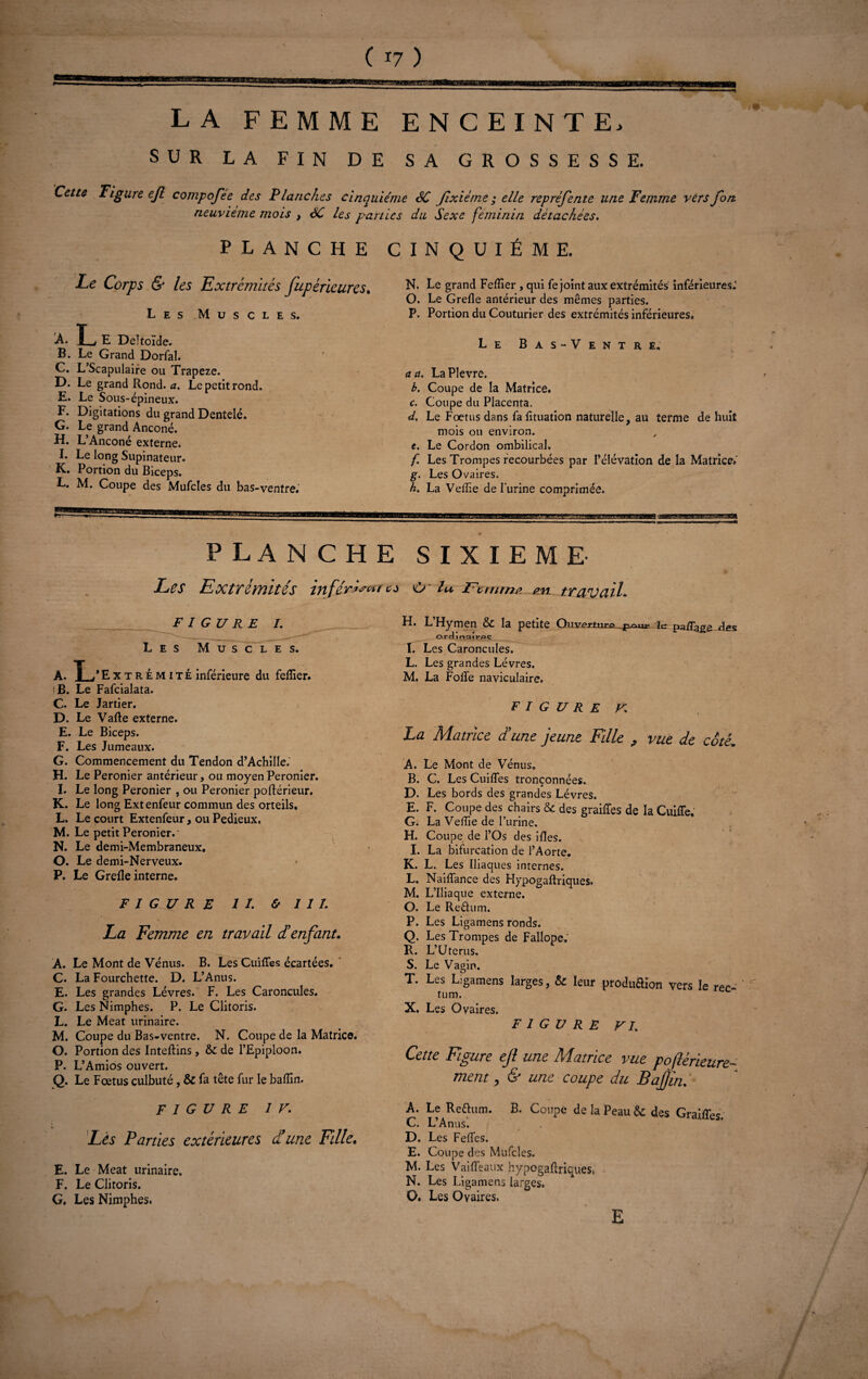 LA FEMME ENCEINTE, SUR LA FIN DE SA GROSSESSE. Cette Figure ef compofee des Planches cinquième SC Jixiétne ; elle repréfente une Femme vers fort neuvième mois , 6C Les parties du Sexe féminin détachées. PLANCHE CINQUIÈME. Le Corps & les Extrémités fupérïeures. Les Muscles. A. T t E Deltoïde. B. Le Grand Dorfal. C. L’Scapulaire ou Trapeze. D. Le grand Rond. a. Le petit rond. E. Le Sous-épineux. F. Digitations du grand Dentelé. G. Le grand Anconé. H. L’Anconé externe. I. Le long Supinateur. K. Portion du Biceps. L. M. Coupe des Mufcles du bas-ventre. N. Le grand Feflier , qui fe joint aux extrémités inférieures: O. Le Grefle antérieur des mêmes parties. P. Portion du Couturier des extrémités inférieures. Le Bas-Ventre. a a. La Plevre. b. Coupe de la Matrice. c. Coupe du Placenta. d. Le Foetus dans fafituation naturelle, au terme de huit mois ou environ. , e. Le Cordon ombilical. f Les Trompes recourbées par l’élévation de la Matrice: g. Les Ovaires. h. La Veflïe de l’urine comprimée. PLANCHE SIXIEME Les Extrémités in fermâtes O lu JFcmm# travail. FIGURE I. Les Muscles. À. T P Extrémité inférieure du feflier. B. Le Fafcialata. C. Le Jartier. D. Le Vafte externe. E. Le Biceps. F. Les Jumeaux. G. Commencement du Tendon d’Achille. H. Le Peronier antérieur, ou moyenPeronier. I. Le long Peronier , ou Peronier poftérieur, K. Le long Extenfeur commun des orteils. L. Le court Extenfeur, ou Pedieux, M. Le petit Peronier.1 N. Le demi-Membraneux, O. Le demi-Nerveux. P. Le Grefle interne. FIGURE II. & 1 I L La Femme en travail d’enfant* A. Le Mont de Vénus. B. Les Cuifîes écartées. C. La Fourchette. D. L’Anus. E. Les grandes Lèvres. F. Les Caroncules. G. Les Nimphes. P. Le Clitoris. L. Le Méat urinaire. M. Coupe du Bas-ventre. N. Coupe de la Matrice. O. Portion des Inteftins, & de l’Epiploon. P. L’Amios ouvert. Q. Le Fœtus culbuté, & fa tête fur le baflin. H. L’Hymen & la petite Onver±nra le paffage des OrdinaivPC I. Les Caroncules. L. Les grandes Lèvres. M. La Fofle naviculaire. F I G U R E K La Matrice d’une jeune Fille , vue de coté. A. Le Mont de Vénus. B. C. Les Cuifles tronçonnées. D. Les bords des grandes Lèvres. E. F. Coupe des chairs & des graiffes de la Cuiffe. G. La Veffie de l’urine. H. Coupe de l’Os des ifles. I. La bifurcation de l’Aorte. K. L. Les Iliaques internes. L. Naiflance des Hypogaftriques. M. L’Iliaque externe. O. Le Re&um. P. Les Ligamens ronds. Q. Les Trompes de Fallope. R. L’üterus. S. Le Vagin. T. Les Ligamens larges, & leur produflion vers le rec- '  tum. X. Les Ovaires. FIGURE VI. Cette Figure ef une Matrice vue poflérieure- ment, & une coupe du B afin. FIGURE IV. Lès Parties extérieures d’une Fille. E. Le Méat urinaire. F. Le Clitoris. G. Les Nimphes. A. Le Reftum. B. Coupe de la Peau & des Graiffes C. L’Anus. D. Les Fefles. E. Coupe des Mufcles. M. Les Vaifleaux hypogaftriques* N. Les Ligamens larges. O. Les Ovaires. E