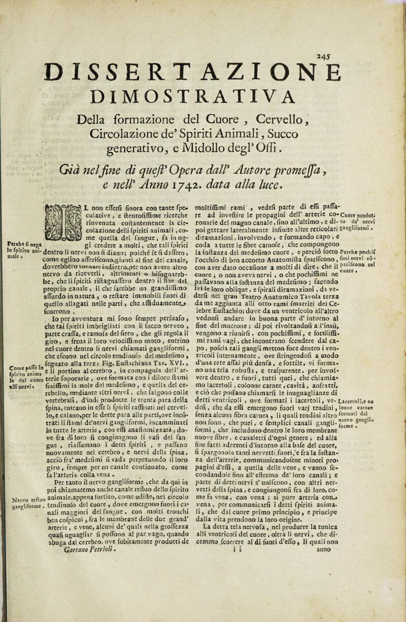 245 D ISSERT AZIONE DIMOSTRATIVA Della formazione del Cuore , Cervello, Circolazione de5 Spiriti Animali, Succo generativo, e Midollo degl’ Olii. Già nel fine di quefi’ Opera dall’ Autore promejfa, e nell’ Anno 1742. data alla luce. I non etterfi finora con tante fpe- culative , e ftentofiffime ricerche rinvenuta collantemente la cir¬ colazione delli fpirici animali, co¬ me quella del fangue, fa in og¬ gi credere a molti, che cali fpirici maig . i non fi diano; poiché fe fi dattero, come eglino alTerifcono,giunti al fine del canale, dovrebbero tornare indietro,per non avere altro nervo da riceverli, altrimenti o bifognareb- be, che li fpirici riftagnattero dentro il fine del proprio canale , il che farebbe un grandilfimo aflurdo in natura , o reftare immobili fuori di quello allagati nelle parci, che affiduamento feorrono . Io per avventura mi fono Tempre perfuafo , che tai fpiriti imbrigliati con il fucco nerveo , parte cratta, e ramofa del fiero , che gli regola il giro, e frena il loro velociffimo moto, entrino nel cuore dencro li nervi chiamati gangliformi, che efeono nel circolo tendinofo del medefimo , _ . fegnato alla terza Fig. Euftachiana Tav. XVI., farcii portino alcereòro, in compagnia dell’ar- ]c dal cuore tene foporarie , ove formata con 1 diloro Itami «Hi nervi. Sniffimi la mole del medefimo, e quella del ce¬ rebello, mediante altri nervi, che Salgono colle vertebrali, d’indi prodotte le trenta para della fpina, entrano in effe li fpiriti raffinati nel cervel¬ lo, e calano,per le dette para alle parti,ove incó* traci li Itami de’nervi gangliformi, incamminati in tutte le arterie , con etti analtomizzati, do¬ ve fra di loro fi congiungono li vali del fan gue , riattìimano i detti fpirici , e padano nuovamente nel cerebro , e nervi della fpina, acciò fra’medefimi fi vada perpetuando il loro giro, Tempre per un canale continuato, come U fa l’arteria colla vena * Per tanto il nervo gangliforme ,che da qui in poi chiamaremo anche canale refluo dello fpirito Nervo refluo animale,appena (ottico, come udilte, nel circolo gangliforme . tendinofo del cuore , dove emergono fuori i ca¬ nali maggiori del fangue, con molti tronchi ben cofpicui , fra le membrane delle due grand* arterie , e vene, alcuni de* quali nella grettezza quali uguagliar fi poflfono al par vago, quando sbuga dal cerebro, ove fobicamente prodotti de Gaetano fetvioli. moltiffimi rami , vedefi parte di effi paGa¬ re ad invertire le propagini dell* arterie co-Cuore prodot* ronarie del magno canale, fino all’ultimo , e di-to da* nervi poi gettare lateralmente infinite altre reticolari gangliformi. diramazioni, involvendo » e formando capo , e coda a tutte le fibre carnofe, che compongono la foftanza del medefimo cuore , e perciò focto Perche pochjf l’occhio di ben accorto Anatomifta fparifeono, fimi nervi co* con aver dato occafione a molti di dire, che il ^“ec°no ne cuore i o non aveva nervi , o che pochiffimi ne pattavano alla foftanza del medefimo ; facendo ivi le loro oblique, e fpirali diramazioni, da ve¬ derli nel gran Teatro Anatomico Tavola terza da me aggiunta atti otto rami fmarriti del Ce¬ lebre Euftachìo; dove da un ventricolo all’altro vedonfi andare in buona parte d’intorno al fine del mucrone,- dipoi rivoltandoli att’insu, vengono a riunirli, con pochiffimi, e fottiliffi. mi rami vagì, che incontrano Scendere dal ca¬ po , pofeia tali gangli metton foce dentro i ven¬ tricoli internamente , ove ftringendofi a modo d’una rete affai piudenfa, e Sottile, vi forma¬ no una tela robufta, e trafparente, per invol- vere dentro , e fuori, tutti quei, che chiamia¬ mo lacertoli, colonne carnee , cavità, anfratti, e ciò che portano chiamarli le inuguaglianze di detti ventricoli , ove formati i lacertoli, ve- Lacertose co defi , che da effi emergono fuori varj tendini, lonne carnee Senza alcuna fibra carnea , li quali tendini altro forman dal non fono , che puri, e Semplici canali gangli-oerr™ >§an§ '* formi, che includono dentro le loro membrane nuove fibre, e canaletti d’ogni genere , ed alla fine fatti aderenti d’intorno allabafe del cuore, fi fpargonoiu tanti nervetti fuori,e fra la foftan¬ za dell’arterie, communicandofene minori prò* pagini d’effi, a quella delle vene, e vanno fe¬ condandole fino all’ eftremo de’loro canali; e parte di detti nervi s’unifcono, con altri ner¬ vetti della fpina , e congiungonfi fra di loro, co¬ me fa vena > con vena ; sì pure arteria con_» vena , per communicarfi i detti fpiriti anima- li, che dal cuore primo principio , e principe dalla vita prendono la loro origine. La detra tela nervofa , nel produrre la tunica alli ventricoli del cuore, oltra li nervi, che di¬ cemmo Scorrere al di fuori d’effo, li quali non i i anno Psrehefi nega lo fpirito ani- dentro li