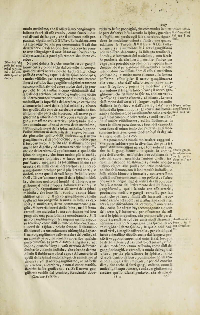 modo medefimo, che liofferviamo congìungere inficine fuori di elio cranio, come fanno li due vafìdiverfi del fangue , chefiunifcono nelle pre* paranti, efpreflì nella XIII.Tav.Euftachiana, non ad altro oggetto, che per communicarfi tali due diverfi nervi fra di loro lo fpirito,acciò fia pron- to ove bifogni.per li moti iftancaneiffenz’averlo d’afpettare dalle parti più remoce del detto ce- ^ ' rebro. Divcrfirl che Nè può dubitarli, che cotefto nervo gangli- reflui o^for!^°rme entn* * ° non c^c^11 dal cervello in compa- ml , ecnnflulgnìa dell’altri nervi, poiché la diverfità, che_> della fpinal ini paffa da cotefto, e quelli della fpina oblongata, dolla . e molto vifibile, psr le raggioni feguenti; mentre li nervi reflui, o fian gangliformi,primìeramente nafcono nella bafe del cuore molto duri, in tem¬ po , che le para influe efcono vifibilmente dal¬ la bafe del cerebro. 2.11 nervo gangliforme ufcito dal detto cuore,s’intromette con infiniti Tuoi ra. mofcelli,nella fuperficie del cerebro, e cerebello; al contrario i nervi della fpinal midolla, efcono ben groffi dalla bafe del cerebro,e terminano fot- tiliflìmi nelle parti che fcorrono. $.11 nervo gan¬ gliforme fi affocia diramato, con i vali del fan- gue , e maffime coll’arcerie, penetrando le di* lor o membrane , fino al centro delle medefime, aU’oppofto li nervi delia fpinal midolla, fuggono l’affociamento dì detti vali del fangue, braman¬ do piuttofto quello dell! mufcoi». 4. u nervo ganglifprme , è di color ofcuro, e cinereo , per il fucco nerveo, e fpirito che riaffiline, non per anche ben digefto, ed attenuato nelle lunghiffi- me vie del cerebro. Oppoftamente a quei della fpinaoblongata, che fono molto più bianchi, per contenere lo fpirito, e fucco nerveo, più purificato, mediante lafottiliffima filatura ri¬ cevuta dalli fteffi canali del cerebro. 5.Il nervo gangliforme produce per il più i rami corti, e nodofi, come quelli de’vafi fanguiferi di lui con¬ ferii . Diverfamente a quelli della fpinal midol. la, che fono molto più lunghi. 6. Il nervo gan¬ gliforme è nella propria foftanza ruvido , e tendinofo .Oppoftamente alli nervi della fpinal midolla, che fono lifci, tondi s e come bian- chifiìmi crini. 7.11 nervo gangliforme , fpeffo fpeffo nel fuo progreffo fi muta in foftanza car- nofa, e mufcolare, detta communemente gan¬ glio . Viceverfa i nervi della fpina , mai fi fanno carnofi , ne mufcolari, ma continuano nel loro progreffo una pura foftanza membranofa . 8, Il nervo gangliforme, or fi cangia in membrane, or in tendinee come dilli in mufcoli.Non così fanno lì nervi della fpina , poiehe fempre fi diramano filamentofi , e rotondamente oblonghi.p.Legato il nervo gangliforme nelle vertebre del collo , ad • * un animale vivo, lievemente apparifce qualche poco tumefarfi la parte di fotto la legatura , nel modo, quando fi lega il vafo nervofo deferente feminario , dando indicio, che afcende dentro di elfo il fluido nervofo al capo ; AI contrario di quelli della fpìnal midolla,legati,fi tumefanno al difopra. io. Il nervo gangliforme , fe nafceffe dal cerebro , al cerebro , e non al cuore manife- ftarebbe lafua groffezza- 11. Se il nervo gan¬ gliforme venifie dal cerebro » fcendendo dove- Gaetano Vetrioli. 247 rebbero le fue propaginì, che communica in tutte Union* vifibì; le para de’nervi influì accolto la fpina, guardare 11 nervi ina aU’ingiìt, ma perche egli Tale al cerebro, riguar coa ‘ re# dano le medefime unioni all’insù » per quanto Ul ’ additano le Tavole XV11I. , e XIX. Eulta- chiane . 12. Finalmente fe i nervi gangliformi non veniffero dal cuore , la foftanza tendinolà, fibrofa, e lacertorale del medefimo , non fareb¬ be prodotta da altri nervi, mentre l’unico par vago , che potrebbe ciò adempire, appena fian¬ cheggiando il pericardio,e diicendendo al ventre infimo, dona pochifiìme fibre di e(To al medefimo pericardio, e molto meno al cuore . In Comma polliamo affomigliar il nervo gangliforme.» alle vene , che dall’ufficio anche reflue chia¬ mar fi fogliono , poiché le medefime , che_? riprendono il fangue, fono ofeure ; il nervo gan¬ gliforme , che riaffiline lo fpirito, abbiam vedu¬ to effere egli anche cinereo , ed ofcuro. Le vene riaffumono dall’arterie il (angue , egli eziandio riaffume lo fpirito, e dall’arterie, e da’nervi Nervo refluo influi della fpinal midolla. Le vene fi anaftomiz- gangliforme fi zano vifibilmente, ed invifibilméte colle arterie. ™lle alJe ve* Egli nientemeno , e coll’arterie , e colli nervi in- ne * fìui fi unifee vifibilmente , ed invifibilmente in tutte le diloro para dentro, e fuori del cranio.Le vene fono di minor fenfio che l’arterie. Egli mol¬ to meno fenfitivo, come tendinofo, fi fa degl’al- tri nervi della fpina &c. Ma poniamo da banda molte altre raggioni , che potrei addurre per la diverfità, che paffa fra queftì due diftintìffimi nervi, e tornando al giro, che fa il gangliforme , il quale in compa-^er^' ' gnia dell’arterie, nell’ ufeire ben cofpicuo dalla bafe del cuore, nonlafcia l’unione di effe , fra* zi^neaneii> ar • quali fi nafeonde ed abbraccia, dando notabi- terie . liffimo vigore alle pulfazioni delle medefime , poiché fe il cuore, con il fuo impulfo baftaffe , o foffe eifolo idoneo a formarle, non averefiìmo fpeififfimol’intermitenze in un polfo sì, e l’altro nò; anzi le inegualità^ diverfità di effi polfi, na- fee più-, e meno daU'irritamento dell’ifteffi nervi gangliformi , quali falendo con effe arterie , producono nodi , e gangli carnofi , per lej parti che paffano , fimili alli Iacertoli , e co¬ lonne carnee nel cuore , ne fi affociano coili altri nervi, che difeendono dal cerebro, fe non quan¬ do , colle fueeftremità, accompagnate a quelle dell’arterie, l’incontra , per rifeuotere da effi nervi lo fpirito fuperfluo, che portano alle parti; onde i gangli nervofì, in tanti modi diramati , Anaflomofio- formano colle loro propaginì una fpecie di re-fcun-,> fra *' te turgida di detto fpirito , la quale nelli Ani-d“e d,vetfi ncr mali vivi, è meglio offervabile, per via di quel fucco animaftico rifeoffo anche dal fangue,e per¬ ciò fi veggono fempre mai uniti fra di loro con le dette arterie . Anzi dentro del torace , e fuo¬ ri del medefimo vanno teffendo, come dilli de’ gang!;' oblonghi, e carnofi, a modo dei vaghi di olive , per via piu raffinare lo fpirito , cho circola dentro di loro , polli fra due corde ten- dinofea foggia delli mufcoli , e per ciò convien dire , che anche li detti gangli coftano, come li mufcoli, di capo, ventre,e coda, e giuilamente credere quello dianzi penfavo, che dentro di ì i z noi