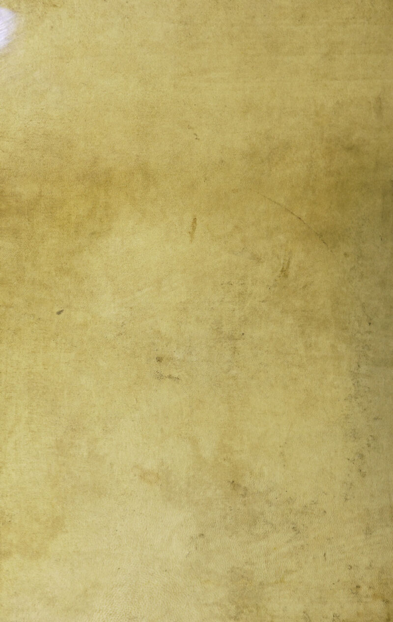 ' ■\ ■ . ■ •• '«fri- '■*. r-% . v i./i ’VM!*- * . ?V> • S -Wi V/ Jk. -* ‘ ■ :&4, . j ' . ' ^ fl/fr ijM i urti «fi» t ■.V ■ ■ ■■/; » X® £ J fi ■?:■*:' * // V V*. •1 - v' ’ ì: * . ’ ^ ■ - •- ' :■ M • . .--.A* 4 ' ~f. • • V *> . V» ' A-' * V % »fc //AVVVW . V 1. , ’.'.u: •■* ■ ò ' o SiMf* y, * m ■ A*k« . . v.r ^ ^ ^•«11 • ,ì V- w1-#* -*?* ’ •' ; &