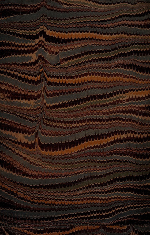 digitised image 3