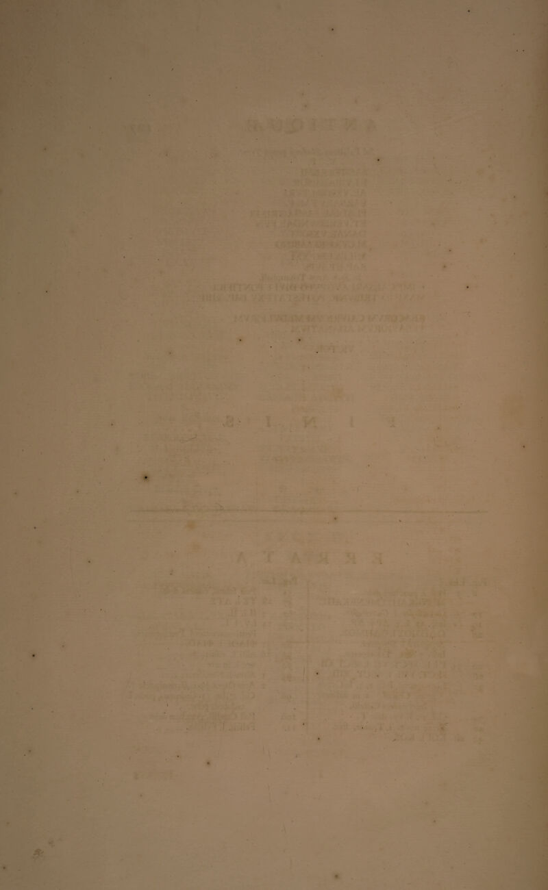 ■ ! i ■ K , . < # A T f ■/ it' *>