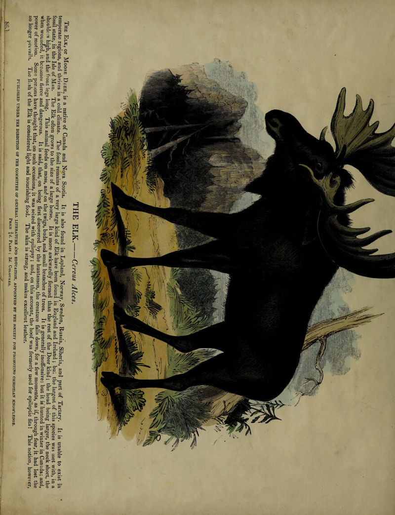 CHRISTIAN KNOWLEDGE.