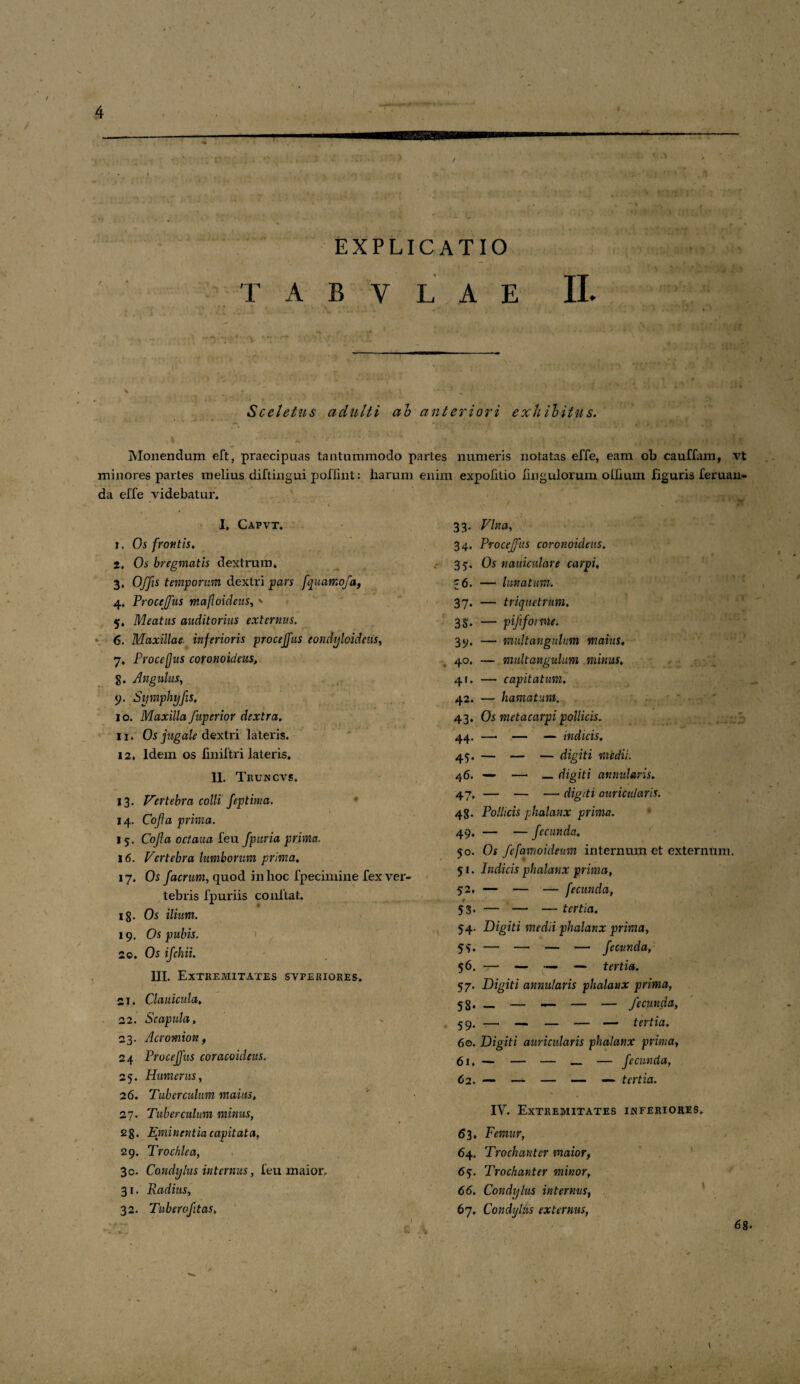 J. 4 EXPLICATIO T A B V L A E IL i:r ifJCtAa Ai i '• Sceletus adulti ab anteriori exhibitus. r Monendum eft, praecipuas tantummodo partes numeris notatas effe, eam ob cauffam, vt minores partes melius diftingui poffint; harum enim expolitio Angulorum o Ilium figuris fer nan¬ da effe videbatur. I, Capvt. i . Os frontis. 2, Os bregmatis dextrum. 3, Offis temporum dextri pars fquamofa, 4, Proccjfus mafloideus, ' 5, Meatus auditorius externus. 6, Maxillae inferioris proceffus eondyloideus, 7, Proceffus coronoideus, 8» Angulus, 9. Symphyfrs. 10. Maxilla fuperior dextra, 11. Os jugale dextri lateris. 12. Idem os fmiftri lateris. 11. Truncvs. 13. Vertebra colli feptima. 14. Cofra prima. 15. Cofra octaua feu fpuria prima. 16. Vertebra lumborum prima. 17. Os faerum, quod in hoc fpecimine fex ver¬ tebris fpuriis conflat. 18. Os ilium. 19. Os pubis. 20. Os ifchii. III. Extremitates svperiores. 1 ■ Si. Clani cula. 22. Scapula, 23. Acromion, 24 Proceffus coracoideus. 25. Humerus, 26. Tuberculum maius, 27. Tuberculum minus, 2 8. Eminentia capitata, 29. Trochlea, 30. Condylus internus, feu maior, 31. Radius, 32. Tuberofitas, 33. 34. Proceffus coronoideus. 35. Os nauiculare carpi, -6. — lunatum. 37' 3S 39 4°' 41 42 - triquetrum. - pifrforme. - multangulum maius. - multangulum minus, - capitatum. - hamatum. 43. Os metacarpi pollicis. 44. —• — —• indicis. 45. — — — digiti midii. 46. — — _digiti annularis. 47. —• — — digiti auricularis. 48. Pollicis phalanx prima. 49. — — fecunda. 50. Os fefamoideum internum et externum. 51. Indicis phalanx prima, 52. — — — fecunda, 53. — — — tertia. 54. Digiti medii phalanx prima, 55. — —* — — fecunda, 56. — — — — tertia. 57. Digiti annularis phalanx prima, 58. — — — — — fecunda, 59. —. — — — — tertia. 60. Digiti auricularis phalanx prima, 61. — — — _ — fecunda, 6 2. — — — — — tertia. IY. Extremitates ijsferiores. 63. Femur, 64. Trochanter maior, 65. Trochanter minor, 66. Condylus internus, 67. Condylus externus, 68*