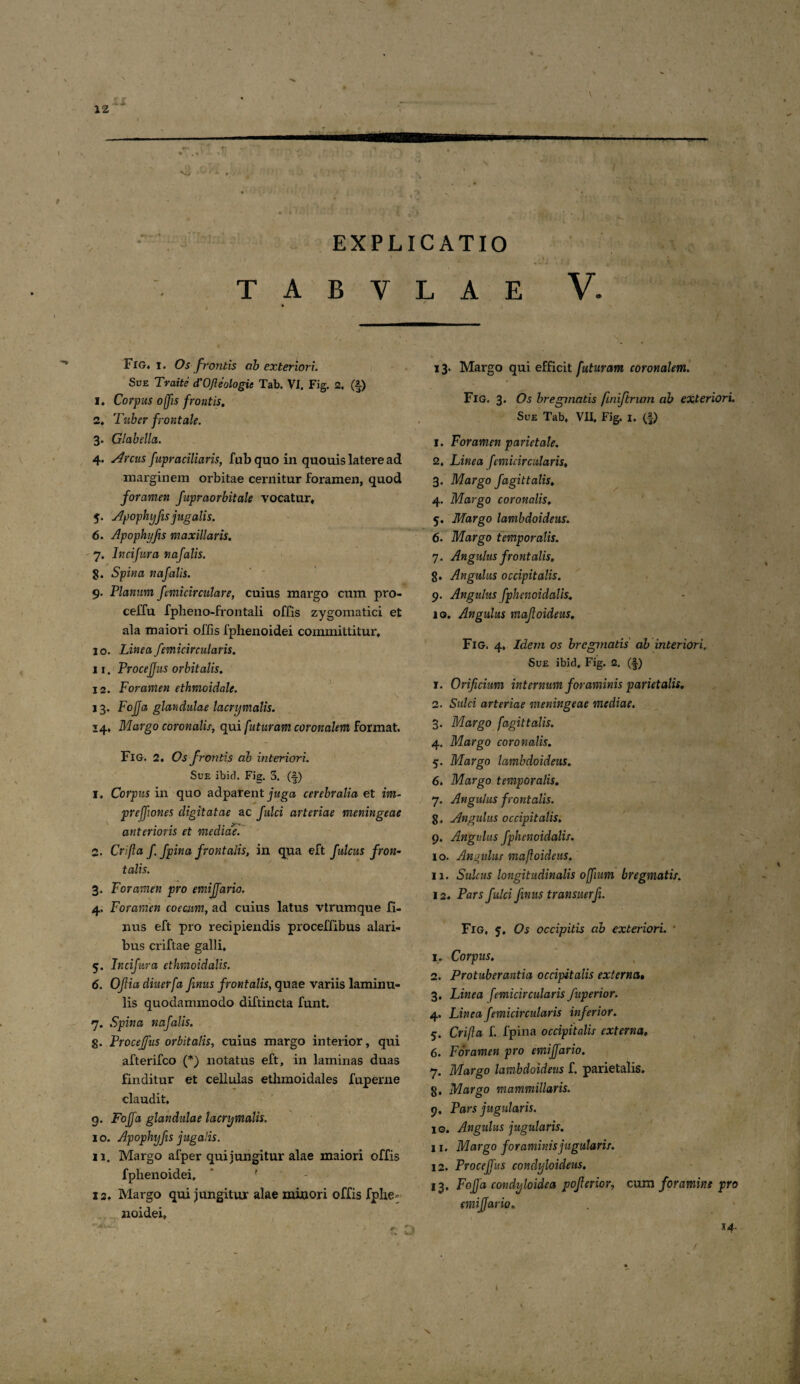 EXPLICATIO T A B V Fig, i. Os frontis ab exteriori. Sue Traite d'OJleologie Tab. VI. Fig. 2. (i) i* Corpus offis frontis. 2. Tuber frontale. 3. Glabella. 4. Arcus fupraciliaris, fub quo in quouis latere ad marginem orbitae cernitur foramen, quod foramen fupraorbitale vocatur, y. Apophyfis jugalis. 6. Apophyfis maxillaris. 7, Incifura nafalis. g. Spina nafalis. 9. Planum femicirculare, cuius margo cum pro- ceffu fpheno-frontali offis zygomatici et ala maiori offis fphenoidei committitur, 10. Linea femicircularis. 11. ProceJJus orbitalis. 12. Foramen ethmoidale. 13. FoJJa glandulae lacrymalis. 14. Margo coronalis, qui futuram coronalem format. FlG. 2. Os frontis ab interiori. Sue ibici. Fig. 3. (-|) 1. Corpus in quo adparent juga cerebralia et int- preffiones digitatae ac fulci arteriae meningeae anterioris et mecliaie. 2. Crifla f. fpina frontalis, in qua eft fulcus fron¬ talis. 3. Foramen pro emijfario. 4. Foramen coeam, ad cuius latus vtrumque fi¬ lius eft pro recipiendis proceffibus alari¬ bus criftae galli, 5. Incifura ethmoidalis. 6. OJl ia diuerfa finus frontalis, quae variis laminu- lis quodammodo diftincta funt. 7. Spina nafalis. g. Proceffus orbitalis, cuius margo interior, qui afterifco (*) notatus eft, in laminas duas finditur et cellulas ethmoidales fuperne claudit. 9. FoJJa glandulae lacrymalis. 10. Apophy fis jugalis. 11. Margo afper qui jungitur alae maiori offis fphenoidei, ' ' 12. Margo qui jungitur alae minori offis fphe¬ noidei. L A E V. 13. Margo qui efficit futuram coronalem. Fig. 3. Os bregmatis finiftrum ab exteriori. Sue Tab. VII. Fig. 1. (f) 1. Foramen parietale. 2. Linea fcmicircularis. 3. Margo fagittalis. 4. Margo coronalis. 5. Margo lambdoideus. 6. Margo temporalis. 7. Angulus frontalis, g. Angulus occipitalis. 9. Angulus fphenoidalis, 10. Angulus rnafoideus. Fig. 4. Idem os bregmatis ab interiori. Sue ibici, Fig. 2. (•§) 1. Orificium internum foraminis parietalis. 2. Sulci arteriae meningeae mediae. 3. Margo fagittalis. 4. Margo coronalis. 5. Margo lambdoideus. 6. Margo temporalis. 7. Angulus frontalis. g. Angulus occipitalis. 9. Angulus fphenoidalis. 10. Angulus mafloideus. 11. Sulcus longitudinalis offimm bregmatis. 12. Pars fulci finus transuerfi. Fig, y. Os occipitis ab exteriori. ■ 1. Corpus. 2. Protuberantia occipitalis externa• 3. Linea femicir cularis fuperior. 4. Lineafemicircularis inferior. 5. Crifa f. fpina occipitalis externa, 6. Foramen pro emijfario. 7. Margo lambdoideus f. parietalis, g. Margo mammillaris. 9. Pars jugulans. 10. Angulus jugularis. 11. Margo foraminis jugularis. 12. Proceffus condyloideus. 13. Foffa condyloidea pofferior, cum foramine pro emijfario.