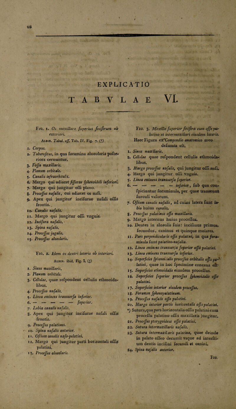 / f 16 ■ - ——- nrmxSKMM*sm UMiaifMI ■ HIMI11 --- ... ' ; ■ . • n > ■ ...... • ; ✓ ' ~,i I tW ■<:.* ' ’ ' • 'A *.< 1 .. . , a* - -c ' ■ , *j> jl ■ > .V . - . » • . . t JL « J '« 4 V. v‘ - •■* ■ i - ' r- ji .  • x • •••.•' '«i ■ .V' ;.f * v.  , h f > 1 ! f *) • *V- * * *%. EXPLICATIO T A B Y . . .. 'n>'w **••* tzs . j Fig. i* Oa maxillare fuperius fmiftrum ab exteriori. Albin. Tabui. oJJ.Tab, IV. Fig. 7. (’) 1. Corpus. 2. Tuberofitas, in qua foramina alueolaria pofte- riora cernuntur. 3. Foffa maxillaris. 4. Planum orbitale. 5. Canalis infraorbitalis. 6. Margo qui adi acet fijfurde fphenoidali inferiori. 7. Margo qui jungitur offi plano. 8- Proceffus nafalis, cui adiacet os nafi. 9. Apex qui jungitur incifurae nafali offis frontis^ 10. Canalis nafalis. 11. Margo qui jungitur offi vnguis. 12. Incifura nafalis, < 13. Spina nafalis. 14. Procejf as jugalis, 15. Proceffus aheolaris. Fig. 2. Idem os dextri lateris ab interiori. Albin. ibid. Fig. 3. Q) 1. Sinus maxillaris, 2. Planum orbitale. 3. Cellulae, quae refpondent cellulis ethmoida¬ libus, 4. Proceffus nafalis. 5. Linea eminens transuerfa inferior. 6. — — — — — fuperior. 7. Labia canalis nafalis, g. Apex qui jungitur incifurae nafali offis frontis. 9. Proceffus palatinus. 10. Spina nafalis anterior. 11. 0(1 ium canalis nafo-palatini, 12. Margo qui jungitur parti horizontali offi$ palatini. 13. Proceffus aheolaris. L A E VI, . r I _ Fig. 3. Maxilla fuperior fvniftr a cum offe pa¬ latino et intermaxillari eiusdem lateris. Haec Figura ex*Compendio anatomico meo defumta elt, 1. Sinus maxillaris, 2. Cellulae quae refpondent cellulis ethmoida¬ libus, 3. Margo proceffus nafalis, qui jungitur offi nafi. 4. Margo qui jungitur offi vnguis. 5. Linea eminens transuerfa fuperior. 6. —i 1 —» — — inferior, fub qua con- fpiciuntur foraminula, per quae transeunt furculi vaforuni. 7. Ofium canalis nafalis, ad cuius latera funt la¬ bia huius canalis. g. Proceffus palatinus offis maxillaris. 9. Margo internus huius proceffus, 10. Dentes in alueolis fuis: incifiuus primus, fecundus, caninus et quinque molares. 11. Pars perpendicularis offis palatini, in qua fora- minula funt palatino-nafalia. 12. Linea emittens transuer/a fuperior offik palatini. 13. Linea eminens transuerfa inferior. 14. Superficies fphenoidalis proceffus orbitalis offis pamX latini, quae iu hoc fpecimine concaua eft* i 5. Superficies ethmoidalis eiusdem proceffus. 16. Superficies fuperior proceffus fphenoidalis offis palatini, 17, Superficies interior eiusdem proceffus. 1 g. Foramen fphenopalatinum. 19. Proceffus nafalis offis palatini, 20. Margo interior partis horizontalis offis palatini. *) Sutura,qua pars horizontalis offis palatini cum proceffu palatino offis maxillaris jungitur. 21. Proceffus pterygoideus offis palatini, \ 22. Sutura intermaxillaris nafalis. 23. Sutura intermaxilaris palatino, quae deinde in palato offeo decurrit vsque ad interfti- um dentis incifiui fecundi et canini. 24. Spina nafalis anterior. Fig. \