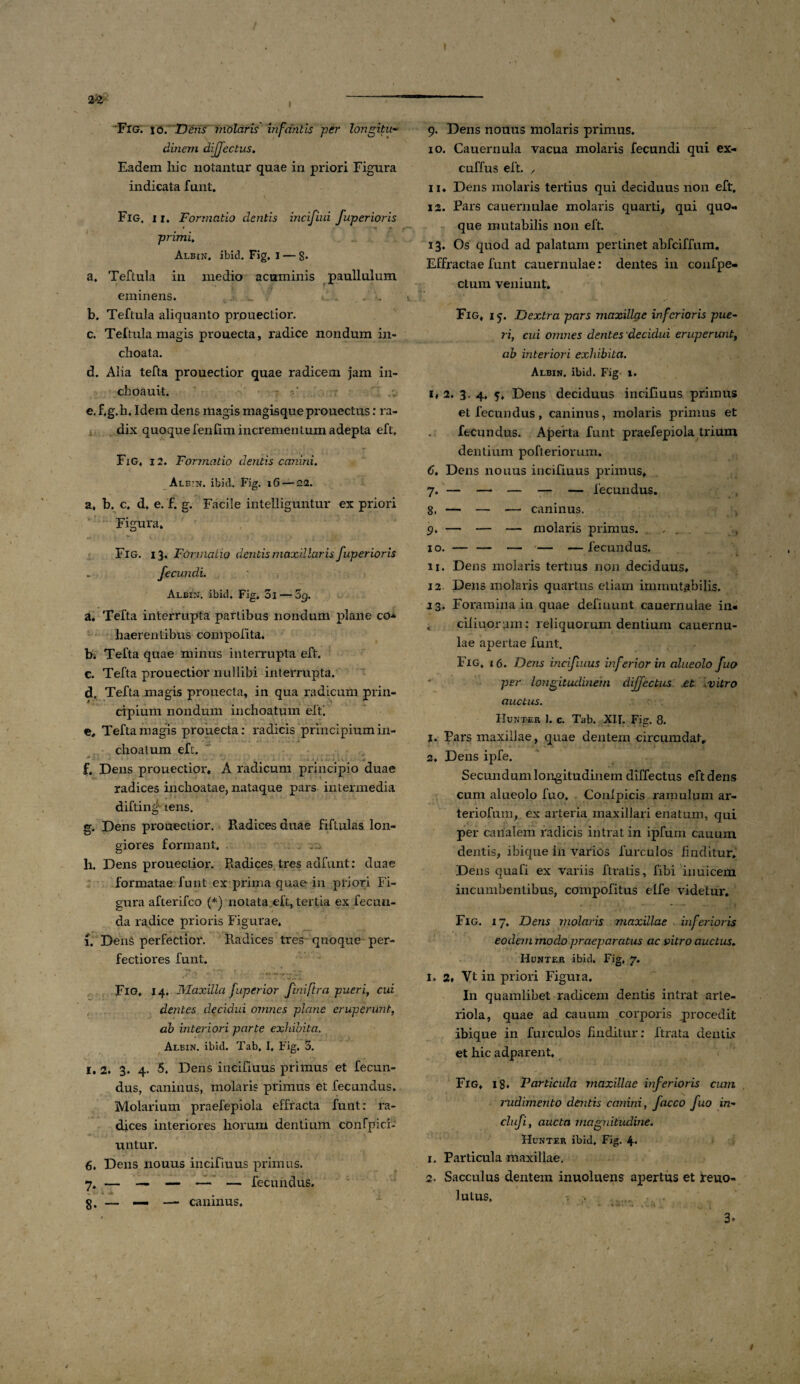 2-2 FlG. io. Dens molaris infantis per longitu- dinern diffectus. Eadem liic notantur quae in priori Figura indicata funt. FlG, i i. Formatio dentis incifiui fuperioris primi. Albin, ibid. Fig, 1 — 8* a. Teftula in medio acuminis paullulum eminens. b. Teftula aliquanto prouectlor. c. Teftula magis prouecta, radice nondum in¬ choata. d. Alia tefta prouectior quae radicem jam in- choauit. e. f.g.h. Idem dens magis magisqueprouectus: ra¬ dix quoque fenfiui incrementum adepta eft. FiG. i 2. Formatio dentis canini. Alb:n. ibid. Fig. 16—22. a, b. c, d. e. f. g. Facile intelliguntur ex priori Figura. Fig. 13. Formalia dentis maxillaris fuperioris fecundi. Albin. ibid. Fig. 01 — 09. a. Tefta interrupta partibus nondum plane co* haerentibus compofita. b. Tefta quae minus interrupta eft. c. Tefta prouectior nullibi interrupta. d. Tefta magis prouecta, in qua radicum prin¬ cipium nondum inchoatum eft! c, Tefta magis prouecta: radicis principium in¬ choatum eft. f. Dens prouectior. A radicum principio duae radices inchoatae, nataque pars intermedia diftingf- tens. g. Dens prouectior. Radices duae fiftulas lon¬ giores formant. h. Dens prouectior. Radices tres adfunt: duae formatae funt ex prima quae in priori Fi¬ gura afterifco (*) notata eft, tertia ex fecun¬ da radice prioris Figurae» 1. Dens perfectior. Radices tres quoque per¬ fectiores funt. Fio, 14. Maxilla fuperior finiftra pueri, cui dentes decidui omnes picine eruperunt, ab interiori parte exhibita. Albin. ibid. Tab, I, Fig. 5. i. 2. 3. 4. 5. Dens incifiuus primus et fecun¬ dus, caninus, molaris primus et fecundus. Molarium praefepiola effracta funt: ra¬ dices interiores horum dentium confpici- untur. 6. Dens nouus incifiuus primus. 7. — — — — — fecundus, g. — — — caninus. 9. Dens nouus molaris primus. 10. Cauernula vacua molaris fecundi qui ex- cuffus eft. , 11. Dens molaris tertius qui deciduus non eft. 12. Pars cauernulae molaris quarti, qui quo¬ que mutabilis non eft. 13. Os quod ad palatum pertinet abfciffum. Effractae funt cauernulae: dentes in confpe- ctum veniunt. Fig, 15. Dextra pars maxillae inferioris pue¬ ri, cui omnes dentes decidui eruperunt, ab interiori exhibita. Albin. ibid. Fig 1. 1« 2. 3. 4, 5, Dens deciduus incifiuus primus et fecundus, caninus, molaris primus et fecundus. Aperta funt praefepiola trium dentium pofteriorum. C. Dens nonus incifiuus primus, 7. — — — — — fecundus. 8. — — — caninus. 9. — — — molaris primus. ....... j 10. — — — — — fecundus. 11. Dens molaris tertius non deciduus, 12 Dens molaris quartus etiam immutabilis. 13. Foramina in quae defiuunt cauernulae in- i cifiuoram: reliquorum dentium cauernu¬ lae apertae funt. Fig, i 6. Dens incifiuus inferior in alueolo fuo per longitudinem diffectus et vitro auctus. Hunter I. c. Tab. XII. Fig. 8. 1. Pars maxillae, quae dentem circumdat, 3, Dens ipfe. Secundum longitudinem diffectus eft dens cum alueolo fuo. Conlpicis ramulum ar- teriofum, ex arteria maxillari enatum, qui per canalem radicis intrat in ipfum cauum dentis, ibique in varios furculos finditur. Dens quafi ex variis ftratis, fibi inuicem incumbentibus, compofitus eife videtur, Fig. 17. Dens jnolaris maxillae inferioris eodem modo praeparatus ac vitro auctus. Hunter ibid. Fig, 7. 1. 2, Vt in priori Figuia. In quamlibet radicem dentis intrat arte¬ riola, quae ad cauum corporis jirocedit ibique in furculos finditur: ftrata denti.? et hic adparent, Fig, i g* Particula maxillae inferioris cum rudimento dentis canini, facco fuo in- clufi, aucta magnitudine. Hunter ibid, Fig. 4- 1. Particula maxillae. 2. Sacculus dentem inuoluens apertus et reuo- lutus, *. ;. • V •** • . ... ‘ \ w