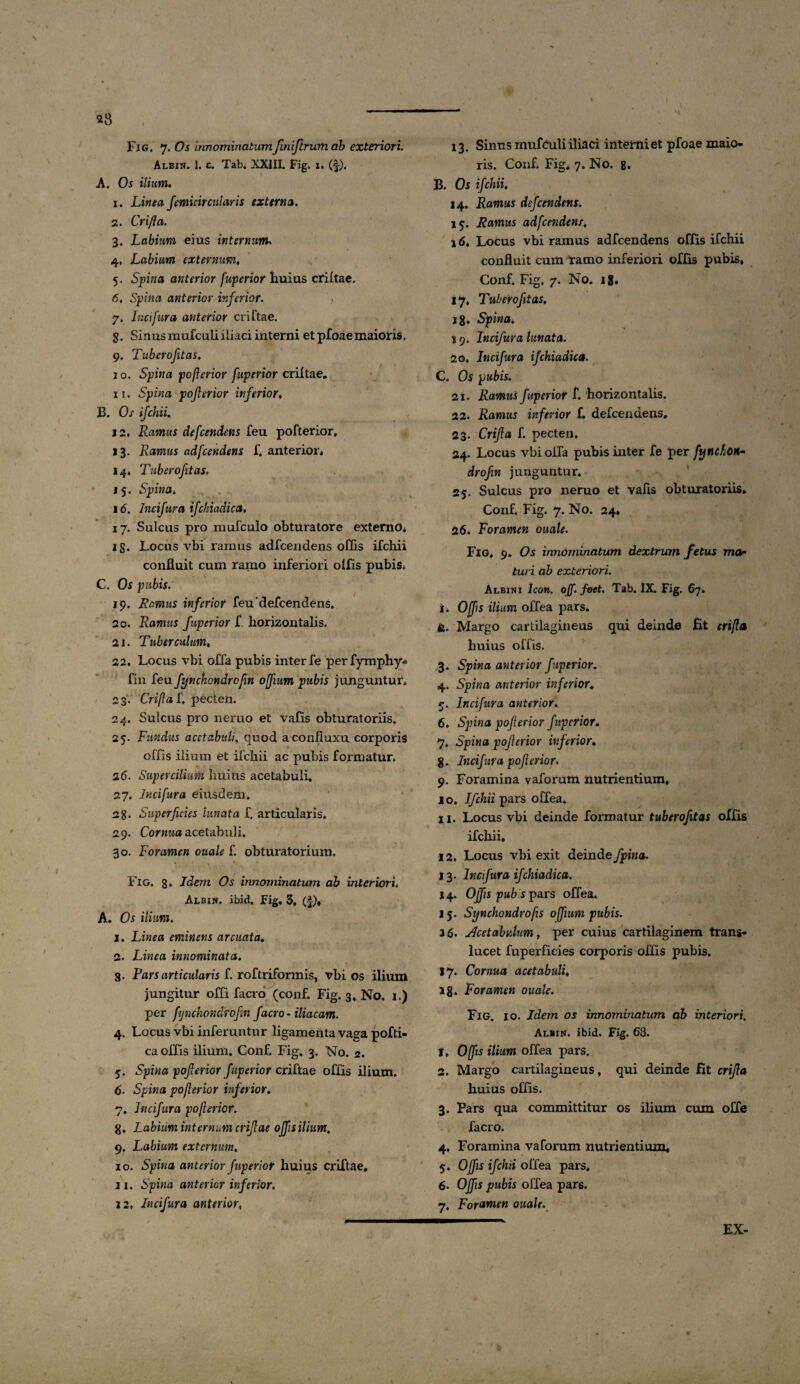 23 s Fig. 7. Os mnominatum finiftrwti ab exteriori. Albin. 1. c. Tab. XXIII. Fig. x. (f). A. Os ilium. 1. Linea femicircularis externa. 2. Crijla. 3. Labium eius internum. 4. Labium externum. 5. Spina anterior fuperior huius criltae. 6. Spina anterior inferior. 7. Incifur a anterior criftae. $. SinusmufcuLiiliaci interni et pfoaemaioris. 9. Tuberofitas. 10. Spina po ferior fuperior criltae. 11. Spina pojlerior inferior. B. Os ifchii. 12. Ramus defcendens feu pofterior, 13. Ramus adfcendens f. anterior» 14. Tuberofitas. 15. Spina, 16. Incifura ifckiadica. 17. Sulcus pro mufculo obturatore externo» ig. Locus vbi ramus adfcendens offis ifchii confluit cum ramo inferiori olfis pubis» C. Os pubis. 19. Ramus inferior feu‘defcendens. 20. Ramus fuperior f horizontalis. 21. Tuberculum. 22. Locus vbi offa pubis inter fe per fymphy- fin feu fynchondrofin offium pubis junguntur. 23. Crtfta f, pecten. 24. Sulcus pro 11 eruo et vafis obturatoriis. 25. Fundus acetabuli, quod aconfluxu corporis offis ilium et ifchii ac pubis formatur. 26. Supercilium huius acetabuli» 27. Incifura eiusdem. 28. Superficies lunata f. articularis. 29. Cornua acetabuli. 30. Foramen ouale f. obturatorium. Fig. 8» Idem Os innoviinatum ab interiori. Albin. ibid. Fig* 3, (f), A. Os ilium. I. Linea eminens arcuata. 2- Linea innominata. 3. Lars articularis f. roftriformis, vbi os ilium jungitur offi facro (conf. Fig. 3, No. 1.) per fynchondrofin facro - iliacam. 4. Locus vbi inferuntur ligamenta vaga pofti- ca offis ilium. Conf. Fig. 3. No. 2. 5. Spina pojlerior fuperior criftae offis ilium. 6. Spina poflerior inferior. 7. Incifura poflerior. g. Labium internum crifiae ojfisilium, 9. Labium externum. 10. Spina anterior fuperior huius criftae. II. Spina anterior inferior. 12. Incifura anterior. 13. Sinus mufculi iliaci interni et pfoae maio¬ ris. Conf. Fig* 7. No. 8, B. Os ifchii, 14. Ramus defcendens. 15. Ramus adfcendens, 16. Locus vbi ramus adfcendens offis ifchii confluit cum ramo inferiori offis pubis. Conf. Fig. 7. No. 18' 17. Tuberofitas. ig. Spina. * 9. Incifura lunata. 20. Incifura ifchiadica. C. Oi pubis. a i. Ramus fuperior f. horizontalis. 22. Ramus inferior f. defcendens. 23. Crijla f. pecten. 24. Locus vbi offa pubis inter fe per fynchon- drofin junguntur, 25. Sulcus pro neruo et vafis obturatoriis. Conf. Fig. 7. No. 24. 26. Foramen ouale. Fig. 9. Os innominatum dextrum fetus ma> turi ab exteriori. Albini Icon. ojf. foet. Tab. IX. Fig. 67. i. Offis ilium offea pars. e. Margo cartilagineus qui deinde fit crifla huius offis. 3. Spina anterior fuperior. 4. Spina anterior inferior, r. Incifura anterior. 6. Spina poflerior fuperior. 7. Spina pojlerior inferior. g. Incifura pojlerior. 9. Foramina vaforum nutrientium, 10. Ifchii pars offea. xi. Locus vbi deinde formatur tuberofitas olfis ifchii. 12. Locus vbi exit deinde /pina. 13. Incifura ifchiadica. 14. Offis pub s pars offea. j 5. Synchondrofs offium pubis. 2 6. Acetabulum, per cuius cartilaginem trans* lucet fuperficies corporis offis pubis. 17. Cornua acetabuli. 18* Foramen ouale. Fig. io. Idem os innominatum ab interiori. Albin. ibid. Fig. 68. 1. Offis ilium offea pars. 2. Margo cartilagineus, qui deinde fit crijla huius offis. 3. Pars qua committitur os ilium cum offe facro. 4. Foramina vaforum nutrientium. 5. Offis ifchii offea pars. 6» Offis pubis offea pars. 7. Foramen ouale.