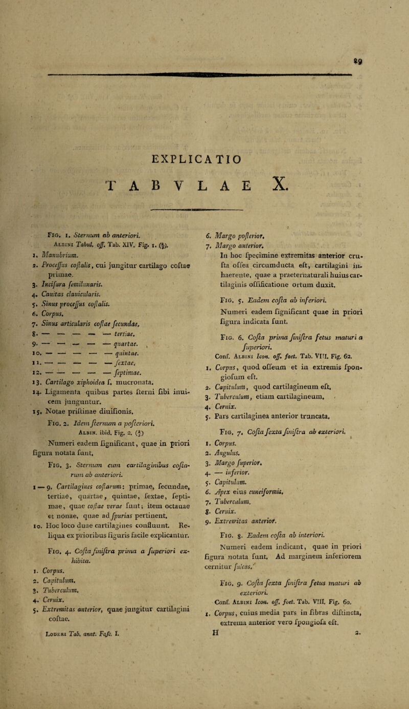 ?9 t EXPLICATIO r A B Y L A E X. Fig, i. Sternum ab anteriori. Albini Tabui. oJJTab. XIV. Fig. t. (§). 1. Manubrium. 2. Procejfus cojlalis, cui jungitur cartilago cofta e primae. 3. Incifura femilunaris. 4. Cauitas clauicularis. 5. Sinus procejfus cojlalis. 6. Corpus, 7. Sinus articularis cojlae fecundae, 8* — —- — — — tertiae, 9- — — — — — quartae. „ * 10. — — — — — quintae. 12. -— — — feptimae. 13. Cartilago xiphoidea f. mucronata. 14. Ligamenta quibus partes fterni fibi inui- cem junguntur. 15. Notae priftinae diuifionis. Fig. 2. Idem fternum a pofteriori. Albin. ibid. Fig. 2. (-J) Numeri eadem fignificant, quae in priori figura notata funt. Fig, 3. Sternum cum cartilaginibus cofta- rum ab anteriori. I 9. Cartilagines cojlarum*. primae, fecundae, tertiae, quartae, quintae, fextae, fepti¬ mae, quae cojlae verae funt; item octauae et nonae, quae ad fpurias pertinent. 10. Hoc loco duae cartilagines confluunt. Re¬ liqua ex prioribus figuris facile explicantur. Fig, 4. Cofta finiftra prima a fuperiori ex- hibita. 1. Corpus. 2. Capitulum. 3. Tuberculum, 4. Ceruix. 5. Extremitas anterior, quae jungitur cartilagini coftae. 6. Margo pofcnor, 7, Margo anterior. In hoc fpecimine extremitas anterior cru- fta offea circumducta eft, cartilagini in¬ haerente, quae a praeternaturali huius car¬ tilaginis offiAcatione ortum duxit. Fig. 5, Eadem cofta ab inferiori. Numeri eadem fignificant quae in priori figura indicata funt. Fig. 6. Cofta prima finiftra fetus maturi a fuperiori. Conf. Albini Icon. ojf. foet. Tab. VITI. Fig. 62. 1. Corpus, quod offeum et in extremis fpon- giofum eft. 2. Capitulum, quod cartilagineum eft, 3. Tuberculum, etiam cartilagineum, 4. Ceruix. 5. Pars cartilaginea anterior truncata, Fig, 7, Cofta fexta finiftra ab exteriori. 1. Corpus. 2. Angulus. 3. Margo fuperior. 4. —< inferior. 5. Capitulum. 6. Apex eius cuneiformis, 7. Tuberculum. 8. Ceruix. 9. Extremitas anterior. I • Fig. 8- Eadem cofta ab interiori. Numeri eadem indicant, quae in priori figura notata funt. Ad marginem inferiorem cernitur [ulcus/ Fig. 9. Cofta fexta finiftra fetus maturi ab exteriori. Conf. Albini Icon. ojf. foet. Tab. VIII. Fig. 60. l. Corpus, cuius media pars in fibras diftincta, extrema anterior vero fpongiofa eft.