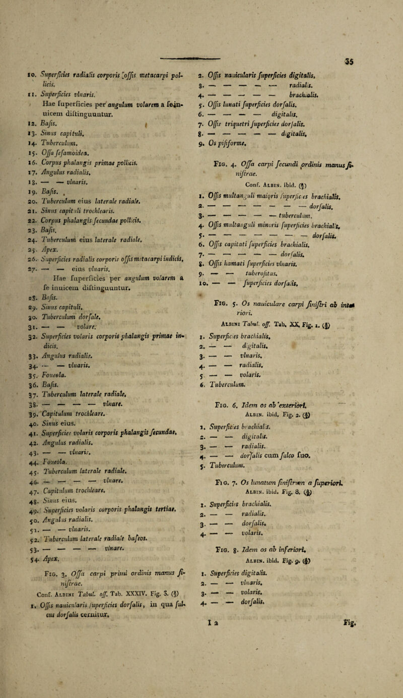 35 10. Superficies radialis corporis 'offis metacarpi pol¬ licis. 11. Superficies vitiaris. Hae luperficies per angulum volarem a fe-in- uicem diltinguuutur. 12. Bafis. t 13. Sinus capituli. 14. Tuberculum. 15. Offafefamoidea. 16. Corpus phalangis primae pollicis. 17. Angulus radialis, 18. —* — vlnaris. 19. 4 20. Tuberculum eius laterale radiale. 21. Simis capituli trochlearis. 22. Corpus phalangis fecundae pollicis. 23. Bafis. 24. Tuberculum eius laterale radiale. 25. /7pf;r. 26. Superficies radialis corporis offis metacarpi indicis. 27. — — eius vlnaris. Hae fuperficies per angulum volarem a fe inuicem diftinguuntur. 2$. Bafis. 29. Sinus capituli. 30. Tuberculum dorfale. 31. — — volare. 32. Superficies volaris corporis phalangis primae in* dicis. 33. Angulus radialis. 34. — — vlnaris. 35. Foueela. 36. Bafis. 37. Tuberculum laterale radiale. 38. — — — — vlnare. 39. Capitulum trochleare. 40. Sinus eius. 41. Superficies volaris corporis phalangis fecundae. 42. Angulus radialis. 43. — — vlnaris. 44. Toueola. 45. Tuberculum laterale radiale. 46. — — — — vlnare. 47. Capitulum trochleare. 48. Sinus eius, 49. Superficies volaris corporis phalangis tertiae. 50. Angulis radialis. 51. — — vlnaris. 5 2. Tuberculum laterale radiale bafeos. 53, — — — — vlnare. 54. Apex. Fig. 3. Offa, carpi primi ordinis manus Ji- niftrae. Conf. Albini Tabui, off. Tab. XXXIV. Fig. 3. (f) l, 0[fis nauicularis fuperficies dor falis, in qua ful¬ cus dorfalis cernitur. 2. Offis nauicularis fuperficies digitalis. 3. — — — — — radialis. 4. — — — — — bradualis. 5. Offis lunati f uperficies dorfalis. 6. — —• — — digitalis. 7. Offis triquetri fuperficies dorfalis. 8- — — — — — digitalis. 9. Os pififorme. Fig. 4, Offa carpi fecundi ordinis manus Ji- niftrae. Conf. Albin. ibid. (*■) 1. Offis multanguli maiqris fuperficies brachialis. 2. — — ■— — — — — dorfalis. 3« — — — — — tuberculum, 4. Offis multanguli minoris fuperficies brachialis. 5* — — — — — — — dorfalis. 6. Offis capitati fuperficies brachialis. 7. — —• — — — dorfalis. 8. 'Offis hamati fuperficies vlnaris. 9. — — tuberofitas. 10. — —■ fuperficies dorfalis. FlG. 5. Os nauiculare carpi Jiniftri ab intt* riori. Aibini Tabui, off. Tab. XX. Fig. 1. I. Superficies brachialis. — — digitalis, — — vlnaris, — — radialis. — — volaris. Tuberculum. Fig. 6. Idem os ab 'exteriori. Albin. ibid, Fig. 2. 1. Superficies brachialis. 2. — — digitalis. 3. — — radialis. 4. — —• dorfalis cum falco fuo. 5. Tuberculum. Fl G. 7. Os lunatum finiftrwn a fuperiorL Albin. ibid. Fig, 8. x. Superficies brachialis. 2. — — radialis. 3. — — dorfalis. 4. — — volaris. \ Fig. 8. Idem os ab inferiori. Albin. ibid. Fig. 9. ($) 1. Superficies digitalis. 2. — *— vlnaris, 3. — — volaris. 4. — — dorfalis. I 2 Fig.
