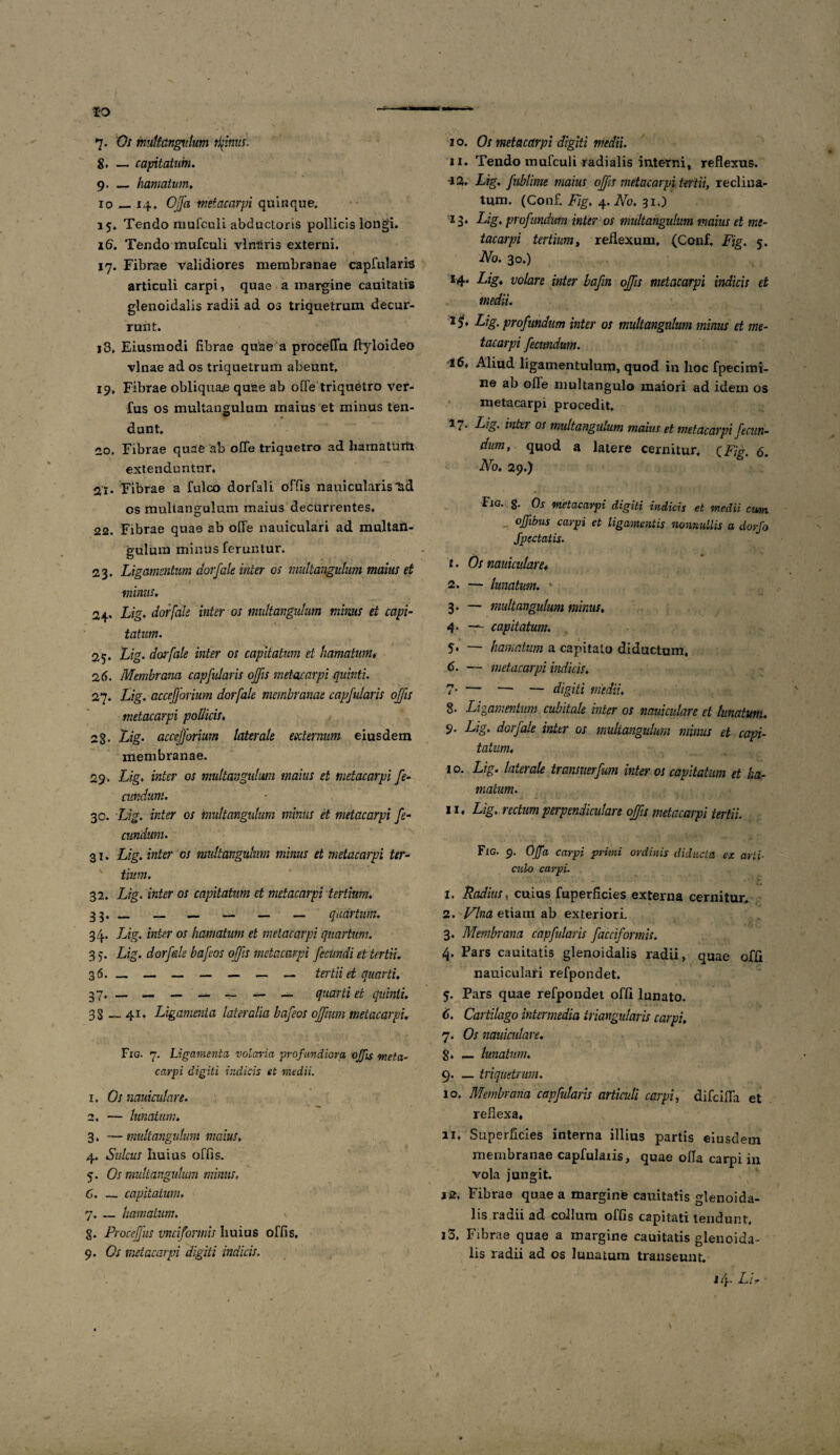 7- Os multangulum trinus. 8. — capitatum. 9. — hamatum, 10 — 14. Offa metacarpi quinque. 15. Tendo mufenii abductoris pollicis longi. 16. Tendo mufculi vlmiris externi. 17. Fibrae validiores membranae capfularis articuli carpi, quae a margine cauitatis glenoidalis radii ad os triquetrum decur¬ runt. i3, Eiusmodi fibrae quae a proceflfu ftyloideo vlnae ad os triquetrum abeunt. 19. Fibrae obliqna.e quae ab ofle triquetro ver- fus os multangulum maius et minus ten¬ dunt. co. Fibrae quae ab ofTe triquetro ad liamatuffi extenduntur. 21. Fibrae a fulco dorfali offis nauicularis*ad os multangulum maius decurrentes. 22. Fibrae quae ab ofle nauiculari ad multail- gulum minus feruntur. 23. Ligamentum dorfale inter os multangulum maius et mimis. 24. Lig. dotfah inter os multangulum minus et capi¬ tatum. 25. Lig. dorfale inter os capitatum et hamatum♦ 26. Membrana capfidaris offis metacarpi quinti. 27. Lig. accefforium dorfale membranae capfularis offis metacarpi pollicis. 23. Lig. accefforium laterale eecternum eiusdem membranae. 29. Lig. inter os multangulum maius et metacarpi fe¬ cundum. 30. Lig. inter os multangulum minus et metacarpi fe¬ cundum. 31. Lig. inter os multangulum minus et metacarpi ter- v tium. 32. Lig. inter os capitatum ct metacarpi tertium. 35. _ _. — — — — quartum. 34. Lig. inter os hamatum et metacarpi quartum. 3 5. Lig. dorfale bafeos offis metacarpi Jeciindi et tertii. 36. — — — — — — — tertii et quarti. 37. — — — — —- — — quarti et quinti. 33 __ 41, Ligamenta lateralia bafeos offium metacarpi. Fig. 7. Ligamenta volaria profundiora offis meta¬ carpi digiti indicis et medii. 1. Os nauiculare. 2. — lunatum. 3. — multangulum maius. 4. Sulcus huius offis. 5. Os multangulum minus, C. __ capitatum. 7. _ hamatum. g. Proceffus vnciformis huius offis. 9. Os metacarpi digiti indicis. 10. Os metacarpi digiti medii. 11. Tendo mufculi radialis interni, reflexus. -12. Lig. fublime maius offis metacarpi tertii, reclina¬ tum. (Conf. Fig. 4. ATo. 31.) 13. Lig. profundum inter os multangulum maius et me¬ tacarpi tertium, reflexum, (Conf, Fig. 5. No. 30.) 14. Lig, volare inter bafin offis metacarpi indicis et medii. Lig, profundum inter os multangulum minus et me¬ tacarpi fecundum. 16, Aliud ligamentulum, quod in hoc fpecimi- ne ab ofle multangulo maiori ad idem os metacarpi procedit, inter os multangulum maius et metacarpi fecun¬ dum, quod a latere cernitur, (.Fig. 6. No. 29.) Fig. g. Os metacarpi digiti indicis et medii cum offibus carpi et ligamentis nonnullis a dorfo Spectatis. t. Os nauiculare, I. — lunatum. v 3. — multangulum minus. 4. — capitatum. 5. — hamatum a capitato diductum, 6. — metacarpi indicis. 7* — — — digiti medii. 8- Ligamentum cubitale inter os nauiculare et lunatum. 9. Lig. dorfale inter os multangulum minus et capi¬ tatum, 1 o. Lig. laterale transuerfum inter os capitatum et ha¬ matum. II, Lig, rectum perpendiculare offis metacarpi tertii. Fig. 9. Offa carpi primi ordinis diducta ex arti¬ culo carpi. 1. Radius, cuius fuperficies externa cernitur. 2. Vina etiatn ab exteriori. 3. Membrana capfularis facciformis. 4. Pars cauitatis glenoidalis radii, quae offi nauiculari refpondet. $. Pars quae refpondet offi lunato. 6. Cartilago intermedia triangularis carpi, 7. Os nauiculare. g. __ lunatum. 9. _ triquetrum. 10. Membrana capfularis articuli carpi, difcifla et reflexa» 11. Superficies interna illius partis eiusdem membranae capfulaxis, quae ofla carpi in vola jungit. j2. Fibrae quae a margine cauitatis glenoida¬ lis radii ad collum offis capitati tendunt, i5. Fibrae quae a margine cauitatis glenoida¬ lis radii ad os lunatum transeunt. 14. Li- ■