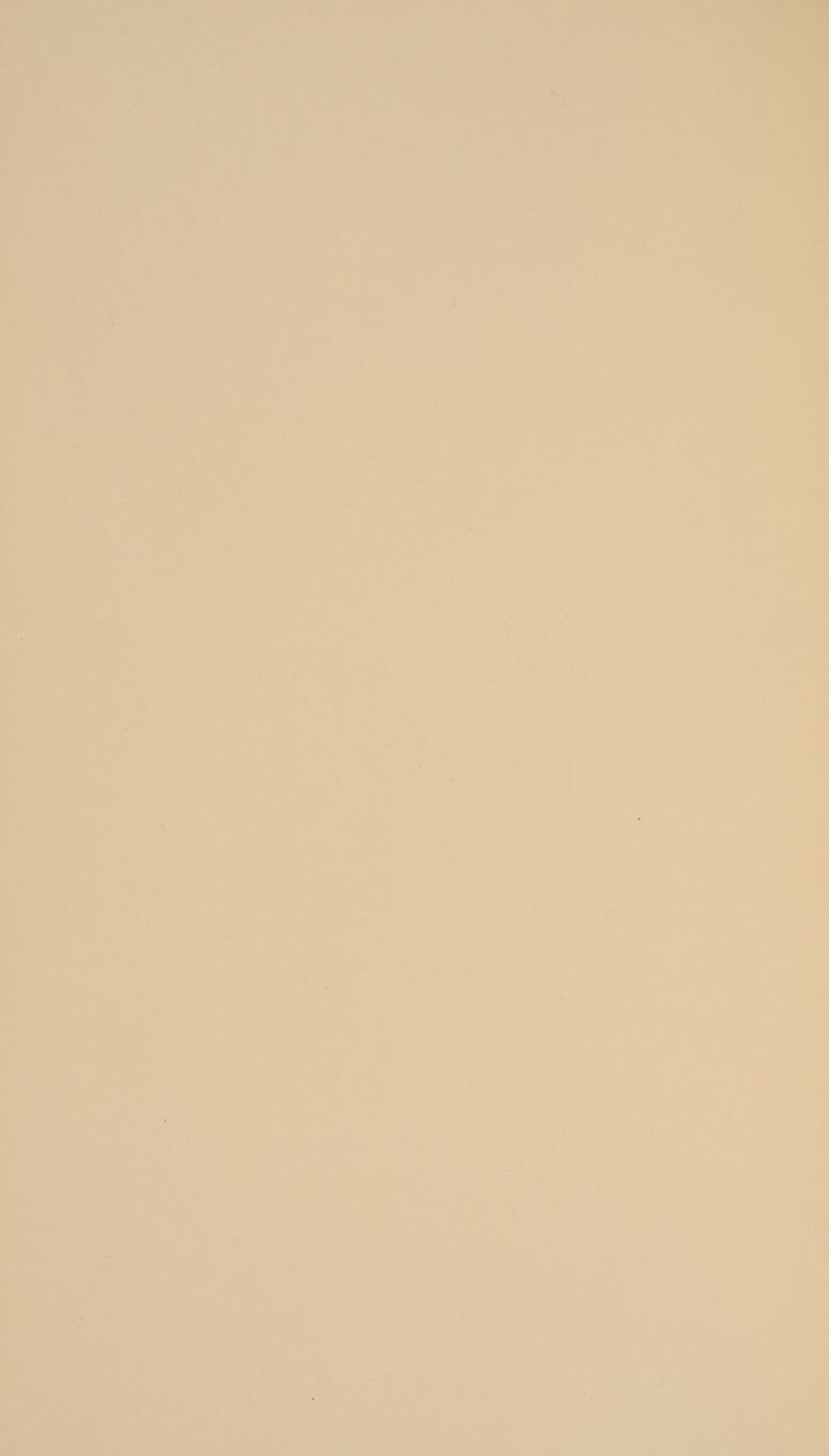 rU 1 ^* n À n R' j » vo mA d *h bak iy  ANA FE d | VATES ADAE nj OP M a hl S à 1 ] mter v